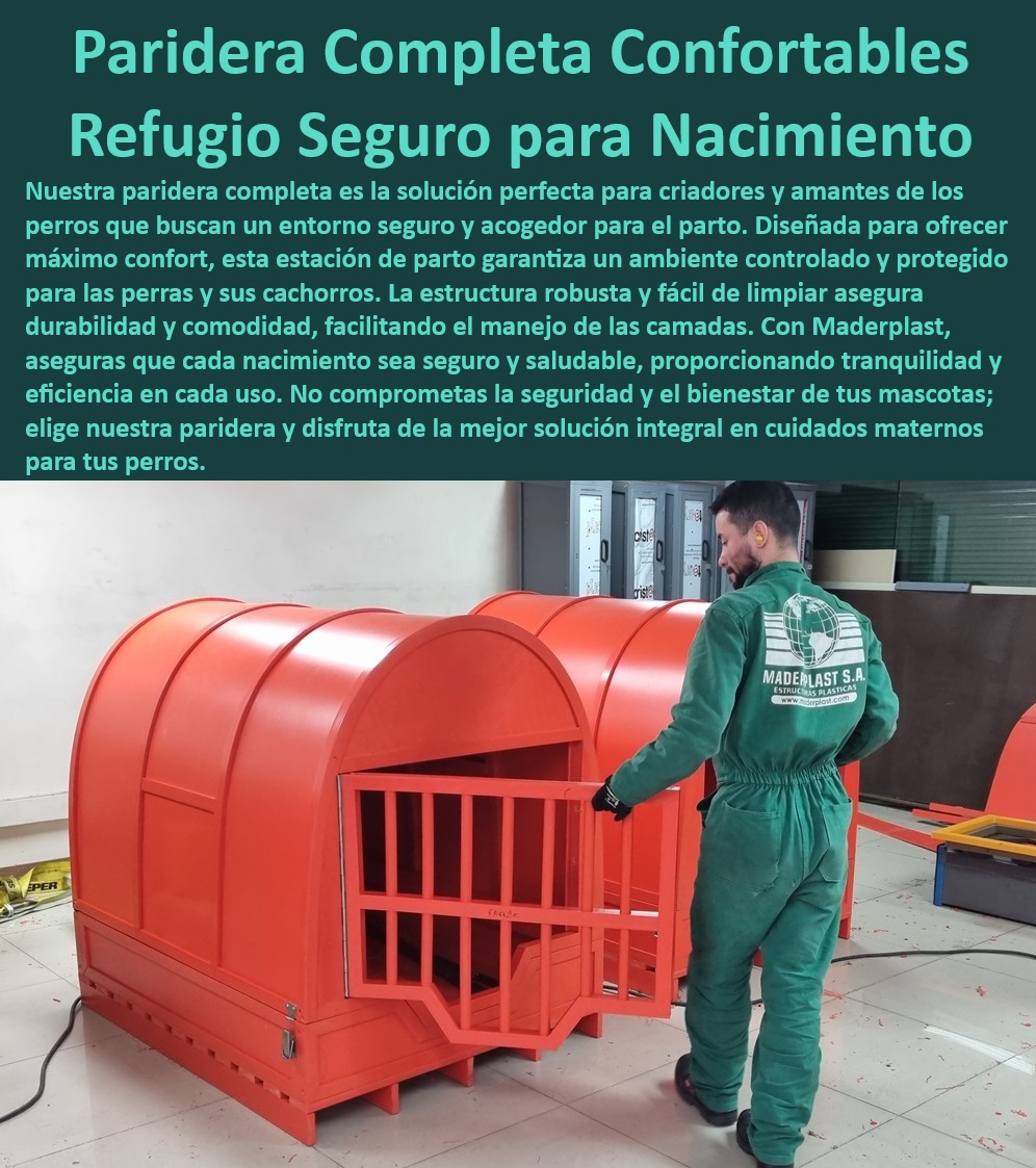 Paridera Perras Sala Partos De Perros Paritorio Estación De Parto Completa Maderplast , Solución de parto segura para perras , ¿Qué características tiene el refugio de parto de Maderplast? , Estación de parto segura y esterilizable , Refugio seguro nacimiento perros , ¿Cuál es la mejor paridera para perros? , Paridera para perros con alta resistencia , Refugio de parto anti robo , ¿Por qué elegir una paridera de Maderplast para mi mascota? , Paridera completa para perros , Paridera de fácil limpieza para cachorros , Refugio de parto con tecnología avanzada , Paridera resistente a la intemperie , Paridera duradera y robusta , Casa de nacimiento fácil de montar , Casa de parto controlado para perros , Casa de nacimiento para perros exteriores , Estación de parto canino confortable , Refugio de nacimiento con mantenimiento mínimo , Estación de parto portátil , Paridera personalizada para perros , Paridera ergonómica para mascotas , Paridera para uso profesional veterinario , Refugio de parto para criadores profesionales , ¿Dónde comprar una paridera segura para perras? , Refugio de parto para camadas grandes , Paridera para perros con garantía , ¿Cómo asegurar un parto cómodo para mi perro? , Estación de parto inoxidable para caninos , Refugio para nacimiento de perros personalizable , Paridera con protección UV para perros Refugio de nacimiento mascotas ambiente amoroso , Solución de paridera para criadores solución integral , Paridera confortable para mascotas perra Paridera Perras Sala Partos De Perros Paritorio Estación De Parto Completa Maderplast Solución de parto segura para perras , ¿Qué características tiene el refugio de parto de Maderplast? , Estación de parto segura y esterilizable , Refugio seguro nacimiento perros , ¿Cuál es la mejor paridera para perros? , Paridera para perros con alta resistencia , Refugio de parto anti robo , ¿Por qué elegir una paridera de Maderplast para mi mascota? , Paridera completa para perros , Paridera de fácil limpieza para cachorros , Refugio de parto con tecnología avanzada , Paridera resistente a la intemperie , Paridera duradera y robusta , Casa de nacimiento fácil de montar , Casa de parto controlado para perros , Casa de nacimiento para perros exteriores , Estación de parto canino confortable , Refugio de nacimiento con mantenimiento mínimo , Estación de parto portátil , Paridera personalizada para perros , Paridera ergonómica para mascotas , Paridera para uso profesional veterinario , Refugio de parto para criadores profesionales , ¿Dónde comprar una paridera segura para perras? , Refugio de parto para camadas grandes , Paridera para perros con garantía , ¿Cómo asegurar un parto cómodo para mi perro? , Estación de parto inoxidable para caninos , Refugio para nacimiento de perros personalizable , Paridera con protección UV para perros Refugio de nacimiento mascotas ambiente amoroso Solución de paridera para criadores solución integral Paridera confortable para mascotas perra Paridera Perras Sala Partos De Perros Paritorio Estación De Parto Completa Maderplast , Refugio de nacimiento mascotas ambiente amoroso , Solución de paridera para criadores solución integral , Paridera confortable para mascotas perra