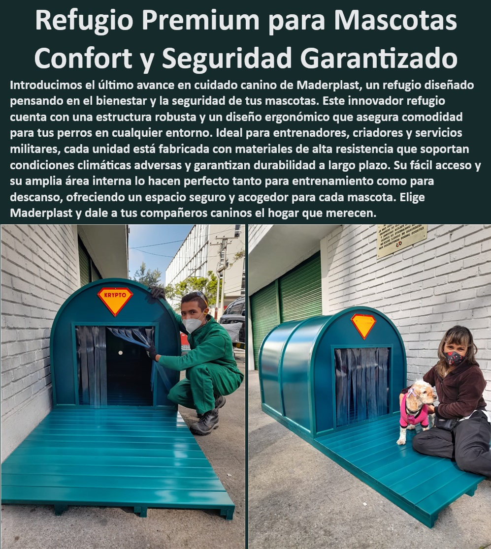 Paridera Perras Sala Partos De Perros Paritorio Estación De Parto Salacuna Maderplast , Paritorio canino duradero y seguro , Ambiente controlado para parto de perros , Refugio canino inoxidable y personalizable , Paridera para perros Maderplast , Estación de parto segura perros , Paridera para perros de uso exterior , Paridera canina con protección UV , Paridera para mascotas con diseño seguro , Estación de parto con protección antirrobo , ¿Cuál es la paridera más segura para perros? , ¿Cómo asegurar un parto seguro para mi perro? , Paridera para perros con poco mantenimiento , ¿Dónde comprar parideras caninas ergonómicas? , Solución completa para parto canino , Paridera para criadores profesionales , Caja de maternidad canina a prueba de clima , Refugio de nacimiento para mascotas , Caja de parto ergonómica veterinaria , ¿Qué paridera recomiendan para veterinarios? , ¿Qué parideras para perros ofrece Maderplast? , Refugio para partos caninos , Casa de maternidad para perras , Paridera para perros con garantía , Paridera canina con acceso fácil , Paridera segura y ergonómica , Estación de parto para clínicas veterinarias , Paridera canina de alta calidad , Paridera para perros alto rendimiento , Estación de parto canino resistente , Estación de maternidad para mascotas Estación de parto segura para mascotas protección y amor , Kit de paritorio para perros incluye accesorios , Área de maternidad perrera maternidad Paridera Perras Sala Partos De Perros Paritorio Estación De Parto Salacuna Maderplast Paritorio canino duradero y seguro , Ambiente controlado para parto de perros , Refugio canino inoxidable y personalizable , Paridera para perros Maderplast , Estación de parto segura perros , Paridera para perros de uso exterior , Paridera canina con protección UV , Paridera para mascotas con diseño seguro , Estación de parto con protección antirrobo , ¿Cuál es la paridera más segura para perros? , ¿Cómo asegurar un parto seguro para mi perro? , Paridera para perros con poco mantenimiento , ¿Dónde comprar parideras caninas ergonómicas? , Solución completa para parto canino , Paridera para criadores profesionales , Caja de maternidad canina a prueba de clima , Refugio de nacimiento para mascotas , Caja de parto ergonómica veterinaria , ¿Qué paridera recomiendan para veterinarios? , ¿Qué parideras para perros ofrece Maderplast? , Refugio para partos caninos , Casa de maternidad para perras , Paridera para perros con garantía , Paridera canina con acceso fácil , Paridera segura y ergonómica , Estación de parto para clínicas veterinarias , Paridera canina de alta calidad , Paridera para perros alto rendimiento , Estación de parto canino resistente , Estación de maternidad para mascotas Estación de parto segura para mascotas protección y amor Kit de paritorio para perros incluye accesorios Área de maternidad perrera maternidad Paridera Perras Sala Partos De Perros Paritorio Estación De Parto Salacuna Maderplast , Estación de parto segura para mascotas protección y amor , Kit de paritorio para perros incluye accesorios , Área de maternidad perrera maternidad