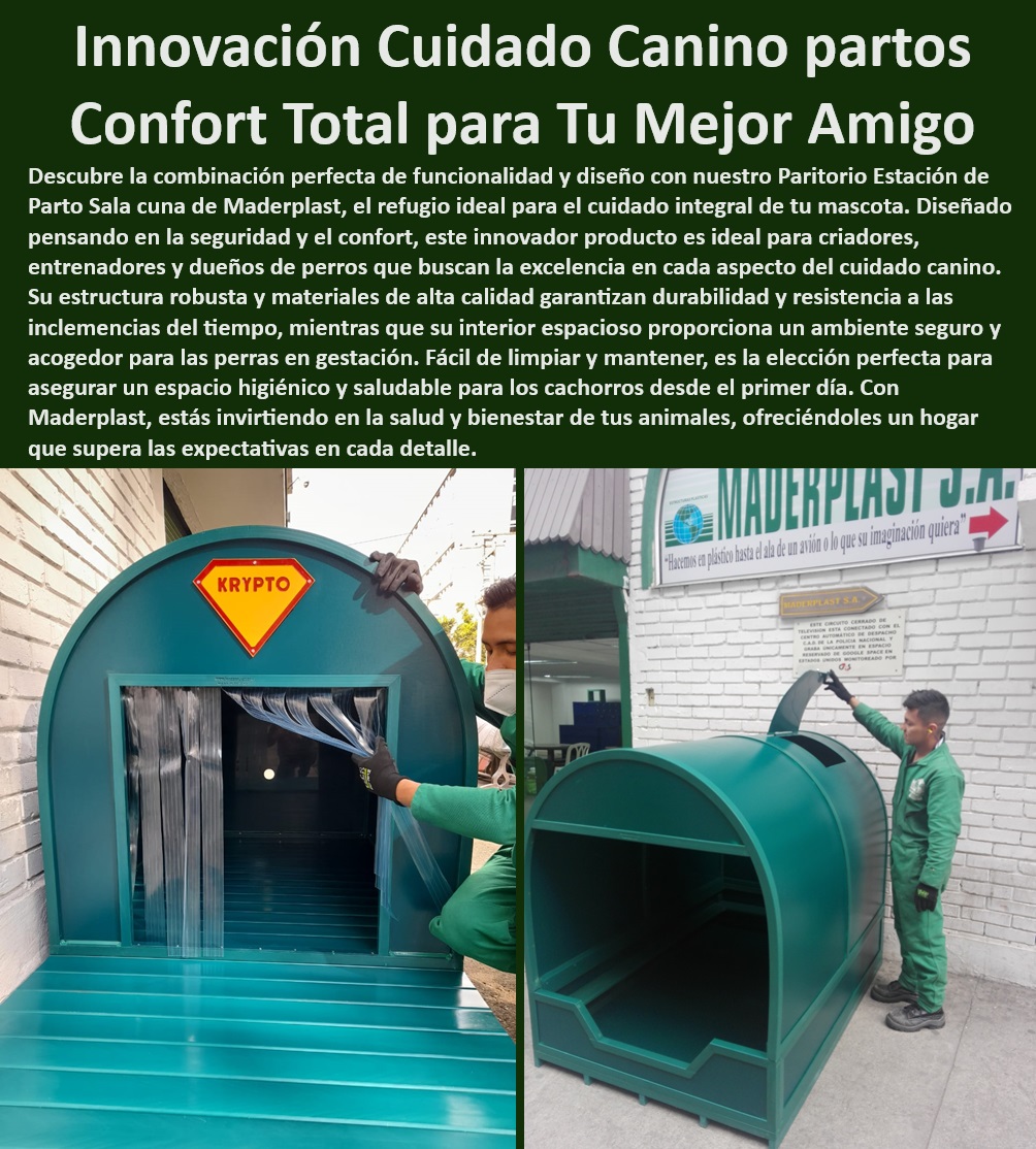 Paridera Perras Sala Partos De Perros Paritorio Estación De Parto Salacuna Maderplast , Entretenimiento acuático canino , Piscina de resistencia para perros , Diversión acuática para perros , Juegos de agua seguros para perros , ¿Dónde encontrar parques acuáticos para perros? , ¿Qué parque acuático es mejor para perros activos? , Soluciones de enfriamiento para perros , Parques acuáticos temáticos para perros , Piscina recreativa para perros , Instalaciones de agua para entrenamiento de perros , ¿Cómo beneficia la terapia acuática a los perros? , ¿Piscinas para perros están disponibles en Maderplast? , Piscina para ejercicios caninos , Parque refrescante para mascotas , Espacios de juego acuático para perros , Parque acuático seguro para perros , Piscinas personalizadas para perros , Piscinas para entrenamiento canino , Parque acuático canino Maderplast , Piscina Maderplast para perros , Recreación acuática para mascotas , Parque de juegos acuático para perros , Piscinas para todas las razas , Zona de splash para perros , ¿Cuál es el mejor juego de agua para perros? , Terapia acuática canina , Juegos acuáticos interactivos para perros , Juegos de agua para mascotas , Actividades acuáticas para perros , Juegos de piscina para perros Paridera confortable y segura , Refugio de maternidad para mascotas , Refugio canino para exterior , Paridera con acceso seguro , ¿Cómo garantizar un parto seguro para mi perra? , Paridera canina inoxidable , Estación de parto con diseño innovador , Paridera portátil para criadores , Paridera con materiales de alta calidad , Solución completa de maternidad canina , Paridera canina personalizable , ¿Qué paridera es recomendable para criadores? , Estación de parto para perras , Caja de nacimiento para perros , ¿Qué características tiene la paridera Maderplast? , ¿Cuál es la mejor paridera para perras? , Estación de parto anti-vandalismo , Paridera con bajo mantenimiento , Estación de parto fácil de limpiar , Estación de parto veterinaria , Caja de parto resistente y duradera , Paridera para clínicas veterinarias , Paridera canina de alto rendimiento , Estación de parto segura para perros , Refugio para partos caninos , Paridera con protección UV , Solución de maternidad para perros , ¿Dónde comprar parideras seguras para perros? , Paridera para perros Maderplast , Paritorio ergonómico para perras Paridera portátil para perras transportable y ligera , Paritorio doméstico para perros como en casa , parideras Para Dueños que Quieren su Mascota Paridera Perras Sala Partos De Perros Paritorio Estación De Parto Salacuna Maderplast Entretenimiento acuático canino , Piscina de resistencia para perros , Diversión acuática para perros , Juegos de agua seguros para perros , ¿Dónde encontrar parques acuáticos para perros? , ¿Qué parque acuático es mejor para perros activos? , Soluciones de enfriamiento para perros , Parques acuáticos temáticos para perros , Piscina recreativa para perros , Instalaciones de agua para entrenamiento de perros , ¿Cómo beneficia la terapia acuática a los perros? , ¿Piscinas para perros están disponibles en Maderplast? , Piscina para ejercicios caninos , Parque refrescante para mascotas , Espacios de juego acuático para perros , Parque acuático seguro para perros , Piscinas personalizadas para perros , Piscinas para entrenamiento canino , Parque acuático canino Maderplast , Piscina Maderplast para perros , Recreación acuática para mascotas , Parque de juegos acuático para perros , Piscinas para todas las razas , Zona de splash para perros , ¿Cuál es el mejor juego de agua para perros? , Terapia acuática canina , Juegos acuáticos interactivos para perros , Juegos de agua para mascotas , Actividades acuáticas para perros , Juegos de piscina para perros Paridera confortable y segura , Refugio de maternidad para mascotas , Refugio canino para exterior , Paridera con acceso seguro , ¿Cómo garantizar un parto seguro para mi perra? , Paridera canina inoxidable , Estación de parto con diseño innovador , Paridera portátil para criadores , Paridera con materiales de alta calidad , Solución completa de maternidad canina , Paridera canina personalizable , ¿Qué paridera es recomendable para criadores? , Estación de parto para perras , Caja de nacimiento para perros , ¿Qué características tiene la paridera Maderplast? , ¿Cuál es la mejor paridera para perras? , Estación de parto anti-vandalismo , Paridera con bajo mantenimiento , Estación de parto fácil de limpiar , Estación de parto veterinaria , Caja de parto resistente y duradera , Paridera para clínicas veterinarias , Paridera canina de alto rendimiento , Estación de parto segura para perros , Refugio para partos caninos , Paridera con protección UV , Solución de maternidad para perros , ¿Dónde comprar parideras seguras para perros? , Paridera para perros Maderplast , Paritorio ergonómico para perras Paridera portátil para perras transportable y ligera Paritorio doméstico para perros como en casa parideras Para Dueños que Quieren su Mascota Paridera Perras Sala Partos De Perros Paritorio Estación De Parto Salacuna Maderplast , Paridera portátil para perras transportable y ligera , Paritorio doméstico para perros como en casa , parideras Para Dueños que Quieren su Mascota