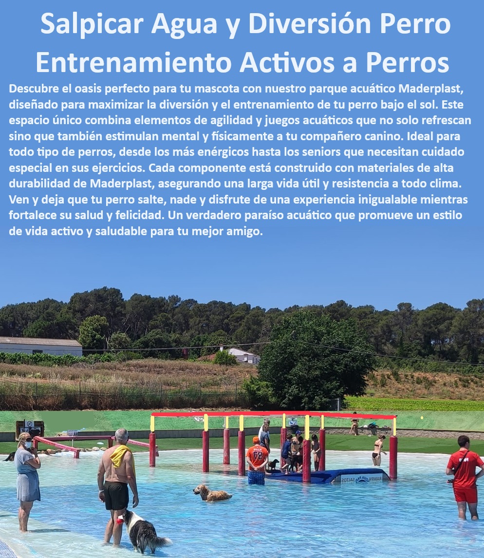 Parque Acuático Para Perros Piscina Perro Agility Acuatico Juego En Agua Maderplast , Piscina para ejercicios caninos , Juegos de agua seguros para perros , ¿Qué parque acuático es mejor para perros activos? , Piscina Maderplast para perros , Piscina de resistencia para perros , Soluciones de enfriamiento para perros , Recreación acuática para mascotas , Parque acuático canino Maderplast , Piscinas para todas las razas , Diversión acuática para perros , Juegos de piscina para perros , Piscinas personalizadas para perros , Parques acuáticos temáticos para perros , ¿Dónde encontrar parques acuáticos para perros? , Parque acuático seguro para perros , Entretenimiento acuático canino , Juegos acuáticos interactivos para perros , Espacios de juego acuático para perros , ¿Cuál es el mejor juego de agua para perros? , Terapia acuática canina , ¿Cómo beneficia la terapia acuática a los perros? , Parque refrescante para mascotas , Piscina recreativa para perros , ¿Piscinas para perros están disponibles en Maderplast? , Zona de splash para perros , Actividades acuáticas para perros , Instalaciones de agua para entrenamiento de perros , Juegos de agua para mascotas , Piscinas para entrenamiento canino , Parque de juegos acuático para perros Parque y piscina en uno para el disfrute canino , Juegos de agua para canes , Parque de diversión y entrenamiento para perros , Actividades acuática Parque Acuático Para Perros Piscina Perro Agility Acuatico Juego En Agua Maderplast Piscina para ejercicios caninos , Juegos de agua seguros para perros , ¿Qué parque acuático es mejor para perros activos? , Piscina Maderplast para perros , Piscina de resistencia para perros , Soluciones de enfriamiento para perros , Recreación acuática para mascotas , Parque acuático canino Maderplast , Piscinas para todas las razas , Diversión acuática para perros , Juegos de piscina para perros , Piscinas personalizadas para perros , Parques acuáticos temáticos para perros , ¿Dónde encontrar parques acuáticos para perros? , Parque acuático seguro para perros , Entretenimiento acuático canino , Juegos acuáticos interactivos para perros , Espacios de juego acuático para perros , ¿Cuál es el mejor juego de agua para perros? , Terapia acuática canina , ¿Cómo beneficia la terapia acuática a los perros? , Parque refrescante para mascotas , Piscina recreativa para perros , ¿Piscinas para perros están disponibles en Maderplast? , Zona de splash para perros , Actividades acuáticas para perros , Instalaciones de agua para entrenamiento de perros , Juegos de agua para mascotas , Piscinas para entrenamiento canino , Parque de juegos acuático para perros Parque y piscina en uno para el disfrute canino Juegos de agua para canes Parque de diversión y entrenamiento para perros Actividades acuática Parque Acuático Para Perros Piscina Perro Agility Acuatico Juego En Agua Maderplast , Parque y piscina en uno para el disfrute canino , Juegos de agua para canes , Parque de diversión y entrenamiento para perros , Actividades acuática