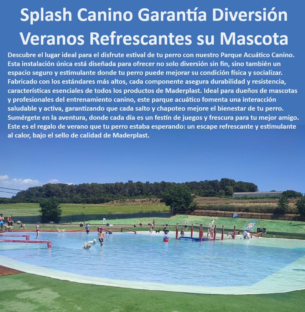 Parque Acuático Para Perros Piscina Perro Agility Acuático Juego En Agua Maderplast Diversión acuática para perros , Entrenamiento y juego en piscina para perros , Piscina de juegos para perros , Piscina para entrenamiento canino , Piscina canina para ejercicio , Parque acuático para perros Maderplast , Zona de juegos acuáticos para perros , Actividades de verano para caninos , Parque recreativo canino , Piscina refrescante para perros , Juegos acuáticos para perros grandes , Parque de juegos interactivo para perros , ¿Qué parque acuático es mejor para perros grandes? , Área de juegos acuática para perros , Parque de agua segura para perros , Diversión en agua para perros , ¿Cómo puedo mejorar el ejercicio de mi perro con juegos de agua? , Diversión acuática segura para caninos , Juegos de agua para perros , ¿Existen piscinas para perros seguras y divertidas? , ¿Cuál es el mejor parque de agua para perros en verano? , Piscina de splash para caninos , Parque de agua para mascotas , ¿Dónde encontrar parques acuáticos para perros? , Piscina canina segura , Parque de entretenimiento canino , Recreación acuática para cachorros , Actividades recreativas para perros , Entretenimiento acuático para perros , Parque acuático Maderplast para perros Piscinas recreativas perros Parque de juegos canino Parques acuáticos caninos Piscinas recreativas caninas para el verano perfecto Agility 0 Parque Acuático Para Perros Piscina Perro Agility Acuático Juego En Agua Maderplast Diversión acuática para perros , Entrenamiento y juego en piscina para perros , Piscina de juegos para perros , Piscina para entrenamiento canino , Piscina canina para ejercicio , Parque acuático para perros Maderplast , Zona de juegos acuáticos para perros , Actividades de verano para caninos , Parque recreativo canino , Piscina refrescante para perros , Juegos acuáticos para perros grandes , Parque de juegos interactivo para perros , ¿Qué parque acuático es mejor para perros grandes? , Área de juegos acuática para perros , Parque de agua segura para perros , Diversión en agua para perros , ¿Cómo puedo mejorar el ejercicio de mi perro con juegos de agua? , Diversión acuática segura para caninos , Juegos de agua para perros , ¿Existen piscinas para perros seguras y divertidas? , ¿Cuál es el mejor parque de agua para perros en verano? , Piscina de splash para caninos , Parque de agua para mascotas , ¿Dónde encontrar parques acuáticos para perros? , Piscina canina segura , Parque de entretenimiento canino , Recreación acuática para cachorros , Actividades recreativas para perros , Entretenimiento acuático para perros , Parque acuático Maderplast para perros Piscinas recreativas perros Parque de juegos canino Parques acuáticos caninos Piscinas recreativas caninas para el verano perfecto Agility 0 Parque Acuático Para Perros Piscina Perro Agility Acuático Juego En Agua Maderplast Piscinas recreativas perros Parque de juegos canino Parques acuáticos caninos Piscinas recreativas caninas para el verano perfecto Agility 0