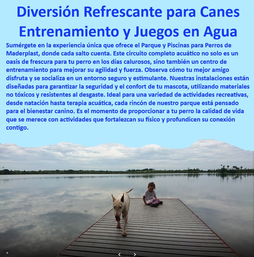 Parques Acuáticos Para Perros Piscinas Perro Agility Acuatico Juego En Agua Maderplast , ¿Cómo beneficia la terapia acuática a los perros? , Terapia acuática para perros , Instalaciones de entrenamiento para canes , Parque de diversión canina , Espacio recreativo para perros , Piscina de juegos para perros , Piscina recreativa para perros , Instalaciones acuáticas para perros , Entrenamiento en agua para perros , Actividades de verano para caninos , Piscina para entrenamiento de perros , Diversión acuática para mascotas , ¿Dónde puedo encontrar una piscina para perros? , ¿Qué actividades ofrece un parque acuático canino? Diversión y ejercicio para caninos , ¿Cuál es el mejor parque acuático para perros? , Terapia en agua para mascotas , Innovación en entretenimiento canino , Juegos en piscina para perros , Actividades acuáticas para mascotas , Piscina de verano para caninos , Parque interactivo para perros , Parque acuático canino Maderplast , Ejercicios en piscina para perros , ¿Existen parques de agua seguros para mascotas? , Parque canino con piscina , Juegos de agua para caninos , Diversión refrescante para mascotas , Parque acuático seguro para perros , Centro de entrenamiento acuático canino Innovadoras instalaciones acuáticas para el entrenamiento canino , Piscina de juegos para perros , Terapia acuática para canes , Accesorios Perro Parques Acuáticos Para Perros Piscinas Perro Agility Acuatico Juego En Agua Maderplast ¿Cómo beneficia la terapia acuática a los perros? , Terapia acuática para perros , Instalaciones de entrenamiento para canes , Parque de diversión canina , Espacio recreativo para perros , Piscina de juegos para perros , Piscina recreativa para perros , Instalaciones acuáticas para perros , Entrenamiento en agua para perros , Actividades de verano para caninos , Piscina para entrenamiento de perros , Diversión acuática para mascotas , ¿Dónde puedo encontrar una piscina para perros? , ¿Qué actividades ofrece un parque acuático canino? Diversión y ejercicio para caninos , ¿Cuál es el mejor parque acuático para perros? , Terapia en agua para mascotas , Innovación en entretenimiento canino , Juegos en piscina para perros , Actividades acuáticas para mascotas , Piscina de verano para caninos , Parque interactivo para perros , Parque acuático canino Maderplast , Ejercicios en piscina para perros , ¿Existen parques de agua seguros para mascotas? , Parque canino con piscina , Juegos de agua para caninos , Diversión refrescante para mascotas , Parque acuático seguro para perros , Centro de entrenamiento acuático canino Innovadoras instalaciones acuáticas para el entrenamiento canino Piscina de juegos para perros Terapia acuática para canes Accesorios Perro Parques Acuáticos Para Perros Piscinas Perro Agility Acuatico Juego En Agua Maderplast , Innovadoras instalaciones acuáticas para el entrenamiento canino , Piscina de juegos para perros , Terapia acuática para canes , Accesorios Perro