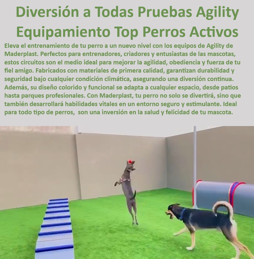 Parques caninos diseño fabricación y montaje parque completos para perros Maderplast , Módulos avanzados de entrenamiento para perros , ¿Qué productos de entrenamiento de agility son seguros para cachorros? , Sistemas portátiles de agility para perros , esenciales de agility para parques caninos , Accesorios de entrenamiento canino , Estaciones de agility completas para perros , ¿Cuál es el mejor equipo de agility para perros? , Equipos de agility para perros , Equipamiento de agility resistente al clima para perros , Productos de agility para exteriores , Herramientas de fitness y agility para perros , Circuitos de agility para perros , Sets de agility compactos para espacios pequeños , Kits de entrenamiento versátiles para perros , Soluciones de agility para interiores para perros , Sets de agility duraderos para perros , Configuraciones de entrenamiento personalizables para perros , Equipos de ejercicio y entrenamiento para mascotas , ¿Se puede usar el equipo de agility para perros en interiores? Obstáculos de entrenamiento para perros , Kits de alta calidad para agility canino , Obstáculos de agility para jardín , Kits de agility amigables para principiantes , ¿Cómo instalar un entrenamiento de agility para perros en casa? , ¿Dónde comprar kits de agility duraderos para perros? , Equipamiento seguro de agility para mascotas , Entrenamiento de agility en casa para perros , Equipamiento de entrenamiento de agility para mascotas , Configuraciones de agility para entrenadores de perros , Equipamiento profesional para deportes caninos parque Áreas recreativas caninas seguras y accesibles, parque perros caninos Implementación rápida de parques perros, agility Servicio eficiente 00 Parques caninos diseño fabricación y montaje parque completos para perros Maderplast Módulos avanzados de entrenamiento para perros , ¿Qué productos de entrenamiento de agility son seguros para cachorros? , Sistemas portátiles de agility para perros , esenciales de agility para parques caninos , Accesorios de entrenamiento canino , Estaciones de agility completas para perros , ¿Cuál es el mejor equipo de agility para perros? , Equipos de agility para perros , Equipamiento de agility resistente al clima para perros , Productos de agility para exteriores , Herramientas de fitness y agility para perros , Circuitos de agility para perros , Sets de agility compactos para espacios pequeños , Kits de entrenamiento versátiles para perros , Soluciones de agility para interiores para perros , Sets de agility duraderos para perros , Configuraciones de entrenamiento personalizables para perros , Equipos de ejercicio y entrenamiento para mascotas , ¿Se puede usar el equipo de agility para perros en interiores? Obstáculos de entrenamiento para perros , Kits de alta calidad para agility canino , Obstáculos de agility para jardín , Kits de agility amigables para principiantes , ¿Cómo instalar un entrenamiento de agility para perros en casa? , ¿Dónde comprar kits de agility duraderos para perros? , Equipamiento seguro de agility para mascotas , Entrenamiento de agility en casa para perros , Equipamiento de entrenamiento de agility para mascotas , Configuraciones de agility para entrenadores de perros , Equipamiento profesional para deportes caninos parque Áreas recreativas caninas seguras y accesibles parque perros caninos Implementación rápida de parques perros agility Servicio eficiente 00 Parques caninos diseño fabricación y montaje parque completos para perros Maderplast , parque Áreas recreativas caninas seguras y accesibles, parque perros caninos Implementación rápida de parques perros, agility Servicio eficiente 00