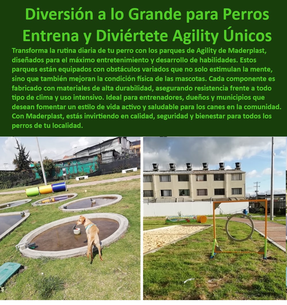 Parques caninos pistas de obstáculos parque agility para perros mascotas Maderplast , Equipos para parques caninos , Instalaciones de entrenamiento canino robustas , Parques caninos de fácil mantenimiento , Parques de diversión para mascotas , Parques caninos para todo clima , Parques de agility duraderos para perros , Áreas de juego caninas seguras , Parques caninos para espacios públicos , Soluciones de recreación para mascotas , Equipos de entrenamiento canino personalizables , Parques caninos para comunidades , Equipos de ejercicio para caninos , Espacios de recreación canina de alta calidad , ¿Cuál es el mejor equipo de entrenamiento para perros? , Áreas de ejercicio para perros , parques de agility tematizados , parques caninos resistentes a la intemperie , ¿Dónde comprar parques de agility resistentes para perros? , ¿Quién ofrece parques caninos personalizables? , Equipos de juego seguros para perros , ¿Qué parque de perros es adecuado para todas las estaciones? , Equipos para la socialización de perros , Inversiones inteligentes en parques caninos , Parques caninos con obstáculos , Equipos de entrenamiento canino al aire libre , Parques para perros personalizados , Equipos de entrenamiento para competiciones caninas , ¿Cómo elegir un parque canino para mi comunidad? , Parques para perros con barras de salto , Parques de agility para entrenadores de perros fábrica de parque perros , parque perros Resistente a condiciones climáticas , Inversiones inteligentes en parques caninos, Espacios públicos juego Parques caninos pistas de obstáculos parque agility para perros mascotas Maderplast Equipos para parques caninos , Instalaciones de entrenamiento canino robustas , Parques caninos de fácil mantenimiento , Parques de diversión para mascotas , Parques caninos para todo clima , Parques de agility duraderos para perros , Áreas de juego caninas seguras , Parques caninos para espacios públicos , Soluciones de recreación para mascotas , Equipos de entrenamiento canino personalizables , Parques caninos para comunidades , Equipos de ejercicio para caninos , Espacios de recreación canina de alta calidad , ¿Cuál es el mejor equipo de entrenamiento para perros? , Áreas de ejercicio para perros , parques de agility tematizados , parques caninos resistentes a la intemperie , ¿Dónde comprar parques de agility resistentes para perros? , ¿Quién ofrece parques caninos personalizables? , Equipos de juego seguros para perros , ¿Qué parque de perros es adecuado para todas las estaciones? , Equipos para la socialización de perros , Inversiones inteligentes en parques caninos , Parques caninos con obstáculos , Equipos de entrenamiento canino al aire libre , Parques para perros personalizados , Equipos de entrenamiento para competiciones caninas , ¿Cómo elegir un parque canino para mi comunidad? , Parques para perros con barras de salto , Parques de agility para entrenadores de perros fábrica de parque perros parque perros Resistente a condiciones climáticas Inversiones inteligentes en parques caninos Espacios públicos juego Parques caninos pistas de obstáculos parque agility para perros mascotas Maderplast , fábrica de parque perros , parque perros Resistente a condiciones climáticas , Inversiones inteligentes en parques caninos, Espacios públicos juego