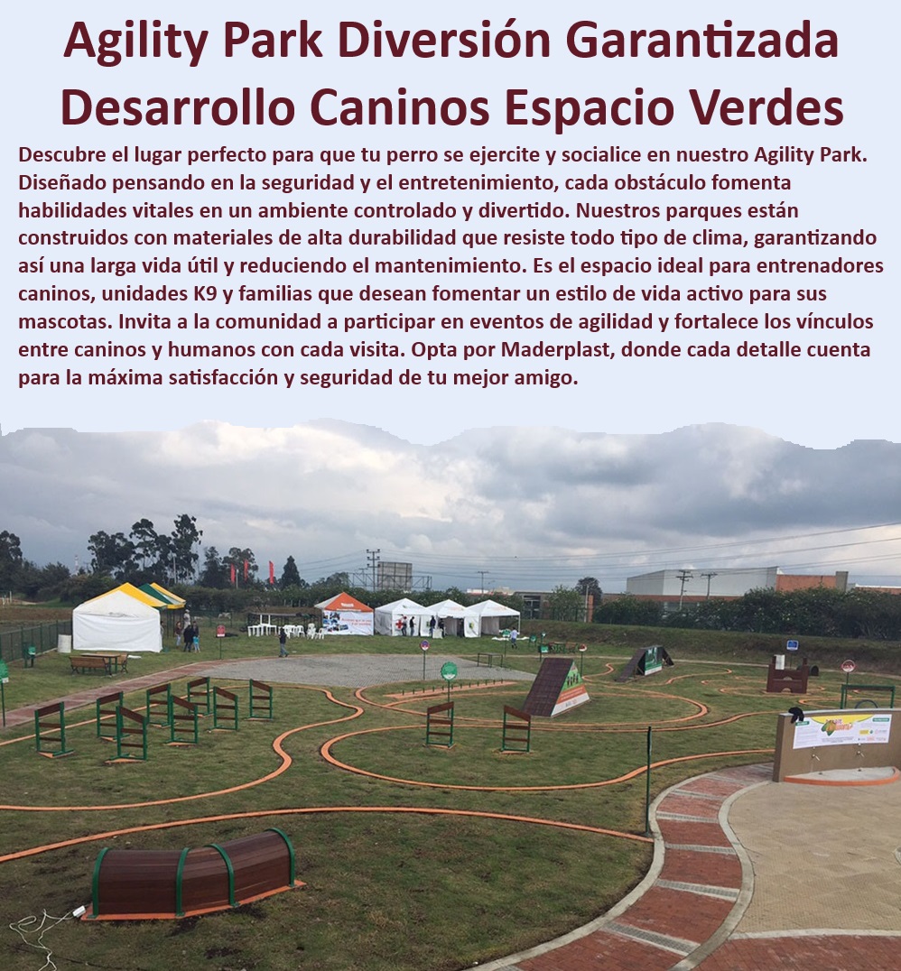 Parques caninos pistas diseño fabricación y montaje de parque para perros Maderplast  ¿Dónde encontrar parques caninos robustos? , Parques para perros con garantía , Equipos caninos para exteriores , Parques de diversión canina , Soluciones recreativas para mascotas , Parques caninos seguros , ¿Quién fabrica parques de agility duraderos para perros? Diseño de parques caninos , parques de agility personalizados , ¿Qué características tiene un buen parque canino? , Áreas de socialización canina , Equipos de ejercicio al aire libre para perros , ¿Cómo elegir equipos para parques de perros? , ¿Cuál es el mejor parque de agility para perros grandes? , Áreas de ejercicio para mascotas , Instalaciones de agility para perros , Equipos de entrenamiento canino robustos , Áreas de juego caninas de larga duración , Parques caninos para entrenadores profesionales , Parques caninos duraderos , Parques caninos de bajo mantenimiento , Equipos de agility fácil de montar , Parques de agility para competiciones , Mobiliario urbano para parques de perros , Mobiliario para parques de perros , Parques de obstáculos para perros , Parques de juegos para perros , Implementos de entrenamiento canino , Soluciones de entrenamiento para perros , Equipos de agility de alta resistencia Actividades al aire libre para perros en parques Mobiliario parques de perros Alta resistencia y durabilidad parques caninos Proyectos perros Parques caninos pistas diseño fabricación y montaje de parque para perros Maderplast , Actividades al aire libre para perros en parques , Mobiliario parques de perros , Alta resistencia y durabilidad parques caninos , Proyectos perros