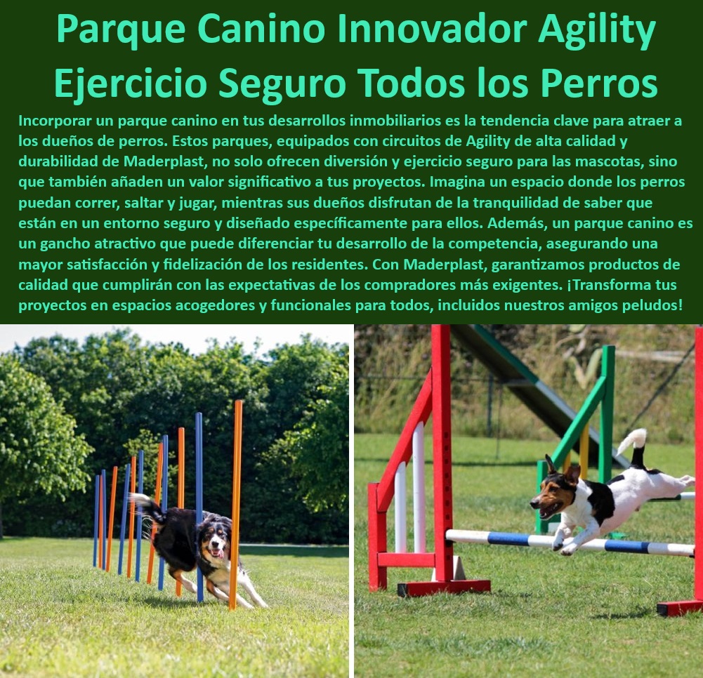 Parques caninos pistas diseño fabricación y montaje parque completos perros Maderplast , Parques caninos atractivos y modernos , Áreas de juegos para perros seguras , Innovación en parques para perros , Parques para perros con diseño modular , Parques caninos urbanos , Entornos de entrenamiento canino personalizados , Instalaciones caninas integradas en desarrollos , Diseño de parques para perros , Instalaciones para agilidad de perros , ¿Cómo son los parques caninos de Maderplast? , Soluciones de ejercicio para perros urbanos , Parques caninos con seguridad garantizada , Parques caninos para todas las razas , Equipos de agility para parques caninos , Mejoras residenciales para amantes de los perros , ¿Cuáles son los beneficios de los parques para perros en comunidades residenciales? , Parques caninos como valor agregado inmobiliario , Parques para perros Maderplast , Espacios funcionales para mascotas , Espacios recreativos para mascotas , Desarrollos residenciales con áreas caninas , ¿Qué características tienen los parques para perros en zonas urbanas? , Equipamiento para entrenamiento canino , ¿Por qué incluir un parque canino en mi desarrollo inmobiliario? , Zonas de ejercicio para perros , Inversiones inmobiliarias con parques caninos , Proyectos urbanos pet-friendly , Infraestructura canina segura , ¿Dónde encontrar parques caninos seguros para viviendas? , Parques caninos seguros y duraderos zonas paros Seguras para todos los tamaños , zonas creativas en parques caninos, parques perrunos con Diseño y funcionalidad , Zona juegos perros Parques caninos pistas diseño fabricación y montaje parque completos perros Maderplast Parques caninos atractivos y modernos , Áreas de juegos para perros seguras , Innovación en parques para perros , Parques para perros con diseño modular , Parques caninos urbanos , Entornos de entrenamiento canino personalizados , Instalaciones caninas integradas en desarrollos , Diseño de parques para perros , Instalaciones para agilidad de perros , ¿Cómo son los parques caninos de Maderplast? , Soluciones de ejercicio para perros urbanos , Parques caninos con seguridad garantizada , Parques caninos para todas las razas , Equipos de agility para parques caninos , Mejoras residenciales para amantes de los perros , ¿Cuáles son los beneficios de los parques para perros en comunidades residenciales? , Parques caninos como valor agregado inmobiliario , Parques para perros Maderplast , Espacios funcionales para mascotas , Espacios recreativos para mascotas , Desarrollos residenciales con áreas caninas , ¿Qué características tienen los parques para perros en zonas urbanas? , Equipamiento para entrenamiento canino , ¿Por qué incluir un parque canino en mi desarrollo inmobiliario? , Zonas de ejercicio para perros , Inversiones inmobiliarias con parques caninos , Proyectos urbanos pet-friendly , Infraestructura canina segura , ¿Dónde encontrar parques caninos seguros para viviendas? , Parques caninos seguros y duraderos zonas paros Seguras para todos los tamaños zonas creativas en parques caninos parques perrunos con Diseño y funcionalidad Zona juegos perros Parques caninos pistas diseño fabricación y montaje parque completos perros Maderplast , zonas paros Seguras para todos los tamaños , zonas creativas en parques caninos, parques perrunos con Diseño y funcionalidad , Zona juegos perros
