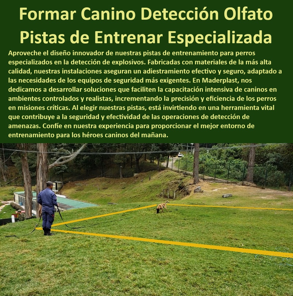 Pista de explosivos para caninos Pistas detección de bombas perros militares Maderplast 0 pistas Tecnologías aplicadas al adiestramiento de perros detectores , pistas de seguridad para caninos en campos minados , Pistas en detección 0 Pista de explosivos para caninos Pistas detección de bombas perros militares Maderplast 0 pistas Tecnologías aplicadas al adiestramiento de perros detectores pistas de seguridad para caninos en campos minados Pistas en detección 0 Pista de explosivos para caninos Pistas detección de bombas perros militares Maderplast 0 pistas Tecnologías aplicadas al adiestramiento de perros detectores , pistas de seguridad para caninos en campos minados , Pistas en detección 0
