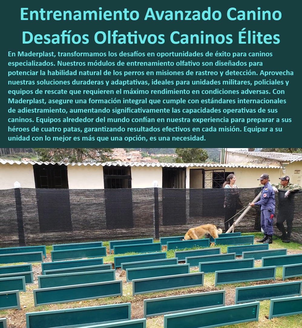 Pista entrenamiento olfativo Pista olfativa canina pistas perros militares Maderplast, Unidades militares caninas , Formación integral canina , Entrenamiento perros policía , Adiestramiento canino especializado , Pistas para perros de rescate , Equipos de adiestramiento canino , Módulos de rastreo canino , Capacidades operativas caninas , Caninos fuerzas especiales , ¿Dónde encontrar entrenamiento avanzado canino? , Perros detección de explosivos , Pista habilidades olfativas , Desafíos olfativos caninos , Pistas de detección olfativa , ¿Cómo mejorar las habilidades olfativas de los perros? , Formación estándar internacional , Entrenamiento avanzado canino , Equipos de rescate canino , Capacitación canina élite , Resultados efectivos caninos , Pistas de entrenamiento olfativo , Entrenamiento olfativo canino , Soluciones duraderas caninas , ¿Cuáles son las mejores pistas de entrenamiento olfativo para perros? , Héroes de cuatro patas , Rendimiento máximo canino , Perros operativos Maderplast , ¿Qué formación necesitan los perros de fuerzas especiales? Módulos de entrenamiento adaptativo , ¿Cómo capacitar perros para detección de explosivos? Pista de entrenamiento canino especializado en olfato , pista Rastreo especializado para perros policía , Pista de rastreo avanzado canino, Pista 0 Pista entrenamiento olfativo Pista olfativa canina pistas perros militares Maderplast Unidades militares caninas , Formación integral canina , Entrenamiento perros policía , Adiestramiento canino especializado , Pistas para perros de rescate , Equipos de adiestramiento canino , Módulos de rastreo canino , Capacidades operativas caninas , Caninos fuerzas especiales , ¿Dónde encontrar entrenamiento avanzado canino? , Perros detección de explosivos , Pista habilidades olfativas , Desafíos olfativos caninos , Pistas de detección olfativa , ¿Cómo mejorar las habilidades olfativas de los perros? , Formación estándar internacional , Entrenamiento avanzado canino , Equipos de rescate canino , Capacitación canina élite , Resultados efectivos caninos , Pistas de entrenamiento olfativo , Entrenamiento olfativo canino , Soluciones duraderas caninas , ¿Cuáles son las mejores pistas de entrenamiento olfativo para perros? , Héroes de cuatro patas , Rendimiento máximo canino , Perros operativos Maderplast , ¿Qué formación necesitan los perros de fuerzas especiales? Módulos de entrenamiento adaptativo , ¿Cómo capacitar perros para detección de explosivos? Pista de entrenamiento canino especializado en olfato pista Rastreo especializado para perros policía Pista de rastreo avanzado canino Pista 0 Pista entrenamiento olfativo Pista olfativa canina pistas perros militares Maderplast, Pista de entrenamiento canino especializado en olfato , pista Rastreo especializado para perros policía , Pista de rastreo avanzado canino, Pista 0