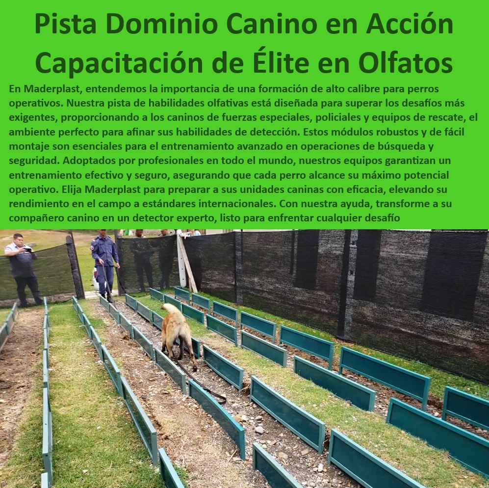Pista entrenamiento olfativo Pista olfativa canina pistas perros militares Maderplast, Pista de habilidades para perros de fuerzas especiales , Pista de habilidades olfativas caninas , Pista olfativa canina profesional , Equipos perro Pista entrenamiento olfativo Pista olfativa canina pistas perros militares Maderplast Pista de habilidades para perros de fuerzas especiales Pista de habilidades olfativas caninas Pista olfativa canina profesional Equipos perro Pista entrenamiento olfativo Pista olfativa canina pistas perros militares Maderplast, Pista de habilidades para perros de fuerzas especiales , Pista de habilidades olfativas caninas , Pista olfativa canina profesional , Equipos perro