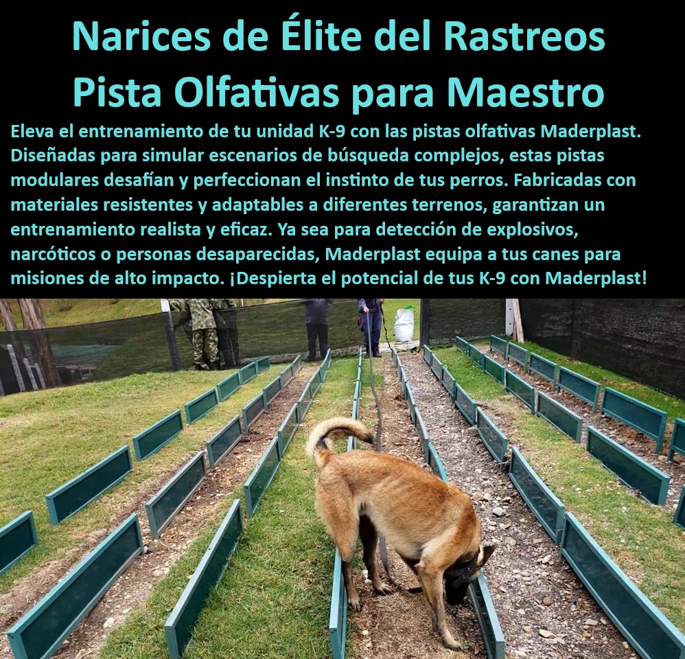 Pista entrenamiento olfativo Pista olfativa canina pistas perros militares Maderplast, Entrenamiento especializado perros , Rendimiento máximo canino , Pista olfativa maestro K-9 , Narices élite rastreo canino , Escenarios búsqueda realistas , Pistas detección narcóticos , Caninos alto impacto , Simulación búsqueda compleja , Adiestramiento canino élite , Capacidades olfativas perfeccionadas , ¿Cuáles son las mejores pistas de entrenamiento para detección de explosivos? , Pistas entrenamiento eficaz , Perros rastreo personas , Pistas modulares Maderplast , Entrenamiento K-9 eficaz , ¿Qué entrenamiento necesitan los perros para detectar narcóticos? , Entrenamiento olfativo canino , Materiales resistentes adaptativos , Pistas entrenamiento realista , Equipos adiestramiento canino , Perros detección explosivos , Misiones alto impacto canino , ¿Dónde encontrar pistas olfativas para perros K-9? , Módulos entrenamiento adaptable , Pistas búsqueda personas , Formación avanzada canina , ¿Cómo mejorar las habilidades olfativas de mi perro? , ¿Cómo entrenar perros para búsqueda de personas desaparecidas? , Adiestramiento perros narcóticos , Perros operativos Maderplast Pista olfativa para perros en entrenamiento intensivo , pista Rastreo olfativo en contextos militares , Entrenamiento especializado para perros Pet Pista entrenamiento olfativo Pista olfativa canina pistas perros militares Maderplast Entrenamiento especializado perros , Rendimiento máximo canino , Pista olfativa maestro K-9 , Narices élite rastreo canino , Escenarios búsqueda realistas , Pistas detección narcóticos , Caninos alto impacto , Simulación búsqueda compleja , Adiestramiento canino élite , Capacidades olfativas perfeccionadas , ¿Cuáles son las mejores pistas de entrenamiento para detección de explosivos? , Pistas entrenamiento eficaz , Perros rastreo personas , Pistas modulares Maderplast , Entrenamiento K-9 eficaz , ¿Qué entrenamiento necesitan los perros para detectar narcóticos? , Entrenamiento olfativo canino , Materiales resistentes adaptativos , Pistas entrenamiento realista , Equipos adiestramiento canino , Perros detección explosivos , Misiones alto impacto canino , ¿Dónde encontrar pistas olfativas para perros K-9? , Módulos entrenamiento adaptable , Pistas búsqueda personas , Formación avanzada canina , ¿Cómo mejorar las habilidades olfativas de mi perro? , ¿Cómo entrenar perros para búsqueda de personas desaparecidas? , Adiestramiento perros narcóticos , Perros operativos Maderplast Pista olfativa para perros en entrenamiento intensivo pista Rastreo olfativo en contextos militares Entrenamiento especializado para perros Pet Pista entrenamiento olfativo Pista olfativa canina pistas perros militares Maderplast, Pista olfativa para perros en entrenamiento intensivo , pista Rastreo olfativo en contextos militares , Entrenamiento especializado para perros Pet 0