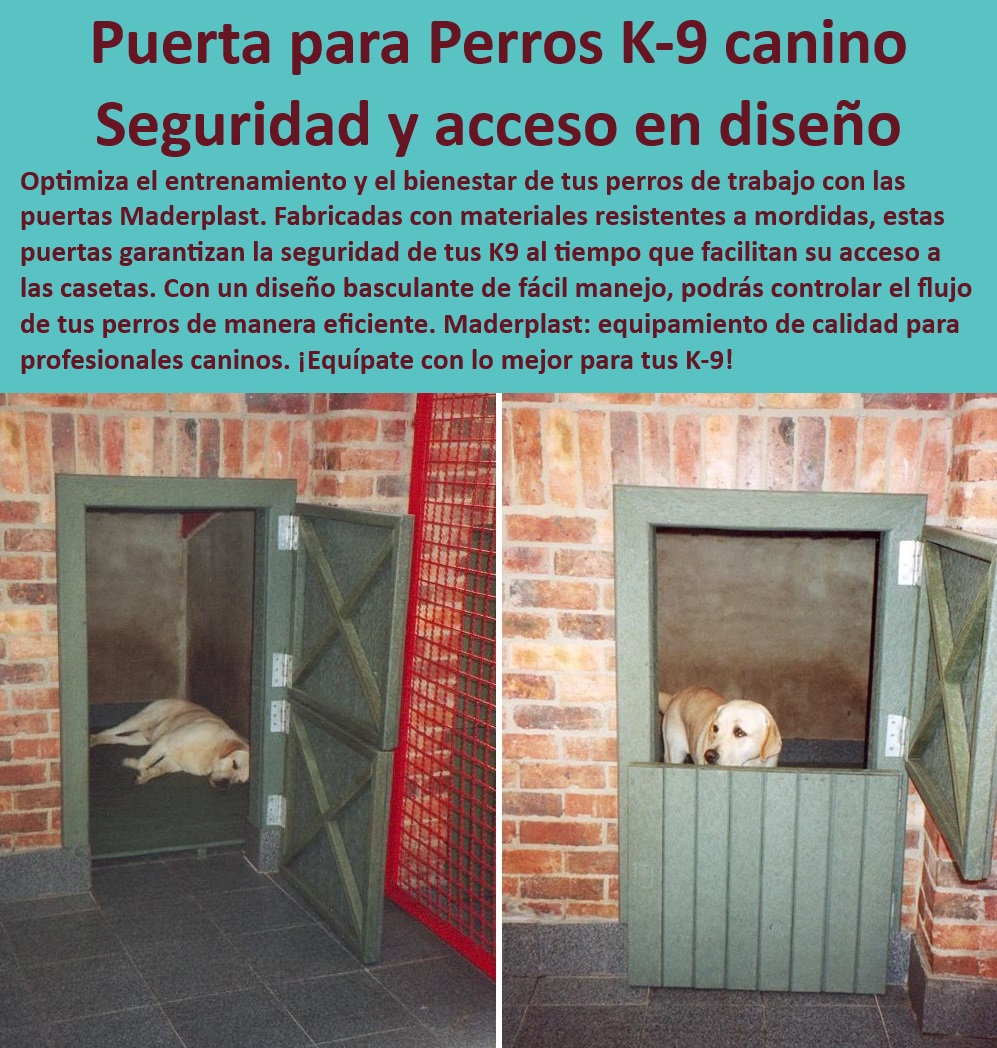 Puertas para Perros A Prueba De Mordeduras Puerta Escotilla Entrada Perros Maderplast , Puerta para casetas de perros grandes , ¿Qué puerta es mejor para entrenamiento canino? , ¿Dónde comprar una puerta resistente para perros? , Equipamiento para manejo de perros , Puerta de acceso para perros K-9 , Puerta para casetas , Puerta resistente a mordidas para perros , Seguridad canina , Puerta basculante para perros , Materiales duraderos , Equipamiento canino profesional , , ¿Qué puerta es ideal para casetas de perros? , Puerta resistente , Puerta de acceso segura para perros , ¿Cuál es la mejor puerta para perros K-9? , Puerta de acceso para perros grandes , Puerta de entrenamiento para perros , Puerta K-9 , Entrenamiento canino , Puerta profesional para entrenadores de perros , Puerta fácil manejo , Seguridad y acceso para perros K-9 , Mejor puerta para perros de trabajo , ¿Cómo asegurar el acceso de mis perros con puerta segura? , Acceso seguro para perros de trabajo , Control de perros , Puerta para perros , Puerta segura para perros K-9 , Puerta resistente para casetas de perros , Puerta para entrenadores de perros , Puerta antimordeduras para perros , Acceso para perros , Puerta para casetas caninas , Puerta de jardín para perros , Puerta para casetas de perros Maderplast puerta anti mordeduras , puerta Dormitorios perros fácil acceso entrenamiento sencillo , puerta Casetas para perros de jardín con diseño elegante Puertas para Perros A Prueba De Mordeduras Puerta Escotilla Entrada Perros Maderplast Puerta para casetas de perros grandes , ¿Qué puerta es mejor para entrenamiento canino? , ¿Dónde comprar una puerta resistente para perros? , Equipamiento para manejo de perros , Puerta de acceso para perros K-9 , Puerta para casetas , Puerta resistente a mordidas para perros , Seguridad canina , Puerta basculante para perros , Materiales duraderos , Equipamiento canino profesional , , ¿Qué puerta es ideal para casetas de perros? , Puerta resistente , Puerta de acceso segura para perros , ¿Cuál es la mejor puerta para perros K-9? , Puerta de acceso para perros grandes , Puerta de entrenamiento para perros , Puerta K-9 , Entrenamiento canino , Puerta profesional para entrenadores de perros , Puerta fácil manejo , Seguridad y acceso para perros K-9 , Mejor puerta para perros de trabajo , ¿Cómo asegurar el acceso de mis perros con puerta segura? , Acceso seguro para perros de trabajo , Control de perros , Puerta para perros , Puerta segura para perros K-9 , Puerta resistente para casetas de perros , Puerta para entrenadores de perros , Puerta antimordeduras para perros , Acceso para perros , Puerta para casetas caninas , Puerta de jardín para perros , Puerta para casetas de perros Maderplast puerta anti mordeduras puerta Dormitorios perros fácil acceso entrenamiento sencillo puerta Casetas para perros de jardín con diseño elegante 0 Puertas para Perros A Prueba De Mordeduras Puerta Escotilla Entrada Perros Maderplast , puerta anti mordeduras , puerta Dormitorios perros fácil acceso entrenamiento sencillo , puerta Casetas para perros de jardín con diseño elegante