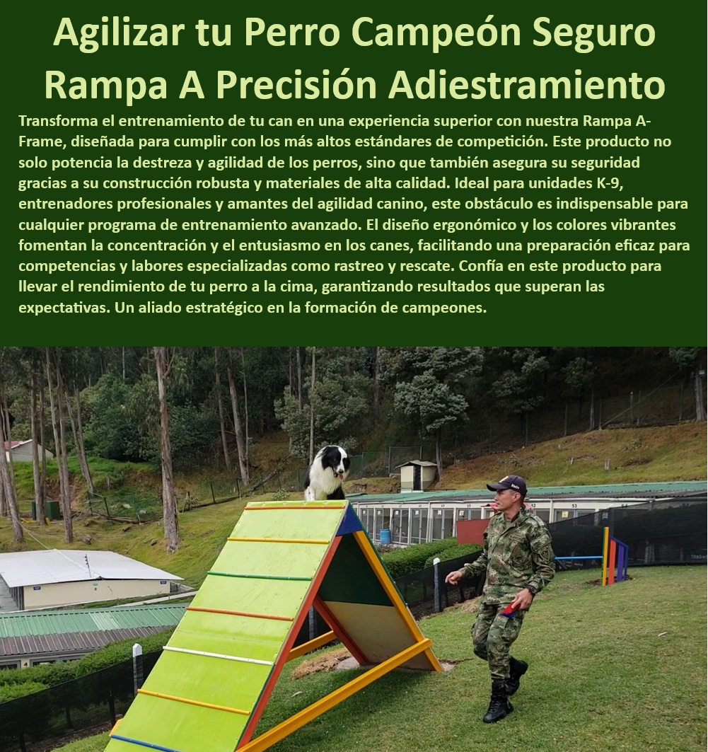 Rampa A 0 A-Frame 0 equipo de agility para perros rampas tipo A Frame Maderplast , , Constructoras especializadas en áreas recreativas para perros , , Rampa de agilidad profesional , Rampa A-Frame para perros , Equipos de agility robustos , Agility para competencias caninas , Equipos de agility Maderplast , Rampa de agility para perros , Entrenamiento canino eficiente , ¿Rampa de agility portátil para perros? , Rampa de entrenamiento modular , Equipos de entrenamiento K-9 , ¿Cómo elegir rampa de entrenamiento para perros? , Rampa para perros antideslizante , ¿Qué rampa de agility es más resistente? , Rampa de agility duradera , Equipos de agilidad compactos , Rampa de ejercicio para perros , Rampa ergonómica para perros , Entrenamiento canino avanzado , ¿Dónde comprar rampa de adiestramiento canino? , Rampa de adiestramiento canino , ¿Cuál es la mejor rampa de agility para perros? , Agility para perros profesionales , Equipos de agilidad canina , Entrenamiento canino de precisión , Rampa de entrenamiento resistente , Rampa de agility para campeonatos , Rampa de agility portátil , Rampa de entrenamiento K-9 , Rampa de agility para exteriores , Rampa de agilidad segura Productos innovadores para la recreación y adiestramiento canino , Productos perros Rampa A 0 A Frame 0 equipo de agility para perros rampas tipo A Frame Maderplast Constructoras especializadas en áreas recreativas para perros Productos innovadores para la recreación y adiestramiento canino Productos perros Rampa de agilidad profesional , Rampa A-Frame para perros , Equipos de agility robustos , Agility para competencias caninas , Equipos de agility Maderplast , Rampa de agility para perros , Entrenamiento canino eficiente , ¿Rampa de agility portátil para perros? , Rampa de entrenamiento modular , Equipos de entrenamiento K-9 , ¿Cómo elegir rampa de entrenamiento para perros? , Rampa para perros antideslizante , ¿Qué rampa de agility es más resistente? , Rampa de agility duradera , Equipos de agilidad compactos , Rampa de ejercicio para perros , Rampa ergonómica para perros , Entrenamiento canino avanzado , ¿Dónde comprar rampa de adiestramiento canino? , Rampa de adiestramiento canino , ¿Cuál es la mejor rampa de agility para perros? , Agility para perros profesionales , Equipos de agilidad canina , Entrenamiento canino de precisión , Rampa de entrenamiento resistente , Rampa de agility para campeonatos , Rampa de agility portátil , Rampa de entrenamiento K-9 , Rampa de agility para exteriores , Rampa de agilidad segura 0 Rampa A 0 A-Frame 0 equipo de agility para perros rampas tipo A Frame Maderplast , , Constructoras especializadas en áreas recreativas para perros , , Productos innovadores para la recreación y adiestramiento canino , Productos perros
