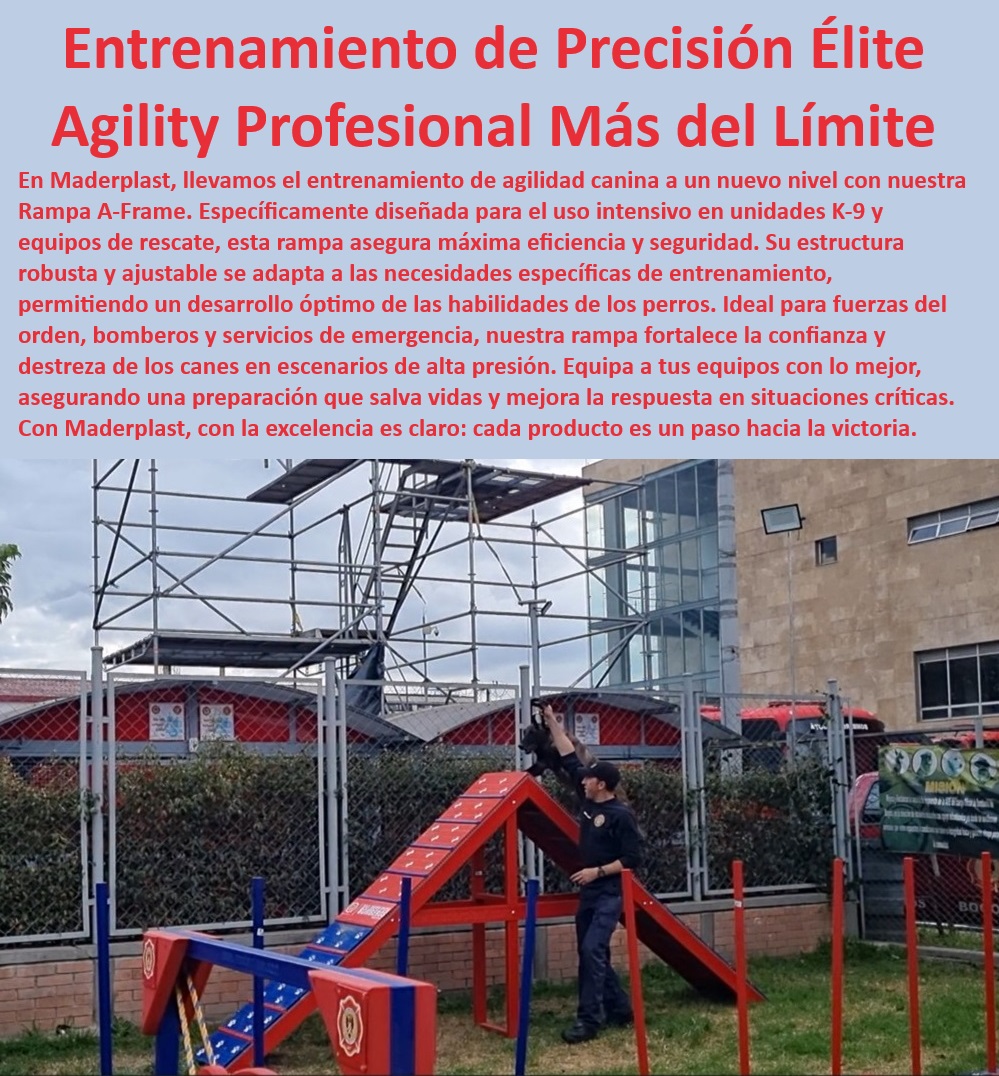 Rampa A Agility A-Frame Equipo Agility de Perros búsqueda y rescate Maderplast , Versatilidad en entrenamiento canino , ¿Cuál es la mejor rampa de agility para perros? , Rampa ajustable para perros , Materiales resistentes para agility , Rampa portátil para perros , Equipos de rescate canino , ¿Qué rampa es ideal para entrenamiento intensivo canino? , Rampa de Agility , ¿Cómo usar una rampa ajustable para perros? , Entrenamiento intensivo canino , Agility profesional para perros , Rampa de adiestramiento modular , Rampa A-Frame , Adiestramiento de precisión canina , Seguridad en entrenamiento canino , Agility para bomberos , Mejora de agilidad canina , Estructura ajustable para entrenamiento , Preparación de perros de rescate , ¿Dónde encontrar rampas de alta resistencia para perros? , Equipamiento para perros de trabajo , Instalación rápida de rampa , Calidad garantizada en agility , Equipos de entrenamiento canino , Rampa de alta resistencia , Herramientas de adiestramiento canino , ¿Dónde comprar rampas de entrenamiento canino? , Obstáculos para agility , Desarrollo de habilidades caninas , Durabilidad en equipos de agility , Accesorios y equipamientos para optimizar el entrenamiento de agilidad , Obstáculos agility certificados para seguridad canina , Kits completos Rampa A Rampa A Agility A Frame Equipo Agility de Perros búsqueda y rescate Maderplast Versatilidad en entrenamiento canino , ¿Cuál es la mejor rampa de agility para perros? , Rampa ajustable para perros , Materiales resistentes para agility , Rampa portátil para perros , Equipos de rescate canino , ¿Qué rampa es ideal para entrenamiento intensivo canino? , Rampa de Agility , ¿Cómo usar una rampa ajustable para perros? , Entrenamiento intensivo canino , Agility profesional para perros , Rampa de adiestramiento modular , Rampa A-Frame , Adiestramiento de precisión canina , Seguridad en entrenamiento canino , Agility para bomberos , Mejora de agilidad canina , Estructura ajustable para entrenamiento , Preparación de perros de rescate , ¿Dónde encontrar rampas de alta resistencia para perros? , Equipamiento para perros de trabajo , Instalación rápida de rampa , Calidad garantizada en agility , Equipos de entrenamiento canino , Rampa de alta resistencia , Herramientas de adiestramiento canino , ¿Dónde comprar rampas de entrenamiento canino? , Obstáculos para agility , Desarrollo de habilidades caninas , Durabilidad en equipos de agility Accesorios y equipamientos para optimizar el entrenamiento de agilidad Obstáculos agility certificados para seguridad canina Kits completos Rampa A 0 Rampa A Agility A-Frame Equipo Agility de Perros búsqueda y rescate Maderplast , , Accesorios y equipamientos para optimizar el entrenamiento de agilidad , Obstáculos agility certificados para seguridad canina , Kits completos Rampa A