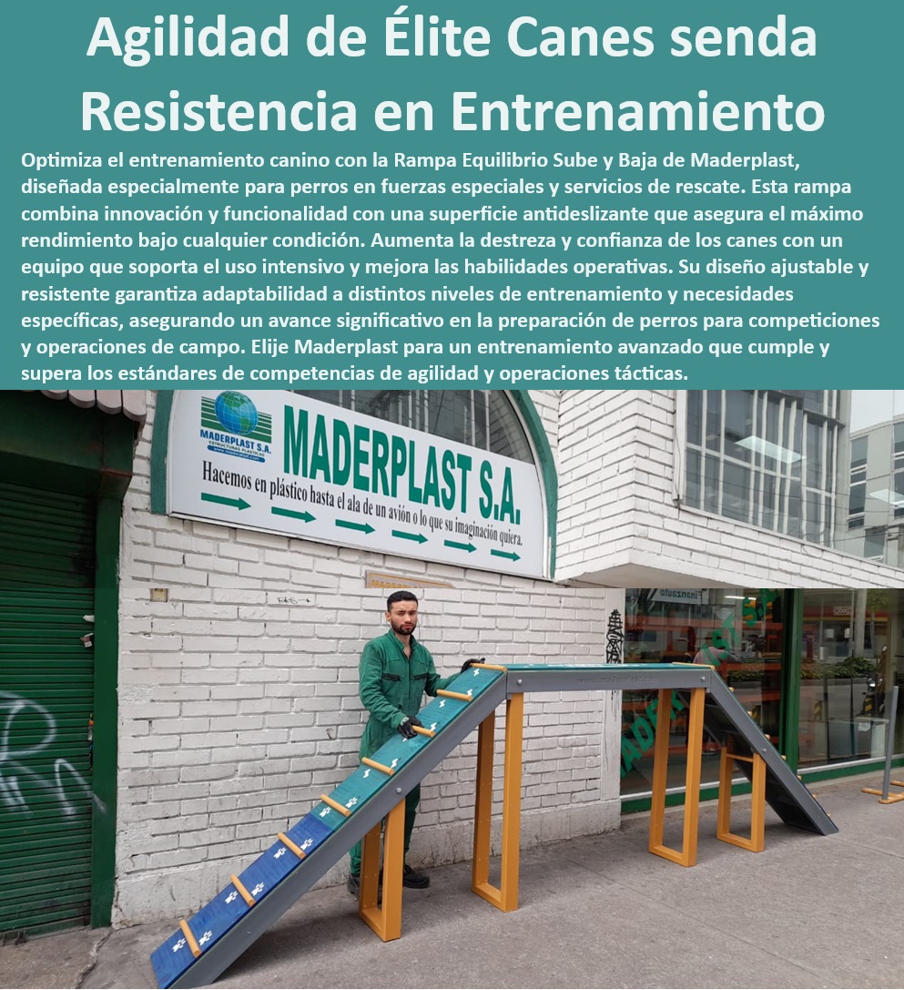 Rampa Equilibrio Sube Y Baja Para Perros Teeter-Totter O Sube Y Baja Maderplast , Rampa Duradera para Perros , Entrenamiento Canino de Élite , Rampa Canina Certificada , Equipo Canino Resistente , ¿Dónde encontrar rampas de equilibrio para perros? , Rampa Antideslizante Perros , Accesorio Canino Resistente , ¿Dónde comprar rampa antideslizante para perros? , Rampa Equilibrio Sube y Baja , Equipamiento Agility Canino , ¿Qué rampa de agility es más segura? , ¿Dónde conseguir equipo de agility para perros? , Rampa para Fuerzas Especiales , Rampa Agility Perros , Equipos para Agilidad Canina , Entrenamiento Canino Profesional , Kit de Agilidad Canina , Proveedores de Equipos de Agility , Sube y Baja Canino , Rampa para Mejora de Agilidad , ¿Qué rampa es mejor para entrenamiento canino? , Equipos Caninos Profesionales , Rampa para Perros de Rescate , Entrenamiento Canino Avanzado , Rampa Ajustable para Perros , Sube y Baja Antideslizante , Rampa para Perros de Competición , Accesorios para Entrenamiento Canino , Teeter-Totter para Perros , Soluciones para Agility Perros catálogo sube y baja , Rampa antideslizante perros fuerzas especiales , Sube y baja canino antideslizante , Accesorio canino resistente al uso Material Rampa Equilibrio Sube Y Baja Para Perros Teeter Totter O Sube Y Baja Maderplast Rampa Duradera para Perros , Entrenamiento Canino de Élite , Rampa Canina Certificada , Equipo Canino Resistente , ¿Dónde encontrar rampas de equilibrio para perros? , Rampa Antideslizante Perros , Accesorio Canino Resistente , ¿Dónde comprar rampa antideslizante para perros? , Rampa Equilibrio Sube y Baja , Equipamiento Agility Canino , ¿Qué rampa de agility es más segura? , ¿Dónde conseguir equipo de agility para perros? , Rampa para Fuerzas Especiales , Rampa Agility Perros , Equipos para Agilidad Canina , Entrenamiento Canino Profesional , Kit de Agilidad Canina , Proveedores de Equipos de Agility , Sube y Baja Canino , Rampa para Mejora de Agilidad , ¿Qué rampa es mejor para entrenamiento canino? , Equipos Caninos Profesionales , Rampa para Perros de Rescate , Entrenamiento Canino Avanzado , Rampa Ajustable para Perros , Sube y Baja Antideslizante , Rampa para Perros de Competición , Accesorios para Entrenamiento Canino , Teeter-Totter para Perros , Soluciones para Agility Perros catálogo sube y baja Rampa antideslizante perros fuerzas especiales Sube y baja canino antideslizante Accesorio canino resistente al uso Material 0 Rampa Equilibrio Sube Y Baja Para Perros Teeter-Totter O Sube Y Baja Maderplast , catálogo sube y baja , Rampa antideslizante perros fuerzas especiales , Sube y baja canino antideslizante , Accesorio canino resistente al uso Material