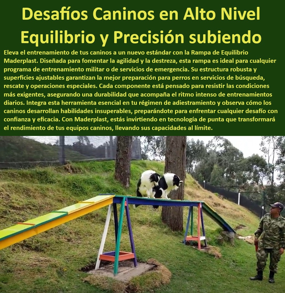 Rampa Equilibrio Sube Y Baja Para Perros Teeter-Totter O Sube Y Baja Maderplast , Superficie antideslizante: Garantiza seguridad durante el entrenamiento. , Equipos de agilidad para perros , Balancín para entrenamiento de perros , Plataforma de alta calidad para entrenamiento de perros. , Rampa ajustable de agilidad , Rampa de agilidad portátil , Balancín ergonómico , Agility para campeonatos portátil fácil montaje. Equipos de adiestramiento para perros , Balancín de agilidad canina , Rampa de equilibrio para perros , ¿Rampa de agilidad ajustable para perros? Alta durabilidad: Diseñada para resistir condiciones extremas. Equipos de adiestramiento K-9 , ¿Qué rampa de agilidad es más duradera? , Plataforma de balance para perros , Rampa de entrenamiento para exteriores , ¿Cómo elegir una rampa de equilibrio para perros? , Rampa de entrenamiento militar , Rampa de entrenamiento intensivo , Agility para entrenar perros de alta calidad. Diseño ergonómico: Ajustable a diferentes niveles de entrenamiento. Fácil montaje: Rápida instalación y almacenamiento. , Rampa de equilibrio Maderplast , Seguridad garantizada: Ideal para entrenamiento intensivo. , Rampa de agilidad duradera , Rampa de agilidad profesional , Entrenamiento canino avanzado , Rampa de agilidad duradera y segura para exteriores. , Rampa de entrenamiento canino para uso intensivo y seguro. Equipos de agilidad profesional para adiestramiento canino avanzado. , Rampa de agilidad modular , Rampa de agilidad para perros , Entrenamiento de perros seguro , Rampa de agilidad portátil para entrenamiento en espacios pequeños. , ¿Dónde comprar rampa de agilidad para perros? , Rampa para perros resistente , ¿Cuál es la mejor rampa de entrenamiento canino? , Plataforma de agilidad , Rampa de entrenamiento ajustable , Rampa antideslizante , Rampa de agilidad segura militar Kits de agilidad de alto rendimiento Perros , Equipos entrenamiento canino ajustables , Material técnico jueces agility Perros , Rampa canina 0 Rampa Equilibrio Sube Y Baja Para Perros Teeter Totter O Sube Y Baja Maderplast Superficie antideslizante: Garantiza seguridad durante el entrenamiento. , Equipos de agilidad para perros , Balancín para entrenamiento de perros , Plataforma de alta calidad para entrenamiento de perros. , Rampa ajustable de agilidad , Rampa de agilidad portátil , Balancín ergonómico , Agility para campeonatos portátil fácil montaje. Equipos de adiestramiento para perros , Balancín de agilidad canina , Rampa de equilibrio para perros , ¿Rampa de agilidad ajustable para perros? Alta durabilidad: Diseñada para resistir condiciones extremas. Equipos de adiestramiento K-9 , ¿Qué rampa de agilidad es más duradera? , Plataforma de balance para perros , Rampa de entrenamiento para exteriores , ¿Cómo elegir una rampa de equilibrio para perros? , Rampa de entrenamiento militar , Rampa de entrenamiento intensivo , Agility para entrenar perros de alta calidad. Diseño ergonómico: Ajustable a diferentes niveles de entrenamiento. Fácil montaje: Rápida instalación y almacenamiento. , Rampa de equilibrio Maderplast , Seguridad garantizada: Ideal para entrenamiento intensivo. , Rampa de agilidad duradera , Rampa de agilidad profesional , Entrenamiento canino avanzado , Rampa de agilidad duradera y segura para exteriores. , Rampa de entrenamiento canino para uso intensivo y seguro. Equipos de agilidad profesional para adiestramiento canino avanzado. , Rampa de agilidad modular , Rampa de agilidad para perros , Entrenamiento de perros seguro , Rampa de agilidad portátil para entrenamiento en espacios pequeños. , ¿Dónde comprar rampa de agilidad para perros? , Rampa para perros resistente , ¿Cuál es la mejor rampa de entrenamiento canino? , Plataforma de agilidad , Rampa de entrenamiento ajustable , Rampa antideslizante , Rampa de agilidad segura militar Kits de agilidad de alto rendimiento Perros Equipos entrenamiento canino ajustables Material técnico jueces agility Perros Rampa canina 0 Rampa Equilibrio Sube Y Baja Para Perros Teeter-Totter O Sube Y Baja Maderplast , militar Kits de agilidad de alto rendimiento Perros , Equipos entrenamiento canino ajustables , Material técnico jueces agility Perros , Rampa canina 0