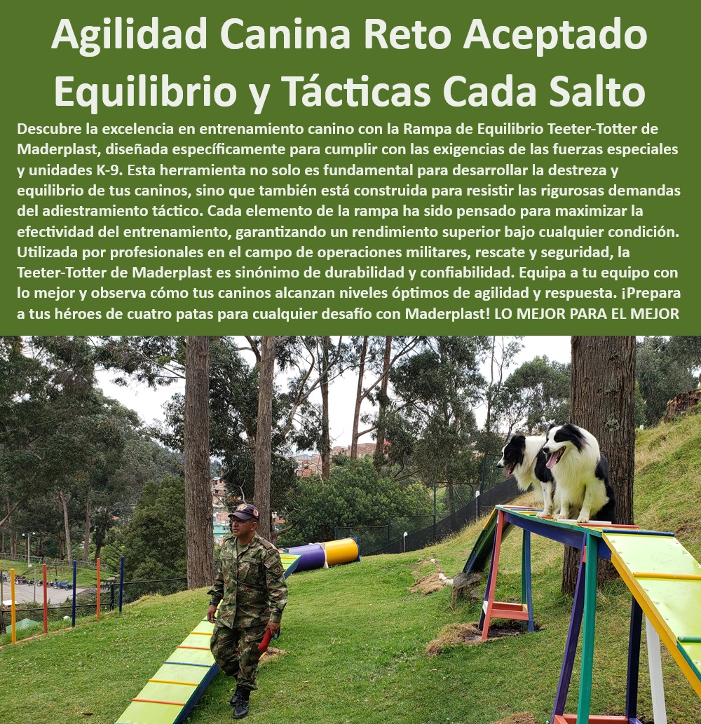 Rampa Equilibrio Sube Y Baja Para Perros Teeter-Totter O Sube Y Baja Maderplast , militar Obstáculos homologados competiciones caninas , Sube y baja para perros , Rampa de equilibrio para perros , Equipos de agilidad compactos , Agility para entrenar perros alta calidad , Rampa de agilidad segura , Rampa de agilidad duradera , Rampa de equilibrio para exteriores , Alta durabilidad , ¿Cuál es el mejor Teeter-Totter canino? , Rampa de entrenamiento resistente , Equipos de adiestramiento táctico , Entrenamiento canino de alto rendimiento , ¿Rampa de equilibrio portátil para perros? , Sube y baja de adiestramiento canino , Rampa de equilibrio duradera y segura para exteriores , Equipos de adiestramiento K-9 , Entrenamiento táctico canino , Rampa de equilibrio portátil , ¿Dónde comprar rampa de equilibrio para perros? , Equipos de agilidad profesional para adiestramiento canino avanzado , Seguridad garantizada , Rampa de agility para perros , Teeter-Totter de agilidad , Ideal para entrenamiento táctico , Rampa de equilibrio portátil para entrenamiento canino en espacios reducidos , Usado por profesionales en operaciones militares , Rampa de entrenamiento canino para uso intensivo , Diseño antideslizante , Rampa de entrenamiento modular , Sube y baja de entrenamiento , Equipos de agilidad militar , Teeter-Totter canino , Rampa de agilidad profesional , Entrenamiento K-9 con rampas , Beneficios Específicos: , ¿Qué rampa de agilidad es más resistente? , Agility para campeonatos portátil fácil montaje , fácil montaje , Teeter-Totter de alta calidad para perros , ¿Cómo elegir rampa de equilibrio para adiestramiento? , Teeter-Totter para perros , Rampa de agilidad Maderplast , Entrenamiento canino avanzado , Rampa de agility para competiciones Equipos de evaluación canina , Rampa entrenamiento canino resistente , Sube y baja operativo Pet Rampa Equilibrio Sube Y Baja Para Perros Teeter Totter O Sube Y Baja Maderplast militar Obstáculos homologados competiciones caninas Equipos de evaluación canina Rampa entrenamiento canino resistente Sube y baja operativo Pet Sube y baja para perros , Rampa de equilibrio para perros , Equipos de agilidad compactos , Agility para entrenar perros alta calidad , Rampa de agilidad segura , Rampa de agilidad duradera , Rampa de equilibrio para exteriores , Alta durabilidad , ¿Cuál es el mejor Teeter-Totter canino? , Rampa de entrenamiento resistente , Equipos de adiestramiento táctico , Entrenamiento canino de alto rendimiento , ¿Rampa de equilibrio portátil para perros? , Sube y baja de adiestramiento canino , Rampa de equilibrio duradera y segura para exteriores , Equipos de adiestramiento K-9 , Entrenamiento táctico canino , Rampa de equilibrio portátil , ¿Dónde comprar rampa de equilibrio para perros? , Equipos de agilidad profesional para adiestramiento canino avanzado , Seguridad garantizada , Rampa de agility para perros , Teeter-Totter de agilidad , Ideal para entrenamiento táctico , Rampa de equilibrio portátil para entrenamiento canino en espacios reducidos , Usado por profesionales en operaciones militares , Rampa de entrenamiento canino para uso intensivo , Diseño antideslizante , Rampa de entrenamiento modular , Sube y baja de entrenamiento , Equipos de agilidad militar , Teeter-Totter canino , Rampa de agilidad profesional , Entrenamiento K-9 con rampas , Beneficios Específicos: , ¿Qué rampa de agilidad es más resistente? , Agility para campeonatos portátil fácil montaje , fácil montaje , Teeter-Totter de alta calidad para perros , ¿Cómo elegir rampa de equilibrio para adiestramiento? , Teeter-Totter para perros , Rampa de agilidad Maderplast , Entrenamiento canino avanzado , Rampa de agility para competiciones 0 Rampa Equilibrio Sube Y Baja Para Perros Teeter-Totter O Sube Y Baja Maderplast , militar Obstáculos homologados competiciones caninas , Equipos de evaluación canina , Rampa entrenamiento canino resistente , Sube y baja operativo Pet