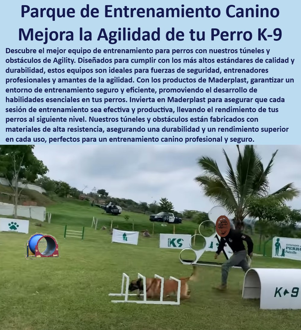 Túnel rígido canino Túnel colapsable Túnel ciego Túnel de agility plegable Maderplast , Parque entrenamiento funcional , Estándares internacionales agilidad , Túneles entrenamiento perros , Equipos agilidad K-9 , Rendimiento superior entrenamiento canino , Seguridad en entrenamiento canino , Módulos agilidad perros , ¿Qué características tienen los túneles de agilidad Maderplast? , Accesorios entrenamiento K-9 , Montaje fácil parque agilidad , Obstáculos agilidad Maderplast , Productos Maderplast para entrenadores , Parque agilidad certificado , Equipos duraderos para perros , Entrenamiento seguro para perros , Mejora agilidad canina , Entrenamiento intensivo canino , Equipos profesionales agilidad , Parque canino exterior , ¿Cómo asegurar un entrenamiento seguro para mi perro? , Parque modular para perros , Parque agilidad portátil , Parque entrenamiento canino , Infraestructura agilidad canina , ¿Qué parque de agilidad es ideal para entrenamiento intensivo? Maderplast agilidad canina , Soluciones entrenamiento perros , ¿Cuál es el mejor parque de entrenamiento para perros? , ¿Dónde comprar equipos de agilidad canina? , Equipos resistentes para agilidad brochure Túnel de entrenamiento canino Profesional y seguro , Túnel colapsable agility Fácil de almacenar , Túnel ciego agility Desafío para perro Túnel rígido canino Túnel colapsable Túnel ciego Túnel de agility plegable Maderplast Parque entrenamiento funcional , Estándares internacionales agilidad , Túneles entrenamiento perros , Equipos agilidad K-9 , Rendimiento superior entrenamiento canino , Seguridad en entrenamiento canino , Módulos agilidad perros , ¿Qué características tienen los túneles de agilidad Maderplast? , Accesorios entrenamiento K-9 , Montaje fácil parque agilidad , Obstáculos agilidad Maderplast , Productos Maderplast para entrenadores , Parque agilidad certificado , Equipos duraderos para perros , Entrenamiento seguro para perros , Mejora agilidad canina , Entrenamiento intensivo canino , Equipos profesionales agilidad , Parque canino exterior , ¿Cómo asegurar un entrenamiento seguro para mi perro? , Parque modular para perros , Parque agilidad portátil , Parque entrenamiento canino , Infraestructura agilidad canina , ¿Qué parque de agilidad es ideal para entrenamiento intensivo? Maderplast agilidad canina , Soluciones entrenamiento perros , ¿Cuál es el mejor parque de entrenamiento para perros? , ¿Dónde comprar equipos de agilidad canina? , Equipos resistentes para agilidad brochure Túnel de entrenamiento canino Profesional y seguro Túnel colapsable agility Fácil de almacenar Túnel ciego agility Desafío para perro 0 Túnel rígido canino Túnel colapsable Túnel ciego Túnel de agility plegable Maderplast , brochure Túnel de entrenamiento canino Profesional y seguro , Túnel colapsable agility Fácil de almacenar , Túnel ciego agility Desafío para perro