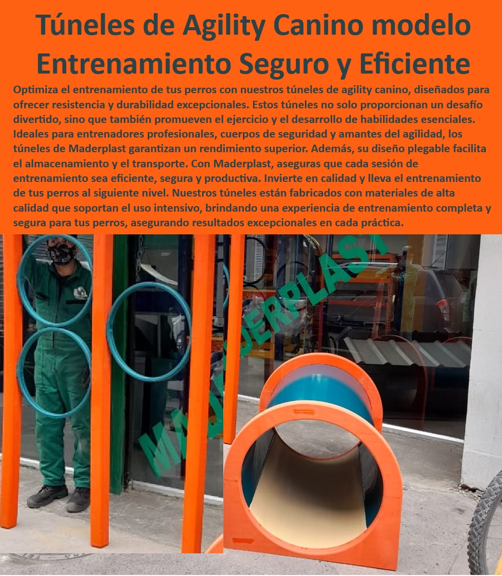 Túnel rígido canino Túnel colapsable Túnel ciego Túnel de agility plegable Maderplast , Túnel de entrenamiento para perros con garantía , Equipos de agilidad canina personalizables , Túnel de agilidad fácil de montar , Accesorios de entrenamiento canino para exteriores , Túnel de agilidad canina para jardín , Túnel canino con diseño innovador , Túnel canino fácil de almacenar , Equipos plegables de agilidad para perros , Equipos de entrenamiento canino duraderos , Túneles de agilidad canina para parques , Equipos de entrenamiento para perros de seguridad , Túnel canino resistente al clima , Túneles de agilidad para todas las razas , Accesorios caninos de entrenamiento avanzado , Túnel de entrenamiento para perros pequeños , Equipos caninos para mejora de agilidad , ¿Qué túnel de entrenamiento canino es recomendable para exteriores? , Equipos de entrenamiento canino seguros , Túnel de agilidad canina asequible , Túnel de entrenamiento canino de alta calidad , Túneles de agilidad canina ajustables , Equipos de agilidad para perros grandes , ¿Cuáles son los beneficios de usar túneles plegables en el entrenamiento canino? Túneles caninos para entrenadores profesionales , Túnel de agility para entrenamiento seguro , Soluciones eficientes para entrenamiento de perros , ¿Cómo configurar un túnel de agilidad para perros grandes? , ¿Cuál es el mejor túnel para entrenamiento de agilidad canina? , Túnel canino para competencias , ¿Dónde puedo comprar un túnel de agilidad seguro para perros? catálogo Túnel de agilidad ajustable Personalización total , Túnel para perros agility Entrenamiento avanzado , Túnel canino plegable Aros puentes Túnel rígido canino Túnel colapsable Túnel ciego Túnel de agility plegable Maderplast Túnel de entrenamiento para perros con garantía , Equipos de agilidad canina personalizables , Túnel de agilidad fácil de montar , Accesorios de entrenamiento canino para exteriores , Túnel de agilidad canina para jardín , Túnel canino con diseño innovador , Túnel canino fácil de almacenar , Equipos plegables de agilidad para perros , Equipos de entrenamiento canino duraderos , Túneles de agilidad canina para parques , Equipos de entrenamiento para perros de seguridad , Túnel canino resistente al clima , Túneles de agilidad para todas las razas , Accesorios caninos de entrenamiento avanzado , Túnel de entrenamiento para perros pequeños , Equipos caninos para mejora de agilidad , ¿Qué túnel de entrenamiento canino es recomendable para exteriores? , Equipos de entrenamiento canino seguros , Túnel de agilidad canina asequible , Túnel de entrenamiento canino de alta calidad , Túneles de agilidad canina ajustables , Equipos de agilidad para perros grandes , ¿Cuáles son los beneficios de usar túneles plegables en el entrenamiento canino? Túneles caninos para entrenadores profesionales , Túnel de agility para entrenamiento seguro , Soluciones eficientes para entrenamiento de perros , ¿Cómo configurar un túnel de agilidad para perros grandes? , ¿Cuál es el mejor túnel para entrenamiento de agilidad canina? , Túnel canino para competencias , ¿Dónde puedo comprar un túnel de agilidad seguro para perros? catálogo Túnel de agilidad ajustable Personalización total Túnel para perros agility Entrenamiento avanzado Túnel canino plegable Aros puentes Túnel rígido canino Túnel colapsable Túnel ciego Túnel de agility plegable Maderplast , catálogo Túnel de agilidad ajustable Personalización total , Túnel para perros agility Entrenamiento avanzado , Túnel canino plegable Aros puentes