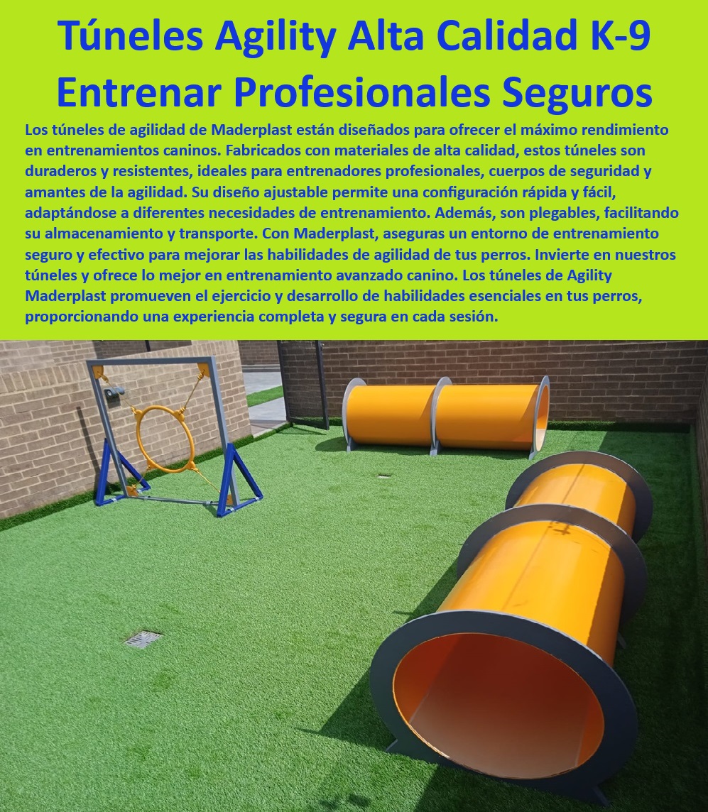 Túnel rígido canino Túnel colapsable Túnel ciego Túnel de agility plegable Maderplast , Soluciones de entrenamiento canino para cuerpos de seguridad , Equipos de entrenamiento canino seguro , Equipos K-9 de entrenamiento avanzado , Equipos de entrenamiento canino duraderos , Accesorios de entrenamiento canino para exteriores , Túnel canino resistente al clima , Túneles de agilidad fáciles de montar , Túneles de entrenamiento para perros con garantía , Equipos de agilidad para entrenadores de perros , Equipos para entrenamiento de agilidad , Túneles de agilidad para entrenamiento en espacios pequeños , Túnel canino para entrenamiento profesional , Túneles de entrenamiento canino ajustables , Túneles de agilidad para uso intensivo , Túnel de entrenamiento canino para competiciones , Mejores túneles de agility para perros , Túneles ajustables para perros , ¿Dónde puedo comprar un túnel plegable para entrenamiento canino? Túnel de entrenamiento canino de alta calidad , Accesorios de agilidad para perros , Túneles de agilidad para adiestramiento canino , ¿Qué túnel de agility es recomendable para perros de competición? , ¿Qué características tiene un túnel de agility seguro para perros? Túneles de agilidad para todas las razas , Túnel de agility profesional para perros , Túneles caminos innovadores y seguros , Equipos portátiles de agilidad para perros , ¿Cómo configurar un túnel de entrenamiento canino ajustable? Túnel plegable para agilidad canina , ¿Cuál es el mejor túnel de agility para entrenamiento intensivo de perros? catálogo Túnel largo para agility Ideal entrenamientos largos , Túnel canino ajustable Ajuste fácil y rápido , Túnel de entrenamiento canino Perro Túnel rígido canino Túnel colapsable Túnel ciego Túnel de agility plegable Maderplast Soluciones de entrenamiento canino para cuerpos de seguridad , Equipos de entrenamiento canino seguro , Equipos K-9 de entrenamiento avanzado , Equipos de entrenamiento canino duraderos , Accesorios de entrenamiento canino para exteriores , Túnel canino resistente al clima , Túneles de agilidad fáciles de montar , Túneles de entrenamiento para perros con garantía , Equipos de agilidad para entrenadores de perros , Equipos para entrenamiento de agilidad , Túneles de agilidad para entrenamiento en espacios pequeños , Túnel canino para entrenamiento profesional , Túneles de entrenamiento canino ajustables , Túneles de agilidad para uso intensivo , Túnel de entrenamiento canino para competiciones , Mejores túneles de agility para perros , Túneles ajustables para perros , ¿Dónde puedo comprar un túnel plegable para entrenamiento canino? Túnel de entrenamiento canino de alta calidad , Accesorios de agilidad para perros , Túneles de agilidad para adiestramiento canino , ¿Qué túnel de agility es recomendable para perros de competición? , ¿Qué características tiene un túnel de agility seguro para perros? Túneles de agilidad para todas las razas , Túnel de agility profesional para perros , Túneles caminos innovadores y seguros , Equipos portátiles de agilidad para perros , ¿Cómo configurar un túnel de entrenamiento canino ajustable? Túnel plegable para agilidad canina , ¿Cuál es el mejor túnel de agility para entrenamiento intensivo de perros? catálogo Túnel largo para agility Ideal entrenamientos largos Túnel canino ajustable Ajuste fácil y rápido Túnel de entrenamiento canino Perro Túnel rígido canino Túnel colapsable Túnel ciego Túnel de agility plegable Maderplast , catálogo Túnel largo para agility Ideal entrenamientos largos , Túnel canino ajustable Ajuste fácil y rápido , Túnel de entrenamiento canino Perro