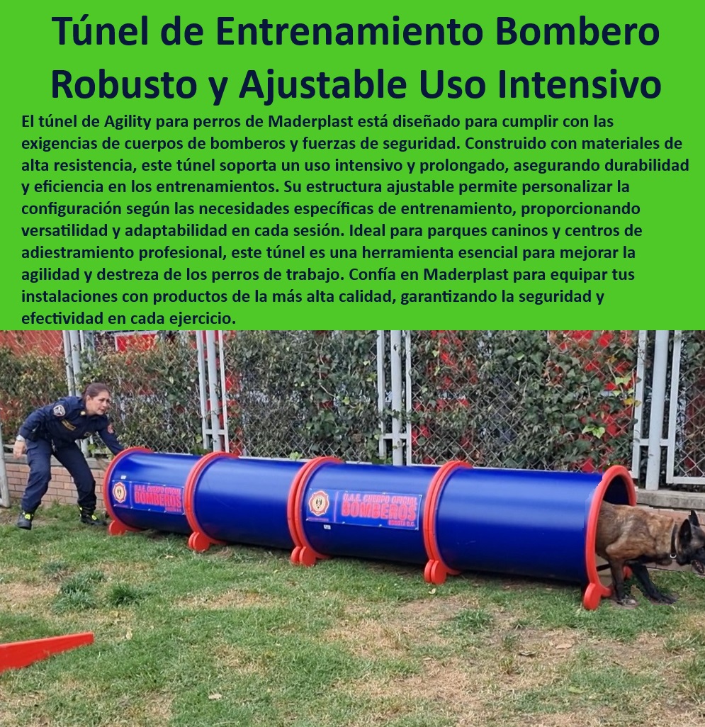 Túnel rígido canino Túnel colapsable Túnel ciego Túnel de agility plegable Maderplast , ¿Qué túnel de entrenamiento es más duradero? , Seguridad en entrenamiento canino , Materiales duraderos para agility , Entrenamiento intensivo para perros , Agility para perros profesionales , Túnel de entrenamiento militar , Instalación rápida de túnel , Túnel de entrenamiento canino , Herramientas de adiestramiento policial , Durabilidad en túneles de agility , Equipamiento para perros de rescate , Túnel plegable para perros , Túnel de alta resistencia para perros , Túnel de adiestramiento , Túnel personalizado para perros , Equipos de calidad garantizada , Adiestramiento de perros de trabajo , Equipamiento para bomberos caninos , Túnel robusto para perros , ¿Dónde comprar equipos de agility para perros profesionales? , ¿Cómo configurar un túnel ajustable para perros? , Eficiencia en ejercicios caninos , Equipos de agility para perros , ¿Dónde encontrar túneles de agility de alta calidad? , Estructura ajustable para entrenamiento , Túnel de agility ajustable , Túnel portátil para adiestramiento , Versatilidad en adiestramiento canino , Mejora de agilidad canina , ¿Cuál es el mejor túnel de entrenamiento canino? perros Bomberos ejército policía Túnel para perros robusto Uso intensivo , Túnel de agilidad ajustable Personalización total , Túnel de agility 00 Túnel rígido canino Túnel colapsable Túnel ciego Túnel de agility plegable Maderplast ¿Qué túnel de entrenamiento es más duradero? , Seguridad en entrenamiento canino , Materiales duraderos para agility , Entrenamiento intensivo para perros , Agility para perros profesionales , Túnel de entrenamiento militar , Instalación rápida de túnel , Túnel de entrenamiento canino , Herramientas de adiestramiento policial , Durabilidad en túneles de agility , Equipamiento para perros de rescate , Túnel plegable para perros , Túnel de alta resistencia para perros , Túnel de adiestramiento , Túnel personalizado para perros , Equipos de calidad garantizada , Adiestramiento de perros de trabajo , Equipamiento para bomberos caninos , Túnel robusto para perros , ¿Dónde comprar equipos de agility para perros profesionales? , ¿Cómo configurar un túnel ajustable para perros? , Eficiencia en ejercicios caninos , Equipos de agility para perros , ¿Dónde encontrar túneles de agility de alta calidad? , Estructura ajustable para entrenamiento , Túnel de agility ajustable , Túnel portátil para adiestramiento , Versatilidad en adiestramiento canino , Mejora de agilidad canina , ¿Cuál es el mejor túnel de entrenamiento canino? perros Bomberos ejército policía Túnel para perros robusto Uso intensivo Túnel de agilidad ajustable Personalización total Túnel de agility 00 Túnel rígido canino Túnel colapsable Túnel ciego Túnel de agility plegable Maderplast , perros Bomberos ejército policía Túnel para perros robusto Uso intensivo , Túnel de agilidad ajustable Personalización total , Túnel de agility 00