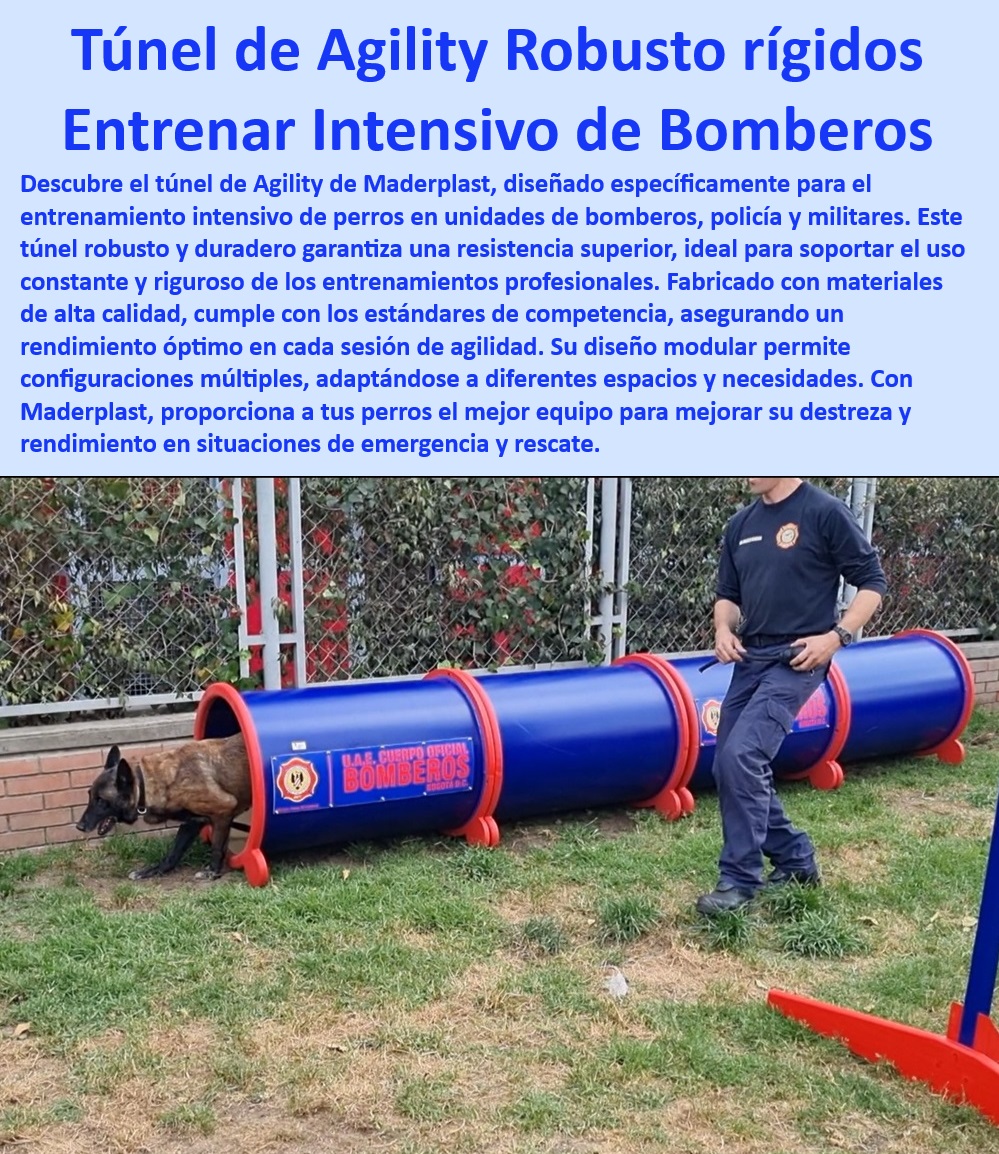 Túnel rígido canino Túnel colapsable Túnel ciego Túnel de agility plegable Maderplast , Herramientas de adiestramiento canino , Calidad garantizada en adiestramiento , Túnel de alta resistencia , Túnel de entrenamiento canino , Entrenamiento intensivo canino , ¿Dónde encontrar túneles de alta resistencia para perros? , Túnel de agility para perros , Versatilidad en adiestramiento canino , Estructura ajustable para agility , Túnel para perros de rescate , Túnel de entrenamiento militar , Túnel plegable para agility , Seguridad en ejercicios caninos , Túnel ajustable para perros , Equipos de entrenamiento para perros , Agility profesional para perros , ¿Qué túnel es ideal para entrenamiento intensivo canino? , Mejora de agilidad canina , Túnel portátil de entrenamiento , Túnel de durabilidad superior , Materiales resistentes para agility , Equipos de adiestramiento para bomberos , Túnel de adiestramiento personalizado , ¿Cuál es el mejor túnel de entrenamiento canino? , Instalación rápida de túnel , Equipamiento para perros de trabajo , ¿Cómo configurar un túnel ajustable para perros? , ¿Dónde comprar túneles de agility para perros? , Túnel robusto para perros , Durabilidad en equipos de entrenamiento perros Bomberos ejército policía Túnel rígido para perros Resistente y duradero , Túnel largo para agility Ideal para entrenamientos largos, Túnel Túnel rígido canino Túnel colapsable Túnel ciego Túnel de agility plegable Maderplast Herramientas de adiestramiento canino , Calidad garantizada en adiestramiento , Túnel de alta resistencia , Túnel de entrenamiento canino , Entrenamiento intensivo canino , ¿Dónde encontrar túneles de alta resistencia para perros? , Túnel de agility para perros , Versatilidad en adiestramiento canino , Estructura ajustable para agility , Túnel para perros de rescate , Túnel de entrenamiento militar , Túnel plegable para agility , Seguridad en ejercicios caninos , Túnel ajustable para perros , Equipos de entrenamiento para perros , Agility profesional para perros , ¿Qué túnel es ideal para entrenamiento intensivo canino? , Mejora de agilidad canina , Túnel portátil de entrenamiento , Túnel de durabilidad superior , Materiales resistentes para agility , Equipos de adiestramiento para bomberos , Túnel de adiestramiento personalizado , ¿Cuál es el mejor túnel de entrenamiento canino? , Instalación rápida de túnel , Equipamiento para perros de trabajo , ¿Cómo configurar un túnel ajustable para perros? , ¿Dónde comprar túneles de agility para perros? , Túnel robusto para perros , Durabilidad en equipos de entrenamiento perros Bomberos ejército policía Túnel rígido para perros Resistente y duradero Túnel largo para agility Ideal para entrenamientos largos Túnel Túnel rígido canino Túnel colapsable Túnel ciego Túnel de agility plegable Maderplast , perros Bomberos ejército policía Túnel rígido para perros Resistente y duradero , Túnel largo para agility Ideal para entrenamientos largos, Túnel
