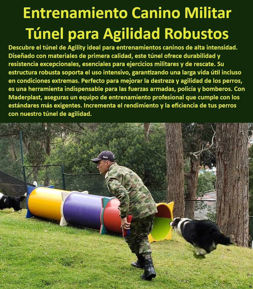 Túnel rígido canino Túnel colapsable Túnel ciego Túnel de agility plegable Maderplast , perros ejército policía Túnel corto para agility Compacto y eficiente , Agility para bomberos K-9 , ¿Túnel de entrenamiento para perros resistente? , Túnel flexible para perros , Entrenamiento canino especializado , Entrenamiento canino militar , Túnel plegable Maderplast , Túnel de ejercicio para perros , Túnel de entrenamiento modular , Túnel de agilidad configurable , Equipos de agility de alta durabilidad , Túnel de agility para perros , Túnel de agilidad portátil , Túnel de entrenamiento K-9 , Túnel de agilidad anti vandalismo , ¿Cuál es el mejor túnel de entrenamiento canino? Túnel de entrenamiento seguro , Túnel de entrenamiento para perros , Túnel de agility transportable , Agility para fuerzas militares , ¿Cómo elegir túnel de agility portátil? Túnel de agility para exteriores , Equipos de entrenamiento canino , Entrenamiento de perros de rescate , ¿Qué túnel de agilidad es más duradero? , Entrenamiento intensivo canino , Túnel de agilidad resistente , ¿Dónde comprar túnel de agility para perros? , Equipos de agility profesionales , Túnel para perros plegable , Equipos de agilidad duraderos Túnel de ejercicio perros Fomenta la actividad , Túnel de entrenamiento 00 Túnel rígido canino Túnel colapsable Túnel ciego Túnel de agility plegable Maderplast perros ejército policía Túnel corto para agility Compacto y eficiente Túnel de ejercicio perros Fomenta la actividad Túnel de entrenamiento Agility para bomberos K-9 , ¿Túnel de entrenamiento para perros resistente? , Túnel flexible para perros , Entrenamiento canino especializado , Entrenamiento canino militar , Túnel plegable Maderplast , Túnel de ejercicio para perros , Túnel de entrenamiento modular , Túnel de agilidad configurable , Equipos de agility de alta durabilidad , Túnel de agility para perros , Túnel de agilidad portátil , Túnel de entrenamiento K-9 , Túnel de agilidad anti vandalismo , ¿Cuál es el mejor túnel de entrenamiento canino? Túnel de entrenamiento seguro , Túnel de entrenamiento para perros , Túnel de agility transportable , Agility para fuerzas militares , ¿Cómo elegir túnel de agility portátil? Túnel de agility para exteriores , Equipos de entrenamiento canino , Entrenamiento de perros de rescate , ¿Qué túnel de agilidad es más duradero? , Entrenamiento intensivo canino , Túnel de agilidad resistente , ¿Dónde comprar túnel de agility para perros? , Equipos de agility profesionales , Túnel para perros plegable , Equipos de agilidad duraderos 00 Túnel rígido canino Túnel colapsable Túnel ciego Túnel de agility plegable Maderplast , perros ejército policía Túnel corto para agility Compacto y eficiente , Túnel de ejercicio perros Fomenta la actividad , Túnel de entrenamiento 00