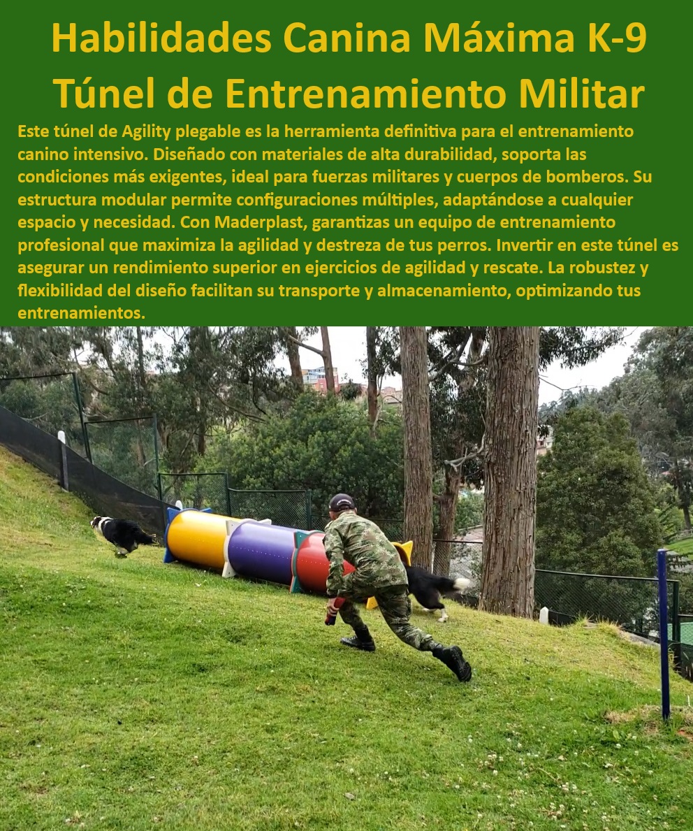 Túnel rígido canino Túnel colapsable Túnel ciego Túnel de agility plegable Maderplast , perros ejército policía Túnel de agilidad modular Configuraciones múltiples , Túnel de agilidad para fuerzas militares , Materiales de alta durabilidad , ¿Cómo elegir túnel de entrenamiento para perros K-9? , Equipos de agility para exteriores , Equipos de entrenamiento canino , Túnel plegable para perros , Agility para perros , Túnel de agility portátil , Túnel de agility portátil para entrenamiento en casa? Entrenamiento K-9 , Entrenamiento de perros de rescate , ¿Dónde comprar un túnel de entrenamiento canino resistente? Túnel de agility , Entrenamiento canino militar , ¿Cuál es el mejor túnel de agility para perros? Túnel de entrenamiento resistente , Túnel de agilidad modular , Túnel de agility fácil almacenamiento , Túnel de entrenamiento seguro , Túnel flexible para perros , Agility para campeonatos , Túnel de entrenamiento transportable , ¿Qué túnel de agility es mejor para fuerzas militares? , Equipos de agility duraderos , Equipos de agility profesional , Túnel de agilidad configurable , Túnel de agility anti vandalismo , Entrenamiento intensivo canino , Túnel para bomberos K-9 , Agility en espacios pequeños Túnel de Agility para perros Mejora la agilidad , Túnel flexible Pet Túnel rígido canino Túnel colapsable Túnel ciego Túnel de agility plegable Maderplast perros ejército policía Túnel de agilidad modular Túnel de agilidad para fuerzas militares , Materiales de alta durabilidad , ¿Cómo elegir túnel de entrenamiento para perros K-9? , Equipos de agility para exteriores , Equipos de entrenamiento canino , Túnel plegable para perros , Agility para perros , Túnel de agility portátil , Túnel de agility portátil para entrenamiento en casa? Entrenamiento K-9 , Entrenamiento de perros de rescate , ¿Dónde comprar un túnel de entrenamiento canino resistente? Túnel de agility , Entrenamiento canino militar , ¿Cuál es el mejor túnel de agility para perros? Túnel de entrenamiento resistente , Túnel de agilidad modular , Túnel de agility fácil almacenamiento , Túnel de entrenamiento seguro , Túnel flexible para perros , Agility para campeonatos , Túnel de entrenamiento transportable , ¿Qué túnel de agility es mejor para fuerzas militares? , Equipos de agility duraderos , Equipos de agility profesional , Túnel de agilidad configurable , Túnel de agility anti vandalismo , Entrenamiento intensivo canino , Túnel para bomberos K-9 , Agility en espacios pequeños Configuraciones múltiples Túnel de Agility para perros Mejora la agilidad Túnel flexible Pet 0 Túnel rígido canino Túnel colapsable Túnel ciego Túnel de agility plegable Maderplast , perros ejército policía Túnel de agilidad modular Configuraciones múltiples , Túnel de Agility para perros Mejora la agilidad , Túnel flexible Pet