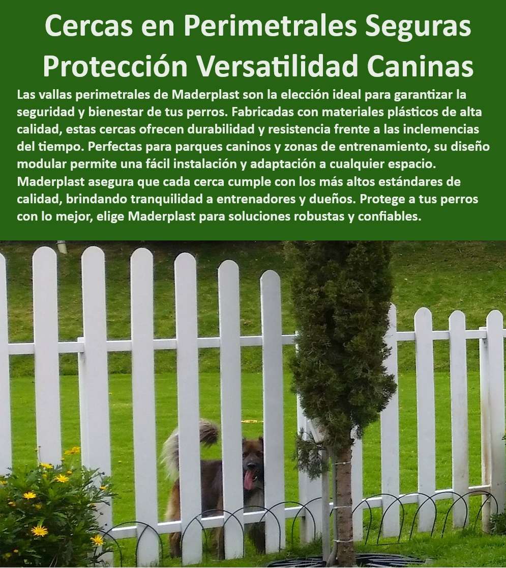 Vallas Desmontables Para Perros Vallado Caninos Cercas Enrejado Maderplast , Instalación de vallas caninas en espacios urbanos , Vallas de plástico anti-corrosión para perros , ¿Cuáles son las mejores opciones de cercas para áreas de entrenamiento canino? , ¿Dónde puedo comprar vallas perimetrales resistentes para parques de perros? , Cercas de entrenamiento canino ajustables , Vallas Maderplast para ambientes exteriores , Sistemas de vallado canino de alta resistencia , Sistemas de cercado canino para entrenadores profesionales , Vallas para parques caninos urbanos , Cercas perimetrales para seguridad de mascotas , ¿Qué vallas son las más seguras para parques de perros? , 5 Frases de Búsqueda por Voz: , Protecciones caninas para parques y patios , Cercas para perros resistentes a la intemperie , Encuentra vallas de entrenamiento canino de alta calidad , Soluciones de cercado modular para perros , Vallas caninas con fácil instalación , Cercados de fácil mantenimiento para perros , Necesito una solución de vallado duradero para perros activos, ¿qué recomienda Maderplast? , ¿Qué tipo de vallas utiliza Maderplast para garantizar la seguridad en parques caninos? , Seguridad canina con vallas de calidad , Vallas de Maderplast para zonas de entrenamiento , Protección perimetral canina de Maderplast , ¿Qué marca ofrece vallas caninas personalizables? , Vallas plásticas duraderas para parques , Busco vallas fáciles de instalar y seguras para perros, ¿qué modelos ofrece Maderplast? , Cercas para perros con garantía de durabilidad , Vallas personalizables para dueños de perros , Vallas modulares para configuraciones personalizadas , Vallas seguras para perros Maderplast , Opciones de vallado para áreas caninas grandes , Necesito vallas resistentes para el área exterior de perros , ¿Dónde puedo comprar vallas caninas duraderas? , Vallas caninas de alta seguridad , Vallas de seguridad para entornos caninos , Soluciones estéticas y seguras de vallado para mascotas Enrejado Sistemas de enrejado para competencias caninas diseño conforme a normativas , Enrejado perros versatilidad y resistencia , Cercas perimetral perros Vallas Desmontables Para Perros Vallado Caninos Cercas Enrejado Maderplast Instalación de vallas caninas en espacios urbanos , Vallas de plástico anti-corrosión para perros , ¿Cuáles son las mejores opciones de cercas para áreas de entrenamiento canino? , ¿Dónde puedo comprar vallas perimetrales resistentes para parques de perros? , Cercas de entrenamiento canino ajustables , Vallas Maderplast para ambientes exteriores , Sistemas de vallado canino de alta resistencia , Sistemas de cercado canino para entrenadores profesionales , Vallas para parques caninos urbanos , Cercas perimetrales para seguridad de mascotas , ¿Qué vallas son las más seguras para parques de perros? , 5 Frases de Búsqueda por Voz: , Protecciones caninas para parques y patios , Cercas para perros resistentes a la intemperie , Encuentra vallas de entrenamiento canino de alta calidad , Soluciones de cercado modular para perros , Vallas caninas con fácil instalación , Cercados de fácil mantenimiento para perros , Necesito una solución de vallado duradero para perros activos, ¿qué recomienda Maderplast? , ¿Qué tipo de vallas utiliza Maderplast para garantizar la seguridad en parques caninos? , Seguridad canina con vallas de calidad , Vallas de Maderplast para zonas de entrenamiento , Protección perimetral canina de Maderplast , ¿Qué marca ofrece vallas caninas personalizables? , Vallas plásticas duraderas para parques , Busco vallas fáciles de instalar y seguras para perros, ¿qué modelos ofrece Maderplast? , Cercas para perros con garantía de durabilidad , Vallas personalizables para dueños de perros , Vallas modulares para configuraciones personalizadas , Vallas seguras para perros Maderplast , Opciones de vallado para áreas caninas grandes , Necesito vallas resistentes para el área exterior de perros , ¿Dónde puedo comprar vallas caninas duraderas? , Vallas caninas de alta seguridad , Vallas de seguridad para entornos caninos , Soluciones estéticas y seguras de vallado para mascotas Enrejado Sistemas de enrejado para competencias caninas diseño conforme a normativas Enrejado perros versatilidad y resistencia Cercas perimetral perros Vallas Desmontables Para Perros Vallado Caninos Cercas Enrejado Maderplast , Enrejado Sistemas de enrejado para competencias caninas diseño conforme a normativas , Enrejado perros versatilidad y resistencia , Cercas perimetral perros