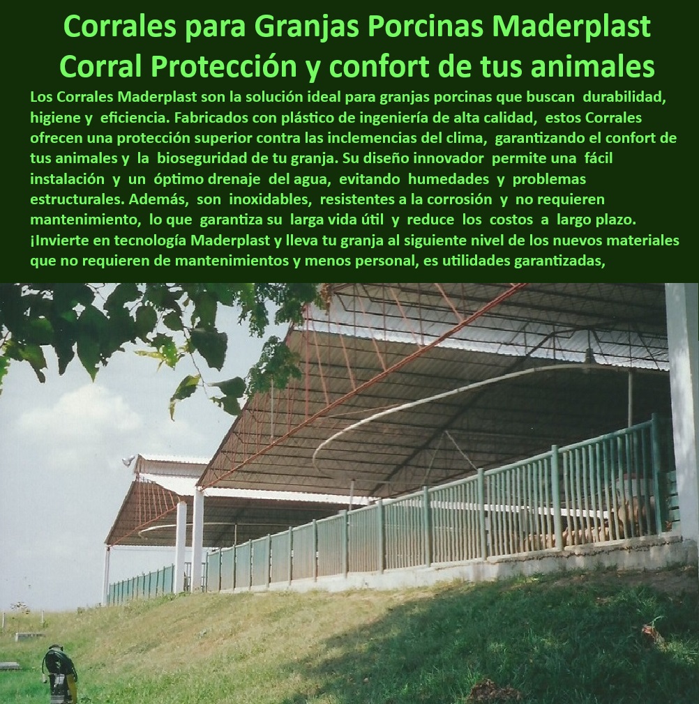 Corrales Para Granjas Porcinas Tipo Baranda Ventilada Maderplast Paneles y Barandas para Optimización del Espacio Porcino Barandas de Polipropileno Corrales de Cerdos Sistemas de Separación Modulares con Normas Sanitarias Divisiones ¿Cómo optimizar el espacio porcino con barandas modulares? - Sistemas higiénicos de corrales porcinos avanzados - ¿Dónde comprar corrales resistentes a la corrosión para cerdos? - ¿Qué corrales son ideales para granjas porcinas tecnificadas? - Diseño innovador en barandas de corrales porcinos, - Estructuras plásticas para bioseguridad en cerdos, - Paneles higiénicos para manejo de cerdos tecnificados - ¿Cómo elegir barandas de polipropileno para cerdos? - Construcción modular con materiales higiénicos y resistentes, - ¿Qué ventajas tienen los corrales ventilados en granjas de cerdos? - Sistemas de confinamiento tecnificado para granjas porcinas - Corrales sin mantenimiento para bioseguridad en cerdos - Construcción de corrales eficientes para cerdos de engorde, - Divisiones resistentes para granjas porcinas eficientes - Barandas-Ventiladas-Porcicultura - Innovación en barandas ventiladas para granjas porcinas - Construcción-Modular-Granjas-Porcinas - Soluciones modulares para optimizar el espacio porcino - Soluciones-Innovadoras-Porcinas - Paneles plásticos que optimizan la bioseguridad animal, - Sistemas de drenaje en corrales para evitar humedad, - Paneles-De-Polipropileno-Para-Granjas - Corrales-Modulares-Para-Cerdos - Barandas modulares de polipropileno para cerdos - Corrales-Sin-Mantenimiento-Duraderos - Materiales avanzados para estructuras porcinas duraderas - Barandas resistentes a la corrosión para cerdos - Corrales resistentes a climas extremos y uso intensivo, - Separadores-Higiénicos-Porcinos - Soluciones eficientes para manejo de cerdos en granjas - Diseño sostenible para espacios porcinos modernos, - Bioseguridad-Porcina-Eficiente - Materiales-Plásticos-Para-Corrales - Materiales plásticos en estructuras para granjas porcinas, - Corrales ventilados para granjas porcinas modernas - Separadores plásticos fáciles de limpiar y mantener - Separadores modulares con normativa sanitaria - Diseño-Sostenible-En-Porcicultura - Separadores de espacios para granjas tecnificadas - Corrales de polipropileno para reducir costos operativos Corrales Para Granjas Porcinas Tipo Baranda Ventilada Maderplast - Paneles y Barandas para Optimización del Espacio Porcino - Barandas de Polipropileno Corrales de Cerdos - Sistemas de Separación Modulares con Normas Sanitarias - Divisiones