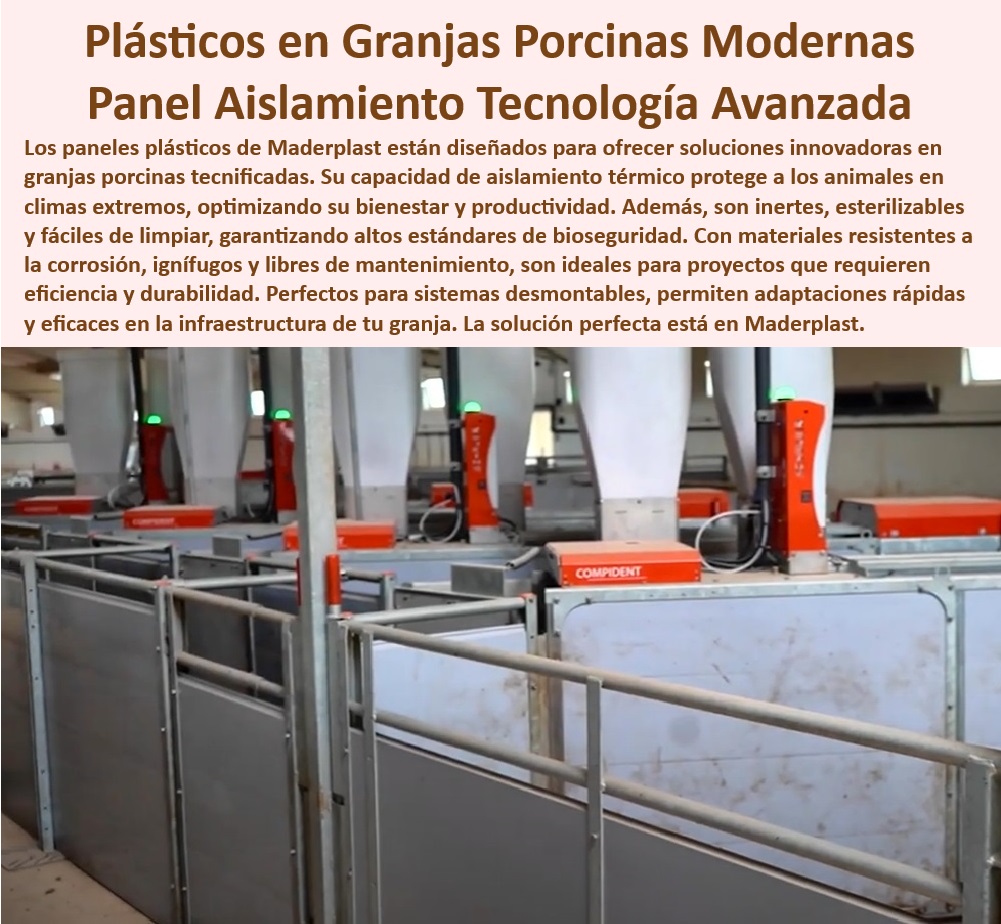 Diseño Infraestructuras Porcícolas División Corrales Placas Paneles Maderplast Construcción fácil de galpones para cerdos tecnificados Materiales plasticos reciclables galpones porcinos Paneles plásticos resistentes a la corrosión PP Estructuras anticorrosivas para granjas modernas, - Soluciones-Plásticas-Para-Bioseguridad - Diseño eficiente para corrales porcinos tecnificados, -  Reducción de costos operativos con soluciones plásticas - Paneles plásticos impermeables para infraestructuras agrícolas, - Innovación-En-Infraestructura-Porcina - Sistemas avanzados para manejo térmico en granjas - Aislamiento térmico eficiente para galpones porcinos - ¿Qué soluciones anticorrosivas son ideales para instalaciones porcinas? , - Construcción-De-Galpones-Porcinos - Sistemas desmontables para corrales higiénicos porcinos - Corrales plásticos higiénicos y de fácil limpieza, -  Diseño modular para granjas porcinas eficientes, -  Aislamiento térmico avanzado en granjas tecnificadas - Paneles plásticos de alta resistencia para exteriores - ¿Qué materiales ofrecen mejor bioseguridad en granjas de cerdos? - Materiales plásticos duraderos para galpones agrícolas, -  Paneles plásticos con resistencia a climas extremos, - Paneles-Plásticos-Para-Porcicultura - Innovación sostenible para infraestructura porcina - Infraestructura sostenible para granjas porcinas - ¿Dónde encontrar paneles plásticos resistentes para granjas porcinas? , - Corrales-Plásticos-Higiénicos , - Paneles-Plásticos-Resistentes - Soluciones modulares para granjas de cerdos tecnificadas - Soluciones anticorrosivas para instalaciones de cerdos , - Granjas-Tecnificadas-Sostenibles - Materiales anticorrosivos en infraestructura porcina , - Aislamiento-Térmico-Para-Granjas - Paneles plásticos resistentes para granjas porcinas tecnificadas , - Infraestructura-Sostenible-En-Porcinas - Innovación en materiales plásticos para porcicultura - Materiales plásticos estériles para bioseguridad agrícola - ¿Cuáles son las ventajas de los paneles plásticos para aislamiento térmico? - Paneles fáciles de instalar para granjas de cerdos - ¿Cómo construir galpones porcinos tecnificados con materiales sostenibles? - Bioseguridad avanzada en granjas porcinas modernas , - Materiales-Anticorrosivos-En-Agricultura - Construcción de galpones porcinos libres de mantenimiento - Placas plásticas reciclables para infraestructura agrícola. Diseño Infraestructuras Porcícolas División Corrales Placas Paneles Maderplast - Construcción fácil de galpones para cerdos tecnificados - Materiales plasticos reciclables galpones porcinos - Paneles plásticos resistentes a la corrosión PP