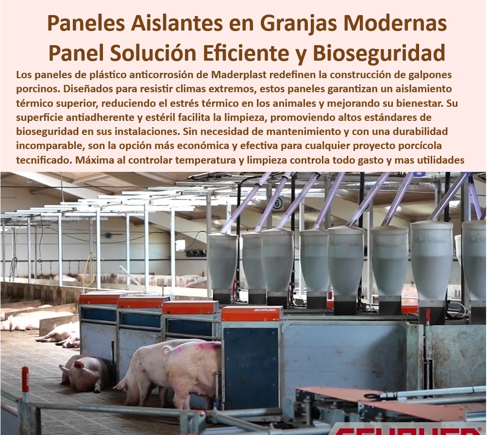 Diseño Infraestructuras Porcícolas División Corrales Placas Paneles Maderplast Cómo mejorar el control térmico en granjas porcinas Aislamiento eficiente con paneles plásticos térmicos Cómo construir galpones para cerdos fácilmente PP Innovación en paneles de bioseguridad porcina, -  ¿Cómo mejorar la bioseguridad en galpones porcinos? - Aislamiento térmico efectivo para galpones de cerdos, - Infraestructura-Resistente-Porcicultura , - Bioseguridad-Sostenible-Porcicultura - Placas plásticas para corrales libres de mantenimiento, -  Paneles antiadherentes para manejo eficiente en granjas, -  Diseño de paneles para granjas higiénicas y seguras, -  Diseño modular de placas para corrales de cerdos, -  Sistemas higiénicos para reducir costos operativos, - Innovación-Aislamiento-Granjas - Sistemas de aislamiento eficientes para porcicultura, - Placas-Plásticas-Térmicas - Paneles resistentes a la corrosión para granjas porcinas, -  Materiales plásticos con alta durabilidad para cerdos, -  Materiales plásticos resistentes para granjas tecnificadas, -  Paneles resistentes a rayos UV para granjas porcinas, - Aislamiento-Plástico-Granjas - Aislamiento duradero en infraestructura porcícola moderna, -  Innovación en materiales para bioseguridad porcina, -  Paneles plásticos térmicos para granjas porcinas, -  Control térmico avanzado para cerdos de engorde, -  Aislamiento térmico sin mantenimiento para granjas, -  ¿Qué opciones de aislamiento duradero existen para granjas tecnificadas? , - Paneles-Resistentes-a-UV - Soluciones de bioseguridad para galpones porcinos, -  Soluciones sostenibles en infraestructura porcícola, - Soluciones-Bioseguridad-Porcinos - Soluciones plásticas para optimizar la temperatura en granjas, -  Soluciones plásticas para mejorar el bienestar animal, -  ¿Dónde comprar placas plásticas para corrales de cerdos? - ¿Cuáles son los mejores materiales para control térmico en porcicultura? , - Paneles-Térmicos-Porcicultura - Placas plásticas para maximizar la productividad porcina, -  Paneles desmontables y eficientes para galpones porcinos, -  Materiales higiénicos para reducir enfermedades en cerdos, - Corrales-Modulares-Higiénicos - Infraestructura porcícola con control térmico avanzado, - Control-Térmico-Porcinos - ¿Qué paneles son ideales para aislar granjas de cerdos? Diseño Infraestructuras Porcícolas División Corrales Placas Paneles Maderplast - Cómo mejorar el control térmico en granjas porcinas - Aislamiento eficiente con paneles plásticos térmicos - Cómo construir galpones para cerdos fácilmente PP