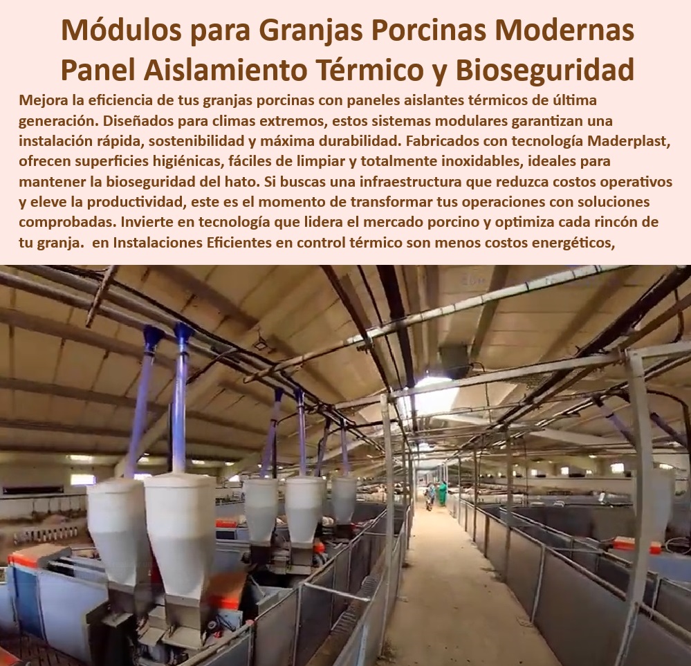 Diseño Infraestructuras Porcícolas División Corrales Placas Paneles Maderplast Materiales básicos para iniciarse en la porcicultura Placas plásticas anticorrosión para granjas especializadas Materiales de fácil instalación para galpón 0 Paneles plásticos anticorrosión para galpones porcinos, - Paneles-Anticorrosión-Para-Porcicultura - Soluciones sostenibles para granjas porcinas modernas - Soluciones modulares con ahorro energético garantizado - Bioseguridad avanzada con placas plásticas anticorrosión - Tecnología avanzada en corrales desmontables para cerdos - ¿Cuáles son los beneficios de paneles anticorrosión en instalaciones porcinas? , - Materiales-Resistentes-Agrícolas , - Innovación-En-Manejo-Porcino - Construcción modular sostenible para manejo porcino eficiente, - Paneles ligeros y resistentes para infraestructuras agrícolas, - Aislamiento-Térmico-En-Granjas - ¿Qué materiales son mejores para construir galpones sostenibles? - Materiales reciclables para sistemas de manejo porcino, - Placas plásticas higiénicas para instalaciones agrícolas, - ¿Cómo optimizar la bioseguridad en granjas de cerdos con tecnología avanzada? - Paneles innovadores para bioseguridad en granjas tecnificadas - Construcción rápida y adaptable para galpones de cerdos, - Soluciones anticorrosión para granjas de producción animal, - ¿Dónde comprar paneles plásticos para granjas porcinas modernas? , - Bioseguridad-Avanzada-En-Porcicultura - Materiales duraderos para infraestructuras porcinas eficientes , - Sistemas-Desmontables-Ecoamigables - Aislamiento térmico efectivo para instalaciones agrícolas - Innovación en diseño de granjas para climas extremos, - Bioseguridad eficiente en sistemas de manejo de cerdos , - Infraestructura-Plástica-Para-Porcinos , - Construcción-Modular-Porcina - Sistemas higiénicos de fácil limpieza para manejo porcino - Sistemas desmontables para maximizar la productividad agrícola - ¿Qué soluciones modulares son ideales para el manejo eficiente del cerdo? , - Soluciones-Modulares-Higiénicas - Paneles resistentes a la humedad para granjas porcinas , - Paneles-Ligeros-Y-Eficientes - Sistemas modulares resistentes para manejo porcino - Infraestructura plástica para granjas de cerdos tecnificadas - Paneles desmontables con aislamiento térmico avanzado - Soluciones plásticas resistentes a condiciones extremas - Reducción de costos operativos con materiales plásticos - Paneles desmontables y adaptables para galpones higiénicos Diseño Infraestructuras Porcícolas División Corrales Placas Paneles Maderplast Materiales básicos para iniciarse en la porcicultura Placas plásticas anticorrosión para granjas especializadas Materiales de fácil instalación para galpón 0