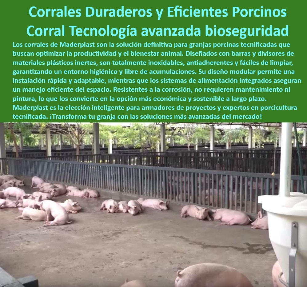 Diseño corrales modernos para cerdos Innovación corral porcicultura Maderplast corrales de cerdos en granjas tecnificadas Corrales especializados en control ambiental para porcicultura Corrales cerdos modernos con bebederos y comedero Corrales modernos para granjas porcinas tecnificadas, - ¿Dónde conseguir divisiones higiénicas para cerdos en granjas tecnificadas? - Corrales modulares con sistemas integrados de alimentación porcina, - Corrales plásticos de alta resistencia para producción porcina, - Tecnología-Porcina-Sostenible - Sistemas de cercas flexibles para manejo eficiente de cerdos, - Sistemas innovadores en manejo de cerdos en granjas modernas, - Innovación en cercas y corrales de alta eficiencia porcina, - Materiales plásticos avanzados para corrales porcinos duraderos, - Innovación-Tecnológica-Granjas - Divisiones adaptables para granjas de engorde de porcinos, - Cercas modulares para la gestión eficiente de espacios porcinos, - Sistemas-Higiénicos-Granjas , - Cercas-Plásticas-Antibacterianas - Tecnología avanzada en divisiones de corrales higiénicos, - Corrales resistentes para climas extremos en porcicultura, - Manejo-Eficiente-Porcicultura - ¿Qué corrales son recomendados para climas húmedos en granjas porcinas? - Tecnología anticorrosiva en divisiones porcinas de alta calidad, - Corrales-Modulares-Porcinos - Corrales plásticos libres de mantenimiento y duraderos, - Materiales reciclables y sostenibles para instalaciones porcinas, - Infraestructuras de bioseguridad para granjas tecnificadas, - Tecnología sostenible para optimización de producción de cerdos, - ¿Cómo instalar corrales con bebederos y comederos integrados? - Corrales sostenibles para optimizar la productividad porcina, - Divisiones antibacterianas para granjas de cerdos tecnificadas, - Diseño de corrales con bebederos y comederos integrados, - Infraestructura-Avanzada-Porcina , - Corrales-Modernos-Cerdos - Sistemas adaptables para manejo intensivo en granjas de engorde, - Materiales inoxidables para instalaciones porcinas eficientes, - ¿Qué materiales anticorrosivos son ideales para corrales de cerdos? - Corrales para control ambiental en instalaciones de porcicultura, - Divisiones-Eficientes-Porcicultura - Sistemas de bioseguridad en instalaciones porcinas avanzadas, - Tecnología modular en corrales de cerdos sostenibles, - ¿Cuáles son los mejores corrales sostenibles para granjas porcinas modernas? , - Cercas-Anticorrosivas-Porcinos - Cercas plásticas higiénicas para manejo de cerdos. Diseño corrales modernos para cerdos Innovación corral porcicultura Maderplast - corrales de cerdos en granjas tecnificadas - Corrales especializados en control ambiental para porcicultura - Corrales cerdos modernos con bebederos y comedero