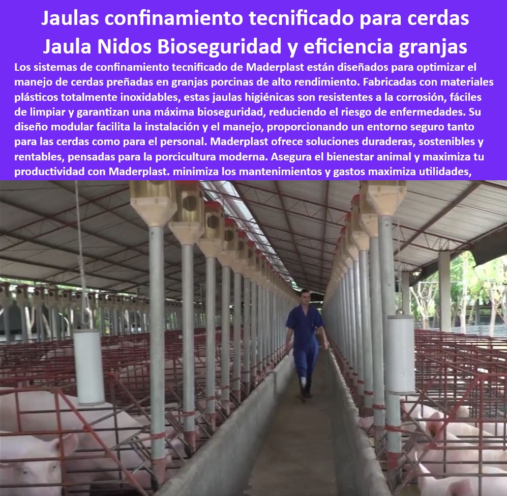 Jaulas De Inseminación Y Gestación Porcina Corral Maternidad Cerdas Maderplast Corrales innovadores cerdas gestantes Corrales fáciles y eficientes cerdas preñadas en espacios pequeños Sistemas inteligentes cerdas gestantes tecnificada -Infraestructura-Para-Producción-Porcina. - Soluciones personalizadas en jaulas para cerdas preñadas. - Soluciones duraderas para confinamiento de cerdas preñadas. - Sistemas plásticos para confinamiento de cerdas con bioseguridad, - Tecnología-De-Confinamiento-Porcino. - ¿Qué soluciones existen para manejo seguro de cerdas preñadas? - ¿Cómo elegir corrales higiénicos para maternidad porcina? - Jaulas para cerdas gestantes con bioseguridad avanzada, - Diseño-Modular-Cerdas-Preñadas, - Sistemas-Para-Maternidad-Porcina. - Corrales resistentes y adaptables para granjas tecnificadas, - Jaulas-Plásticas-Resistentes. - Corrales resistentes a la corrosión para maternidad porcina. - Jaulas con sistemas inteligentes para inseminación porcina. - Materiales plásticos resistentes para jaulas de maternidad, - Innovación-En-Porcicultura-Moderna. - Jaulas modulares con fácil limpieza para granjas porcinas. - Corrales optimizados para espacios reducidos en granjas porcinas, - Corrales-Sostenibles-Porcinos. - Sistemas de confinamiento higiénico para porcicultura moderna. - Corrales higiénicos para cerdas preñadas en granjas modernas, - Bioseguridad-En-Confinamiento-Porcino. - Sistemas tecnificados para inseminación y maternidad de cerdas, - Corrales-Para-Cerdas-Gestantes. - Jaulas económicas y sostenibles para maternidad porcina. - Diseños modulares en jaulas para granjas tecnificadas. - Infraestructura eficiente para manejo de cerdas gestantes. - Equipos innovadores para manejo de cerdas preñadas. - ¿Dónde comprar sistemas tecnificados para cerdas gestantes? - Jaulas sostenibles y duraderas para bienestar porcícola. - Tecnología plástica avanzada en corrales de maternidad. - Corrales fáciles de instalar para granjas tecnificadas. - ¿Cuáles son las mejores jaulas para cerdas preñadas? - Sistemas eficientes para bioseguridad en granjas de cerdos. - ¿Qué jaulas son más eficientes para inseminación porcina? - Equipos de manejo seguro para cerdas en gestación. - Tecnología avanzada en corrales para producción porcina. - Jaulas higiénicas y sostenibles para producción porcina. - Jaulas con diseño ergonómico para el bienestar animal, - Jaulas-Higiénicas-Porcinas. Jaulas De Inseminación Y Gestación Porcina Corral Maternidad Cerdas Maderplast - Corrales innovadores cerdas gestantes - Corrales fáciles y eficientes cerdas preñadas en espacios pequeños - Sistemas inteligentes cerdas gestantes tecnificada
