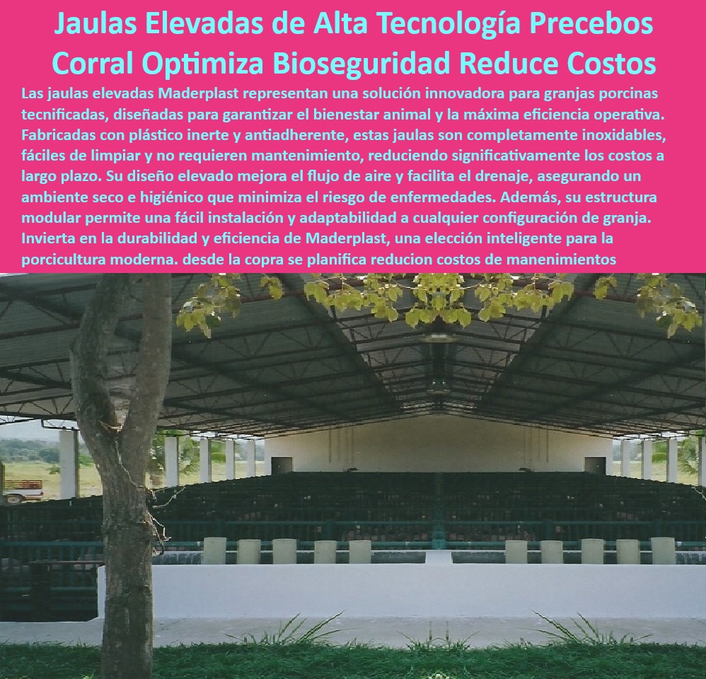 Jaulas de Piso Levantado Precebos Corrales Porcinos Elevados Maderplast Jaulas ligeras para destetar lechones Jaulas ecológicas granjas porcinas modernas Corrales higiénicos con placas plásticas reciclables Estructuras higiénicas 0 Estructuras reciclables para sostenibilidad porcina, , - Pisos-Higiénicos-Cerdos-Destetados - ¿Qué jaulas son ideales para reducir costos en granjas porcinas? - Corrales modulares para cría de cerdos, - Corrales fáciles de limpiar y mantener, - Jaulas resistentes para lechones en precebo, - Jaulas modulares diseñadas para eficiencia operativa, - Soluciones innovadoras para manejo porcino eficiente, - Jaulas anticorrosivas para ambientes húmedos, - Corrales higiénicos con ventilación optimizada, , - Corrales-Higiénicos-Modulares - ¿Dónde jaula encontrars higiénicas para maternidades porcinas? - Corrales sostenibles que cumplen con las normativas internacionales, - Pisos antideslizantes para el bienestar de lechones, - Sistemas avanzados para reducir costos de granjas, - Pisos plásticos higiénicos para cerdos destetados, - Pisos drenantes para higiene en maternidades, - ¿Qué sistemas de bioseguridad son mejores para cerdos? - Infraestructura sostenible para porcicultura tecnificada, , - Corrales-Elevados-Bioseguridad-Avanzada , - Pisos-Drenantes-Maternidades-Porcinas - Pisos térmicos para cerdos en destete, - Corrales elevados con bioseguridad avanzada, - ¿Cómo elegir pisos plásticos para cría de cerdos? - Sistemas duraderos para optimizar la producción porcina, , - Sistemas-Eficientes-Granjas-Porcinas , - Innovación-Reducción-Costos-Granjas , - Jaulas-Ligeras-Destete-Lechones - Pisos elevados para minimizar enfermedades porcinas, - Infraestructura plástica para bioseguridad animal, - Jaulas plásticas ergonómicas para cría porcina, - Estructuras plásticas para reducir riesgos sanitarios, , - Estructuras-Reciclables-Sostenibilidad-Porcina - Sistemas de manejo eficiente en granjas porcinas, - Jaulas ligeras para maternidades porcinas modernas, , - Infraestructura-Sostenible-Porcicultura - Sistemas económicos para granjas modernas, , - Jaulas-Plásticas-Ergonómicas-Porcicultura - Jaulas ergonómicas con diseño modular, - ¿Cuáles son los beneficios de corrales elevados para lechones? Jaulas de Piso Levantado Precebos Corrales Porcinos Elevados Maderplast - Jaulas ligeras para destetar lechones - Jaulas ecológicas  granjas porcinas modernas - Corrales higiénicos con placas plásticas reciclables - Estructuras higiénicas 0