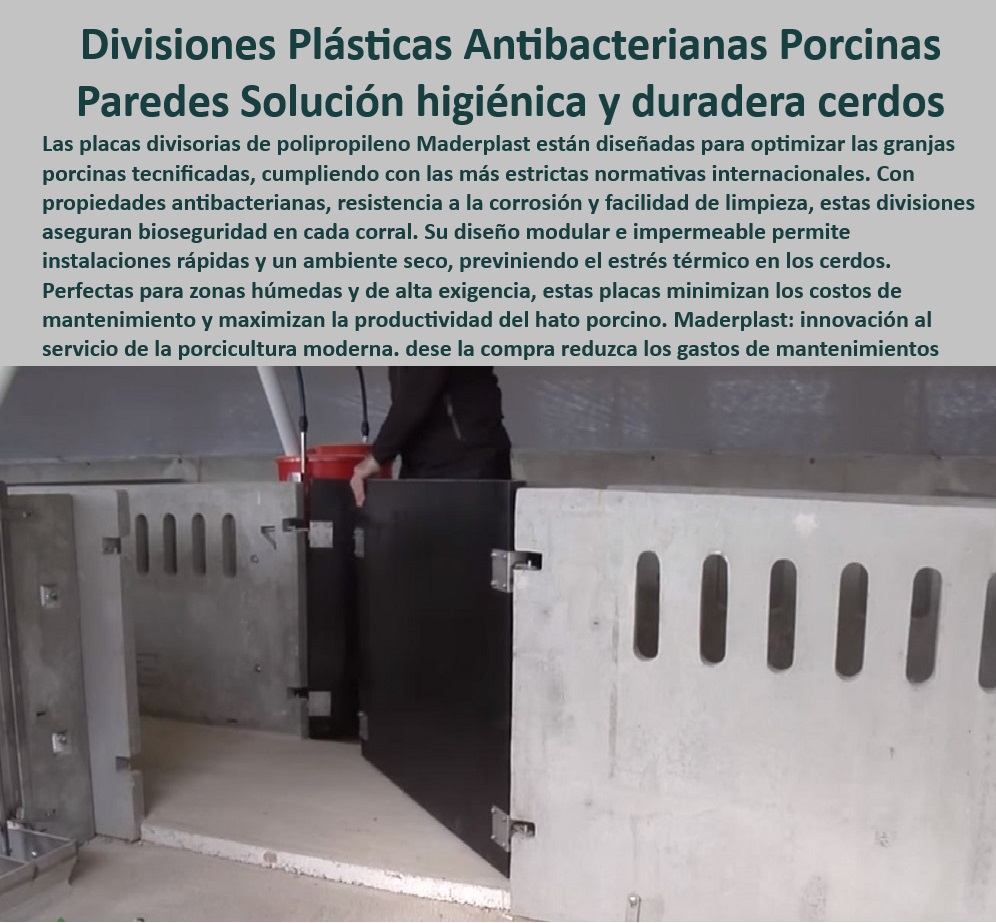 Paneles Plásticos Porcícolas Placas Higiénicas Granjas De Cerdos Maderplast Placas de plástico para automatizar granjas de cerdos Paneles resistentes a químicos y agentes corrosivos Diseños prácticos para pisos de granjas porcinas PP ¿Cómo reducir el estrés térmico en cerdos con divisiones plásticas? - Paredes de polipropileno que aseguran el bienestar animal, - Divisiones modulares para optimizar espacios porcinos, - Placas plásticas innovadoras para bioseguridad en porcicultura, - Paredes divisorias que maximizan la eficiencia operativa, - Divisiones plásticas modulares para maternidades porcinas, - Placas antibacterianas resistentes a la corrosión, - Divisiones anticorrosivas para proyectos llave en mano, - Soluciones-Higiénicas-Anticorrosivas , - Soluciones-De-Bioseguridad-Porcina - Paneles plásticos que reducen los costos de mantenimiento, - ¿Qué opciones de paneles higiénicos para granjas porcinas existen? - Divisiones plásticas con propiedades antibacterianas avanzadas, - Materiales resistentes al desgaste en instalaciones porcinas, - Placas divisorias de instalación rápida y modular, - Soluciones higiénicas para ambientes porcinos húmedos, - Divisiones plásticas higiénicas para granjas porcinas modernas, - Paneles-Higiénicos-Para-Corrales - ¿Dónde comprar paneles antibacterianos para granjas porcinas? - Paneles anticorrosivos para zonas húmedas, - Divisiones-De-Fácil-Instalación - Paredes divisorias fáciles de instalar para granjas, - Divisiones-Plásticas-Porcinas - Placas divisorias que mejoran la productividad del hato porcino, - ¿Qué materiales son ideales para bioseguridad en maternidades porcinas? , - Paredes-Antibacterianas-Para-Cerdos - Soluciones plásticas para evitar el estrés térmico en cerdos, - Sistemas divisorios modulares para corrales de cerdos, - Divisiones higiénicas que cumplen con las normativas internacionales, - Paneles plásticos resistentes a químicos y agentes corrosivos, - Paneles-Plásticos-Duraderos - Paredes de polipropileno para instalaciones sostenibles, - Paneles de polipropileno para bioseguridad porcina, - ¿Cuáles son las mejores divisiones plásticas para corrales de cerdos? - Paneles ligeros y duraderos para ambientes tecnificados, - Placas-Para-Bienestar-Animal , - Divisiones-Modulares-Para-Granjas - Paredes de fácil limpieza para bioseguridad en granjas, - Soluciones para minimizar el mantenimiento en granjas, - Paredes-Resistentes-A-Químicos Paneles Plásticos Porcícolas Placas Higiénicas Granjas De Cerdos Maderplast - Placas de plástico para automatizar granjas de cerdos - Paneles resistentes a químicos y agentes corrosivos - Diseños prácticos para pisos de granjas porcinas PP