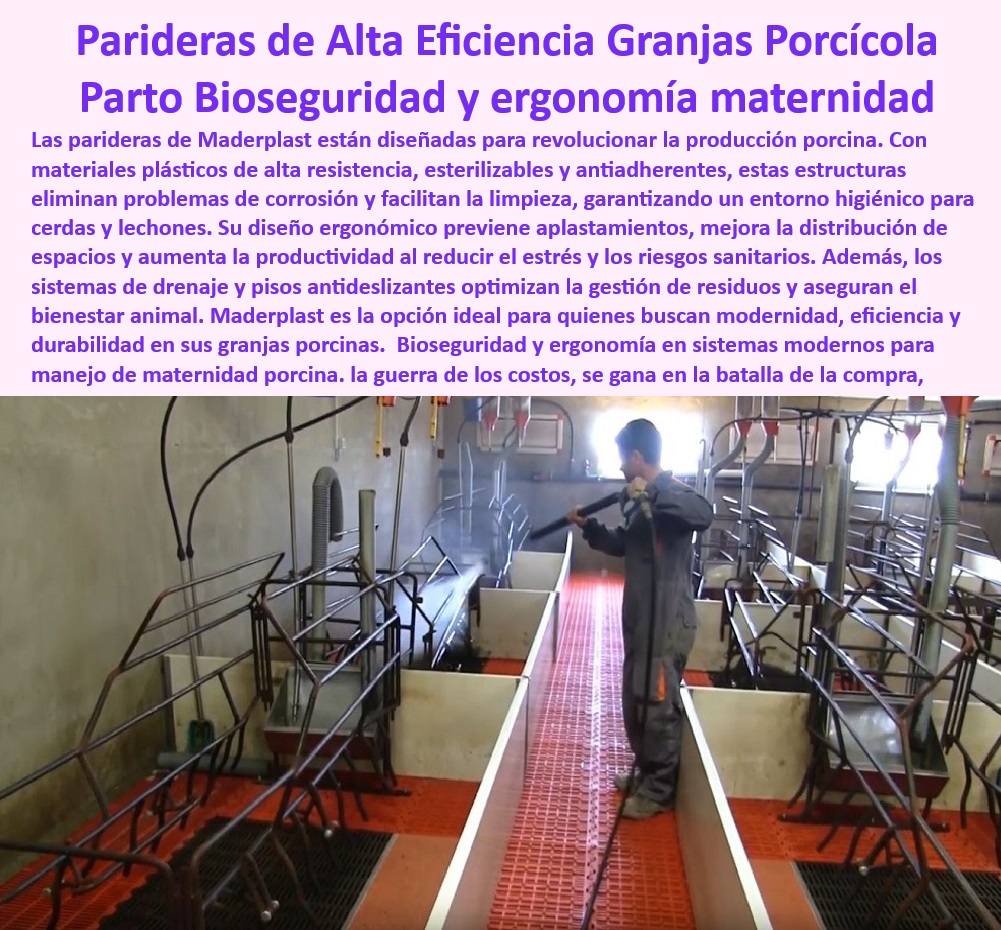 Parideras porcinas higiénicas resistentes Parto cerdas fácil limpieza Maderplast Diseños iniciales granjas porcinas tecnificadas Cómo mantener parideras higiénicas en granjas Jaulas cerdas con pisos drenantes Jaula máxima protección Parideras porcinas higiénicas y resistentes, - Jaulas desmontables para fácil limpieza profunda, - Infraestructura-Porcina-Avanzada - Parideras funcionales para evitar enfermedades, - Sistemas avanzados para granjas tecnificadas, - ¿Cuáles son las mejores parideras higiénicas para cerdas? - Soluciones-Para-Granjas-Tecnificadas - Pisos antideslizantes en sistemas de maternidad, - Parideras-Porcinas-Higiénicas - ¿Qué sistemas optimizan la bioseguridad en maternidad porcina? - Pisos drenantes en jaulas porcinas modernas, - Parideras tecnológicas que reducen los riesgos sanitarios, - Soluciones tecnológicas para el bienestar animal, - Infraestructura higiénica para maternidad en granjas, - Soluciones para maximizar la productividad porcina, - Pisos higiénicos para mejorar la productividad porcina, - ¿Dónde comprar jaulas de parto con drenaje eficiente? - Parideras-Modulares-Con-Bioseguridad - Jaulas de parto con garantía extendida, - Jaulas-Antibacterianas-Para-Cerdas - Parideras diseñadas para minimizar costos operativos, - ¿Qué opciones existen para pisos drenantes en granjas porcinas? - Parideras-Con-Diseño-Ergonómico - Pisos-Antideslizantes-Granjas-Porcinas - Jaulas para cerdas con drenaje eficiente, - Jaulas para cerdas con alta durabilidad, - Jaulas modernas que aseguran bioseguridad, - Jaulas de parto tecnificadas - ¿Cómo elegir parideras resistentes y fáciles de limpiar? - Pisos-Drenantes-Para-Parideras - Infraestructura sostenible para granjas porcinas, - Sistemas de bioseguridad para maternidad porcina, - Parideras innovadoras que optimizan espacios, - Jaulas modulares con diseño antibacteriano, - Parideras con diseño ergonómico para cerdas, - Sistemas prácticos para manejo de maternidad, - Sistemas-De-Bioseguridad-Maternidad - Parideras plásticas resistentes a la corrosión, - Infraestructura porcina con materiales avanzados, - Jaulas de parto para cerdas tecnificadas. Parideras porcinas higiénicas resistentes Parto cerdas fácil limpieza Maderplast - Diseños iniciales granjas porcinas tecnificadas - Cómo mantener parideras higiénicas en granjas - Jaulas cerdas con pisos drenantes - Jaula máxima protección