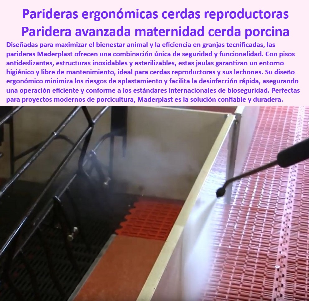 Parideras porcinas higiénicas resistentes Parto cerdas fácil limpieza Maderplast Parideras con sistemas básicos de drenaje parto con Sistemas seguros para evitar aplastamientos Soluciones térmicas avanzadas para bienestar en maternidad 0   Parideras seguras y térmicas para cerdas reproductoras, - Bioseguridad-En-Maternidad-Porcina - Parideras higiénicas con drenaje eficiente para granjas, - Estructuras de alta tecnología para reducir costos operativos, - Sistemas eficientes para prevenir aplastamientos en lechones, - Soluciones prácticas y accesibles para maternidad porcina, - Sistemas seguros para evitar aplastamientos en cerdos, - Parideras resistentes para granjas tecnificadas y sostenibles, - Estructuras-Inoxidables-Maternidad - Soluciones modulares para manejo eficiente de cerdas, - Diseño-Ergonómico-Para-Cerdas - Drenaje-Eficiente-En-Parideras - Innovación-En-Producción-Porcina - Soluciones-Térmicas-En-Granjas - Parideras térmicas avanzadas para maternidad porcina, - Parideras-Eficientes-Y-Higiénicas - Parideras con pisos antideslizantes y esterilizables, - Jaulas higiénicas para maternidad con materiales avanzados, - Sistemas avanzados para mejorar la productividad porcina, - ¿Cuáles son las mejores parideras térmicas para cerdas reproductoras? - Jaulas de maternidad con diseño ergonómico avanzado, - Jaulas avanzadas para manejo seguro de maternidad porcina, - Jaulas-De-Maternidad-Tecnificada - ¿Dónde encontrar parideras higiénicas con drenaje avanzado? - Parideras innovadoras para garantizar el bienestar animal, - Infraestructura-Segura-Para-Lechones - Diseño sostenible para proyectos tecnificados de porcicultura, - Diseño ergonómico para minimizar riesgos en maternidad porcina, - Soluciones térmicas para bienestar en maternidad porcina, - Sistemas de bioseguridad para lechones recién nacidos, - Parideras adaptadas a normativas internacionales de bioseguridad, - ¿Cómo mejorar la bioseguridad en maternidad porcina tecnificada? - Estructuras inoxidables y libres de mantenimiento para cerdas, - Infraestructura higiénica y eficiente para cerdas reproductoras, - Parideras de fácil limpieza y alta durabilidad, - Infraestructura reciclable y sostenible para granjas porcinas, - Jaulas resistentes a la corrosión para bienestar en granjas, - ¿Qué parideras garantizan el bienestar de cerdas y lechones? - Parideras-Térmicas-Para-Cerdas - ¿Qué jaulas de maternidad son más seguras para evitar aplastamientos? Parideras porcinas higiénicas resistentes Parto cerdas fácil limpieza Maderplast Parideras con sistemas básicos de drenaje parto con Sistemas seguros para evitar aplastamientos Soluciones térmicas avanzadas para bienestar en maternidad 0
