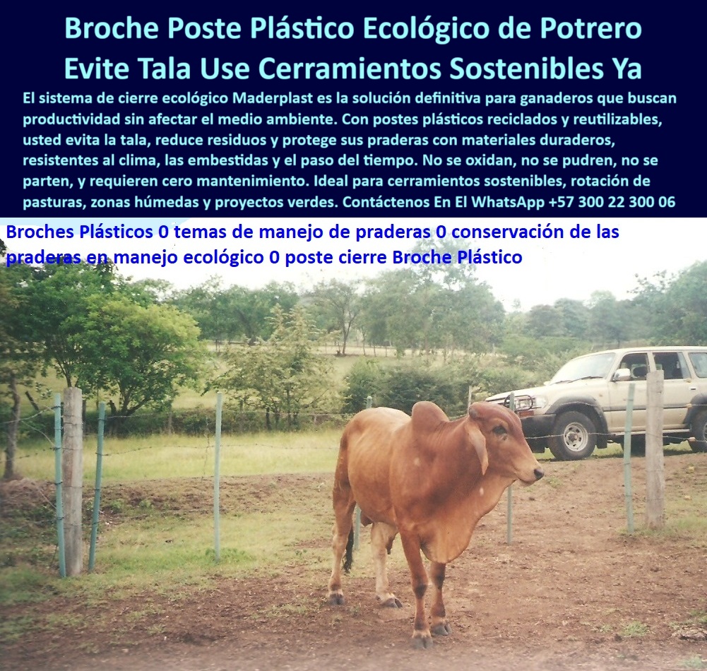 Broches Portón Plástico Para Ganado Puerta De Hato Ganadero Puerta Maderplast puertas temporales para ganado sin mantenimiento, - Postes verticales sin pintura, firmes ante clima, humedad y ganado., - Vehículo 4x4 al fondo demuestra uso rural y acceso permanente., - cerco reciclado con broches ganaderos reutilizables, - poste ecológico con sistema de cierre seguro, - Escenario típico de finca sostenible en Llanos Orientales colombianos., - cerramiento ecológico para finca sostenible, - La imagen muestra un cierre ecológico con broche plástico Maderplast, ideal para portones de potreros en zonas húmedas. Este sistema, instalado en una finca de sabana ganadera, combina postes reciclados y puertas livianas sin óxido ni pintura. Gracias a su resistencia a golpes, humedad y presión animal, Maderplast ofrece una solución definitiva para ganaderos que buscan productividad con sostenibilidad. Los broches plásticos Maderplast no se deforman, no se parten y garantizan seguridad sin dañar al ganado ni al entorno., - acceso-seguro-en-pradera-húmeda, - poste con broche para terrenos con lodo, - sistema de broche plástico para puertas de hato, - ¿Qué puerta de ganado no necesita pintura?, - compuerta con poste plástico sin astillas ni pintura, - sistema ecológico para puertas rurales, - puerta-de-potreros-reciclada, - compuertas sostenibles sin oxidación ni astillas, - poste de potrero con broche ecológico sin óxido, - puerta ganadera plástica en sabana con broche resistente, - poste-sin-óxido-ni-madera, - poste-con-broche-plástico, - cierre de potrero sin madera ni soldaduras, - ¿Dónde comprar poste con broche ecológico?, - Ganado seguro en corral gracias al broche sin puntas ni filos., - compuerta resistente sin puntas peligrosas, - cerco plástico sostenible para portón ganadero, - Puerta rural temporal sin marco metálico, ligera y resistente al impacto., - postes reciclables para cierre de ganado, - postes reciclados para portones ganaderos livianos, - ¿Cuál es el cierre más seguro para corral?, - cierre-sostenible-de-potreros, - sistema rural de broche plástico para ganado, - Broche_Poste_Plástico_Puerta_Potreros_Ecológica_Sin_Oxido_Colombia.jpg, - puerta ganadera fácil de instalar y mover, - sistema de puerta para praderas húmedas, - Visualmente destaca la armonía entre sostenibilidad, funcionalidad y ganadería., - portón plástico para hato sobre tierra húmeda, - corral portátil para ganado sin concreto, - Poste plástico con broche ecológico en potrero de ganado brahman rojo., - poste con broche que evita accidentes en ganado, - ¿Cómo cierro el potrero sin usar metal?, - poste vertical verde con compuerta sin metal visible, - poste plástico seguro para cierre de animales, - Terreno llano y vegetación intermedia indican zona de sabana húmeda., - El broche es dieléctrico, ideal para paso de cercas eléctricas sin aisladores., - broche plástico para cerrar corral de ganado, - postes con broche usados en sabana colombiana, - cerca-plástica-para-ganado, - compuerta-temporal-para-corral, - poste con cierre ganadero que no se oxida, - compuerta temporal de corral sin mantenimiento, - poste plástico con broche para corral de ganado, - ¿Qué broche es mejor para potrero con humedad?, - compuerta rural sin metal ni madera, - vehículo en finca detrás de corral seguro, - poste-plástico-sin-pintura, - broche dieléctrico que no transmite corriente, - poste de puerta para ganado resistente a humedad, - puerta de potrero sin riesgo de oxidación, - corral rural con vacuno en frente de poste plástico, - postes plásticos con cierre para potreros, - estructura plástica de poste ganadero sin mantenimiento, - puerta plástica para cierre de corral ganadero, - cerco ecológico con ganado en zona ganadera, - puerta-ganadera-ecológica, - Sistema de cierre sostenible sin óxido, astillas ni pudrición visible., - Tecnología colombiana sin tala, sin concreto, sin mantenimiento., - Cerca reciclada con broches plásticos, útil en rotación de praderas., - broche ecológico para puerta de potrero rural, - sistema-de-broche-ganadero 0 Broche Ganadero, - Puerta ganadera liviana y resistente, - Compuerta Rural Liviana, - Puerta Temporal de Corral, - Cómo cerrar potreros en invierno porton Broches Portón Plástico Para Ganado Puerta De Hato Ganadero Puerta Maderplast 0 Broche Ganadero Puerta ganadera liviana y resistente Compuerta Rural Liviana Puerta Temporal de Corral Cómo cerrar potreros en invierno portón puertas temporales para ganado sin mantenimiento, - Postes verticales sin pintura, firmes ante clima, humedad y ganado., - Vehículo 4x4 al fondo demuestra uso rural y acceso permanente., - cerco reciclado con broches ganaderos reutilizables, - poste ecológico con sistema de cierre seguro, - Escenario típico de finca sostenible en Llanos Orientales colombianos., - cerramiento ecológico para finca sostenible, - La imagen muestra un cierre ecológico con broche plástico Maderplast, ideal para portones de potreros en zonas húmedas. Este sistema, instalado en una finca de sabana ganadera, combina postes reciclados y puertas livianas sin óxido ni pintura. Gracias a su resistencia a golpes, humedad y presión animal, Maderplast ofrece una solución definitiva para ganaderos que buscan productividad con sostenibilidad. Los broches plásticos Maderplast no se deforman, no se parten y garantizan seguridad sin dañar al ganado ni al entorno., - acceso-seguro-en-pradera-húmeda, - poste con broche para terrenos con lodo, - sistema de broche plástico para puertas de hato, - ¿Qué puerta de ganado no necesita pintura?, - compuerta con poste plástico sin astillas ni pintura, - sistema ecológico para puertas rurales, - puerta-de-potreros-reciclada, - compuertas sostenibles sin oxidación ni astillas, - poste de potrero con broche ecológico sin óxido, - puerta ganadera plástica en sabana con broche resistente, - poste-sin-óxido-ni-madera, - poste-con-broche-plástico, - cierre de potrero sin madera ni soldaduras, - ¿Dónde comprar poste con broche ecológico?, - Ganado seguro en corral gracias al broche sin puntas ni filos., - compuerta resistente sin puntas peligrosas, - cerco plástico sostenible para portón ganadero, - Puerta rural temporal sin marco metálico, ligera y resistente al impacto., - postes reciclables para cierre de ganado, - postes reciclados para portones ganaderos livianos, - ¿Cuál es el cierre más seguro para corral?, - cierre-sostenible-de-potreros, - sistema rural de broche plástico para ganado, - Broche_Poste_Plástico_Puerta_Potreros_Ecológica_Sin_Oxido_Colombia.jpg, - puerta ganadera fácil de instalar y mover, - sistema de puerta para praderas húmedas, - Visualmente destaca la armonía entre sostenibilidad, funcionalidad y ganadería., - portón plástico para hato sobre tierra húmeda, - corral portátil para ganado sin concreto, - Poste plástico con broche ecológico en potrero de ganado brahman rojo., - poste con broche que evita accidentes en ganado, - ¿Cómo cierro el potrero sin usar metal?, - poste vertical verde con compuerta sin metal visible, - poste plástico seguro para cierre de animales, - Terreno llano y vegetación intermedia indican zona de sabana húmeda., - El broche es dieléctrico, ideal para paso de cercas eléctricas sin aisladores., - broche plástico para cerrar corral de ganado, - postes con broche usados en sabana colombiana, - cerca-plástica-para-ganado, - compuerta-temporal-para-corral, - poste con cierre ganadero que no se oxida, - compuerta temporal de corral sin mantenimiento, - poste plástico con broche para corral de ganado, - ¿Qué broche es mejor para potrero con humedad?, - compuerta rural sin metal ni madera, - vehículo en finca detrás de corral seguro, - poste-plástico-sin-pintura, - broche dieléctrico que no transmite corriente, - poste de puerta para ganado resistente a humedad, - puerta de potrero sin riesgo de oxidación, - corral rural con vacuno en frente de poste plástico, - postes plásticos con cierre para potreros, - estructura plástica de poste ganadero sin mantenimiento, - puerta plástica para cierre de corral ganadero, - cerco ecológico con ganado en zona ganadera, - puerta-ganadera-ecológica, - Sistema de cierre sostenible sin óxido, astillas ni pudrición visible., - Tecnología colombiana sin tala, sin concreto, sin mantenimiento., - Cerca reciclada con broches plásticos, útil en rotación de praderas., - broche ecológico para puerta de potrero rural, - sistema-de-broche-ganadero 0 Broches Portón Plástico Para Ganado Puerta De Hato Ganadero Puerta Maderplast 0 Broche Ganadero, - Puerta ganadera liviana y resistente, - Compuerta Rural Liviana, - Puerta Temporal de Corral, - Cómo cerrar potreros en invierno porton