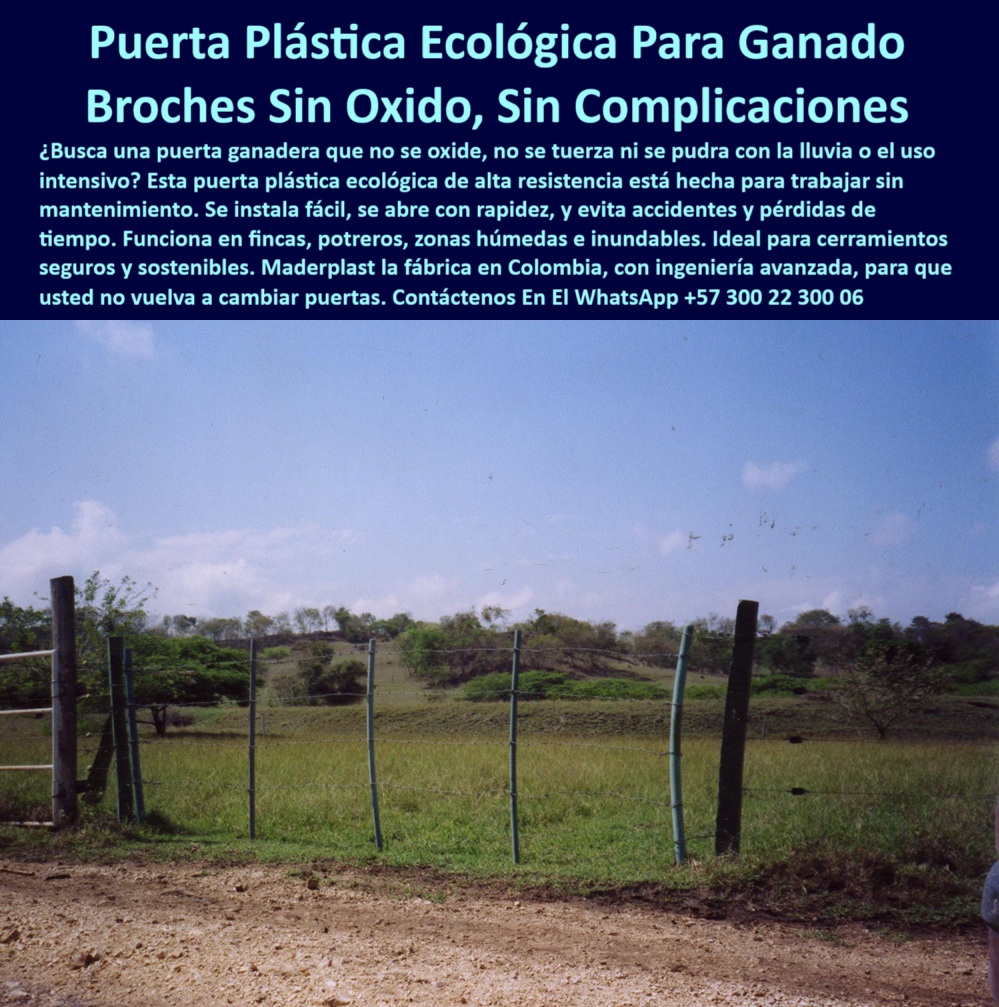 Broches Portón Plástico Para Ganado Puerta De Hato Ganadero Puerta Maderplast Tranca plástica sin riesgo de lesiones ni contaminación para animales., - portón reciclado con broche flexible, - ¿Dónde comprar cierre ecológico para hato?, - sistema de entrada ganadera sin metal, - broche de entrada sin oxidación ni riesgo de lesiones, - tranca plástica sin mantenimiento para potrero, - broche ecológico para finca rural ganadera, - puerta para potrero de paso continuo, - paso ganadero con cierre ecológico de plástico, - puerta sin torceduras para ganado bravo, - tranca sin hierro para portones ganaderos, - puerta de paso rápido sin riesgo animal, - poste verde flexible en potrero húmedo sin mantenimiento, - cierre plástico visible con soporte de postes livianos, - puerta rural con broche que no se oxida, - Solución rentable, segura y duradera para puertas ganaderas rurales., - #cerco-sin-mantenimiento, - #paso-de-vacas-sin-riesgos, - cierre para potrero que no se oxida, - sistema plástico para ganado intensivo, - #puerta-ganadera-sin-óxido, - puerta plástica rural con broche visible sin partes metálicas, - cerco plástico con broche en zonas inundables, - poste para portón con broche sin astillas, - tranca de plástico sin herrajes en zona ganadera tropical, - portón ganadero reciclado visible en vía rural colombiana, - No requiere mantenimiento ni ajustes, útil para potrero rotacional., - cierre ganadero sin soldaduras ni bisagras, - paso para ganado con cierre ecológico a presión, - Paisaje ganadero de sabana en Colombia con portón sin herrajes metálicos., - cierre rural sin oxidación para vacas, - broche ecológico ideal para vacas y terneros, - #puerta-plástica-con-broche, - #postes-plásticos-de-cierre, - Fácil de identificar por su color verde y forma curvada de presión., - broche sin metal para potrero ganadero, - postes verdes con sistema de cierre a presión, - #portón-ganadero-sin-metal, - estructura plástica para cierre sin herramientas, - ¿Qué puerta resiste lluvia y ganado?, - #broche-plástico-para-potrero, - ¿Cómo hacer portón plástico para finca?, - portón reciclado con tranca ecológica, - broche de presión para apertura rápida, - Broche ecológico que funciona en ambientes de alta humedad o lluvia., - sistema de potrero con apertura segura y rápida, - cierre ganadero de bajo mantenimiento y larga vida, - #cerramiento-para-ganado-rural, - Cierre plástico ecológico visible entre los postes, flexible y seguro., - puerta para hato sin óxido ni pintura, - sistema plástico de paso ganadero, - Postes verdes alineados, ligeros, resistentes al impacto y al barro., - #puerta-de-finca-resistente, - puerta para ganado sin partes metálicas, - estructura sin pintura ni soldadura para ganado, - Tecnología colombiana probada más de 15 años en potreros ganaderos., - postes ligeros para puerta de finca rural, - ¿Qué puerta usar para ganado sin óxido?, - poste plástico con puerta de cierre ecológico, - Cerco sin pintura, sin soldaduras, instalado en zona rural del Caribe colombiano., - ¿Cuál es el mejor broche para potrero?, - Puerta de hato sin óxido ni astillas, de fácil apertura manual., - postes ganaderos para clima húmedo y lluvia, - puerta_plástica_broche_sin_óxido_para_ganado_caribe_colombia.jpg, - La imagen muestra una puerta plástica ecológica instalada en una finca del Caribe colombiano, diseñada con postes y broches de alta ingeniería de Maderplast. Este sistema se adapta a potreros de alta humedad sin oxidarse, romperse ni deformarse, garantizando un acceso seguro y sin mantenimiento. La tranca se abre con facilidad y evita accidentes gracias a su diseño sin partes metálicas. Maderplast ofrece soluciones ecológicas que reemplazan puertas tradicionales, ideales para ganaderos que buscan durabilidad, economía y sostenibilidad. Perfecto para entradas rápidas en hatos ganaderos y rotación de potreros., - puerta plástica sin mantenimiento para ganado, - Instalación sin electricidad, ideal para fincas sin acceso a red., - puerta ecológica para finca sin electricidad, - #tranca-ecológica-para-finca 0 Puerta para ganado sin metal, - Tranca Plástica Rural, - Puerta de paso rápido para ganado, - Broche Ecológico para Finca, - Puerta potrero fácil abrirlas Broches Portón Plástico Para Ganado Puerta De Hato Ganadero Puerta Maderplast 0 Puerta para ganado sin metal Tranca Plástica Rural Puerta de paso rápido para ganado Broche Ecológico para Finca Puerta potrero fácil abrirlas Tranca plástica sin riesgo de lesiones ni contaminación para animales., - portón reciclado con broche flexible, - ¿Dónde comprar cierre ecológico para hato?, - sistema de entrada ganadera sin metal, - broche de entrada sin oxidación ni riesgo de lesiones, - tranca plástica sin mantenimiento para potrero, - broche ecológico para finca rural ganadera, - puerta para potrero de paso continuo, - paso ganadero con cierre ecológico de plástico, - puerta sin torceduras para ganado bravo, - tranca sin hierro para portones ganaderos, - puerta de paso rápido sin riesgo animal, - poste verde flexible en potrero húmedo sin mantenimiento, - cierre plástico visible con soporte de postes livianos, - puerta rural con broche que no se oxida, - Solución rentable, segura y duradera para puertas ganaderas rurales., - #cerco-sin-mantenimiento, - #paso-de-vacas-sin-riesgos, - cierre para potrero que no se oxida, - sistema plástico para ganado intensivo, - #puerta-ganadera-sin-óxido, - puerta plástica rural con broche visible sin partes metálicas, - cerco plástico con broche en zonas inundables, - poste para portón con broche sin astillas, - tranca de plástico sin herrajes en zona ganadera tropical, - portón ganadero reciclado visible en vía rural colombiana, - No requiere mantenimiento ni ajustes, útil para potrero rotacional., - cierre ganadero sin soldaduras ni bisagras, - paso para ganado con cierre ecológico a presión, - Paisaje ganadero de sabana en Colombia con portón sin herrajes metálicos., - cierre rural sin oxidación para vacas, - broche ecológico ideal para vacas y terneros, - #puerta-plástica-con-broche, - #postes-plásticos-de-cierre, - Fácil de identificar por su color verde y forma curvada de presión., - broche sin metal para potrero ganadero, - postes verdes con sistema de cierre a presión, - #portón-ganadero-sin-metal, - estructura plástica para cierre sin herramientas, - ¿Qué puerta resiste lluvia y ganado?, - #broche-plástico-para-potrero, - ¿Cómo hacer portón plástico para finca?, - portón reciclado con tranca ecológica, - broche de presión para apertura rápida, - Broche ecológico que funciona en ambientes de alta humedad o lluvia., - sistema de potrero con apertura segura y rápida, - cierre ganadero de bajo mantenimiento y larga vida, - #cerramiento-para-ganado-rural, - Cierre plástico ecológico visible entre los postes, flexible y seguro., - puerta para hato sin óxido ni pintura, - sistema plástico de paso ganadero, - Postes verdes alineados, ligeros, resistentes al impacto y al barro., - #puerta-de-finca-resistente, - puerta para ganado sin partes metálicas, - estructura sin pintura ni soldadura para ganado, - Tecnología colombiana probada más de 15 años en potreros ganaderos., - postes ligeros para puerta de finca rural, - ¿Qué puerta usar para ganado sin óxido?, - poste plástico con puerta de cierre ecológico, - Cerco sin pintura, sin soldaduras, instalado en zona rural del Caribe colombiano., - ¿Cuál es el mejor broche para potrero?, - Puerta de hato sin óxido ni astillas, de fácil apertura manual., - postes ganaderos para clima húmedo y lluvia, - puerta_plástica_broche_sin_óxido_para_ganado_caribe_colombia.jpg, - La imagen muestra una puerta plástica ecológica instalada en una finca del Caribe colombiano, diseñada con postes y broches de alta ingeniería de Maderplast. Este sistema se adapta a potreros de alta humedad sin oxidarse, romperse ni deformarse, garantizando un acceso seguro y sin mantenimiento. La tranca se abre con facilidad y evita accidentes gracias a su diseño sin partes metálicas. Maderplast ofrece soluciones ecológicas que reemplazan puertas tradicionales, ideales para ganaderos que buscan durabilidad, economía y sostenibilidad. Perfecto para entradas rápidas en hatos ganaderos y rotación de potreros., - puerta plástica sin mantenimiento para ganado, - Instalación sin electricidad, ideal para fincas sin acceso a red., - puerta ecológica para finca sin electricidad, - #tranca-ecológica-para-finca 0 Broches Portón Plástico Para Ganado Puerta De Hato Ganadero Puerta Maderplast 0 Puerta para ganado sin metal, - Tranca Plástica Rural, - Puerta de paso rápido para ganado, - Broche Ecológico para Finca, - Puerta potrero fácil abrirlas