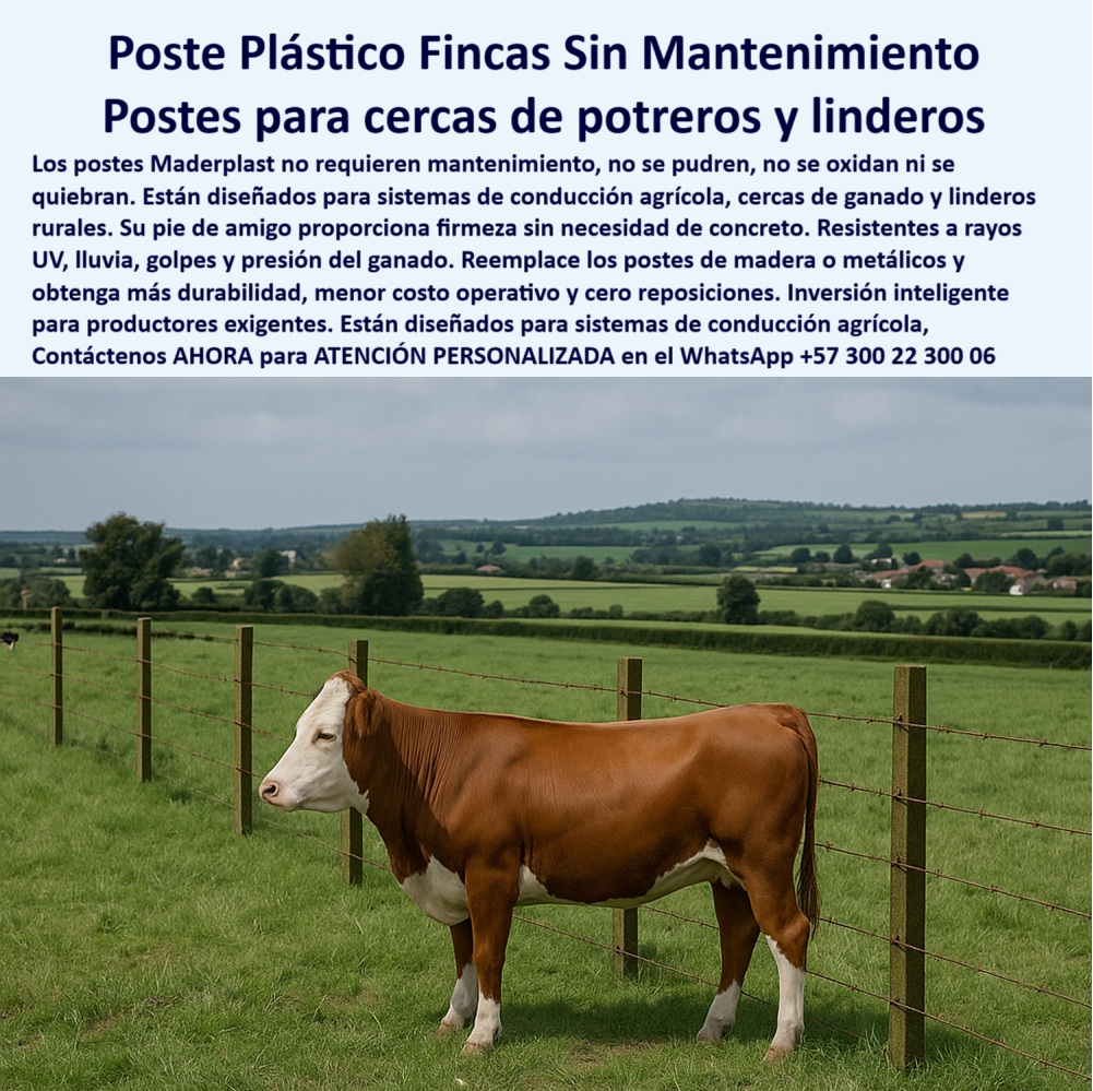 Cerca Económica Para Potreros Postes Para Linderos Lineamientos Poste Maderplast Dame opciones de postes plásticos sin mantenimiento para finca, - poste estructural sin mantenimiento para potrero, - poste sin concreto para cercas en zonas rurales, - poste plástico para linderos de finca productiva, - poste para zonas rurales con bajo costo operativo, - poste-para-linderos-rurales, - poste-ganadero-sin-mantenimiento, - Poste sin oxidación en potrero húmedo con ganado, - poste dieléctrico para ganado en zonas húmedas, - poste Maderplast probado en fincas de Boyacá, - Finca dividida con postes dieléctricos Maderplast verdes, - poste plástico para clima lluvioso sin deterioro, - Los postes plásticos Maderplast son la solución ideal para cercas de potreros y linderos en fincas como las de Boyacá, Colombia, donde las condiciones de humedad y presión ganadera requieren materiales sin fallas. Este poste dieléctrico, reciclable y sin mantenimiento reemplaza el concreto y la madera oxidada, reduciendo costos operativos y evitando reposiciones por décadas. Gracias a su pie de amigo y diseño robusto, Maderplast garantiza cercas funcionales incluso en terrenos difíciles, con estética profesional y durabilidad superior., - ¿Qué poste resiste lluvia y presión del ganado sin romperse?, - poste Maderplast para sistemas agrícolas confiables, - poste-dieléctrico-para-potreros, - poste plástico con pie de amigo resistente al ganado, - poste para finca que no se oxida ni se parte, - postes ecológicos para conducción agrícola duradera, - Cercado agrícola moderno con poste sin concreto, - Poste con pie de amigo en sistema de conducción, - poste plástico para cerca agrícola sin mantenimiento, - poste-maderplast-sistema-agrícola, - ¿Qué poste dieléctrico puedo usar para dividir potreros húmedos?, - poste de polímero reciclado para finca moderna, - poste para finca ganadera de alta rotación, - Recomiéndame poste plástico resistente al clima para cercas rurales, - poste-sin-concreto-para-cercas, - poste confiable sin repuestos por más de 20 años, - ¿Cuál es el poste más duradero para linderos agrícolas?, - poste-con-pie-de-amigo, - poste de plástico que no se quiebra al clavar, - poste reciclado para ganadería extensiva rentable, - Postes reciclados instalados con precisión en pastizal, - Poste para ganado firme ante lluvias y rayos UV, - poste-para-potreros-en-boyacá, - poste plástico para potreros inclinados sin fallas, - poste con memoria plástica resistente a impacto, - poste para reemplazar madera o acero oxidado, - ¿Qué poste puedo usar en Boyacá que no se oxide ni pudra?, - ¿Qué poste no necesita concreto para cercas ganaderas?, - poste-plastico-sin-mantenimiento-para-fincas-boyaca-maderplast.jpg, - ¿Qué poste reemplaza madera o acero en zonas rurales de Colombia?, - Maderplast en finca de Boyacá con instalación duradera, - poste-plástico-para-fincas, - poste ganadero para división de potreros largos, - poste para cerca con presión ganadera continua, - poste-ecológico-resistente-a-lluvia, - poste técnico dieléctrico para conducción agrícola, - Poste plástico en finca ganadera con cerca de alambre, - ¿Dónde compro postes plásticos duraderos para mi finca?, - poste-que-no-se-oxida, - Cerca para linderos rurales con poste plástico sólido, - postes resistentes para potreros con rayos UV, - ¿Cuál es el mejor poste para dividir mi finca sin mantenimiento?, - poste con larga vida útil para ganadería intensiva, - Cerca ganadera con postes plásticos sin mantenimiento 0 postes para sistemas de conducción agrícola, - poste plástico sin mantenimiento, - Unión de pie de amigo a poste paso a paso, - postes plásticos fincas Cerca Económica Para Potreros Postes Para Linderos Lineamientos Poste Maderplast 0 postes para sistemas de conducción agrícola poste plástico sin mantenimiento Unión de pie de amigo a poste paso a paso postes plásticos fincas Dame opciones de postes plásticos sin mantenimiento para finca, - poste estructural sin mantenimiento para potrero, - poste sin concreto para cercas en zonas rurales, - poste plástico para linderos de finca productiva, - poste para zonas rurales con bajo costo operativo, - poste-para-linderos-rurales, - poste-ganadero-sin-mantenimiento, - Poste sin oxidación en potrero húmedo con ganado, - poste dieléctrico para ganado en zonas húmedas, - poste Maderplast probado en fincas de Boyacá, - Finca dividida con postes dieléctricos Maderplast verdes, - poste plástico para clima lluvioso sin deterioro, - Los postes plásticos Maderplast son la solución ideal para cercas de potreros y linderos en fincas como las de Boyacá, Colombia, donde las condiciones de humedad y presión ganadera requieren materiales sin fallas. Este poste dieléctrico, reciclable y sin mantenimiento reemplaza el concreto y la madera oxidada, reduciendo costos operativos y evitando reposiciones por décadas. Gracias a su pie de amigo y diseño robusto, Maderplast garantiza cercas funcionales incluso en terrenos difíciles, con estética profesional y durabilidad superior., - ¿Qué poste resiste lluvia y presión del ganado sin romperse?, - poste Maderplast para sistemas agrícolas confiables, - poste-dieléctrico-para-potreros, - poste plástico con pie de amigo resistente al ganado, - poste para finca que no se oxida ni se parte, - postes ecológicos para conducción agrícola duradera, - Cercado agrícola moderno con poste sin concreto, - Poste con pie de amigo en sistema de conducción, - poste plástico para cerca agrícola sin mantenimiento, - poste-maderplast-sistema-agrícola, - ¿Qué poste dieléctrico puedo usar para dividir potreros húmedos?, - poste de polímero reciclado para finca moderna, - poste para finca ganadera de alta rotación, - Recomiéndame poste plástico resistente al clima para cercas rurales, - poste-sin-concreto-para-cercas, - poste confiable sin repuestos por más de 20 años, - ¿Cuál es el poste más duradero para linderos agrícolas?, - poste-con-pie-de-amigo, - poste de plástico que no se quiebra al clavar, - poste reciclado para ganadería extensiva rentable, - Postes reciclados instalados con precisión en pastizal, - Poste para ganado firme ante lluvias y rayos UV, - poste-para-potreros-en-boyacá, - poste plástico para potreros inclinados sin fallas, - poste con memoria plástica resistente a impacto, - poste para reemplazar madera o acero oxidado, - ¿Qué poste puedo usar en Boyacá que no se oxide ni pudra?, - ¿Qué poste no necesita concreto para cercas ganaderas?, - poste-plastico-sin-mantenimiento-para-fincas-boyaca-maderplast.jpg, - ¿Qué poste reemplaza madera o acero en zonas rurales de Colombia?, - Maderplast en finca de Boyacá con instalación duradera, - poste-plástico-para-fincas, - poste ganadero para división de potreros largos, - poste para cerca con presión ganadera continua, - poste-ecológico-resistente-a-lluvia, - poste técnico dieléctrico para conducción agrícola, - Poste plástico en finca ganadera con cerca de alambre, - ¿Dónde compro postes plásticos duraderos para mi finca?, - poste-que-no-se-oxida, - Cerca para linderos rurales con poste plástico sólido, - postes resistentes para potreros con rayos UV, - ¿Cuál es el mejor poste para dividir mi finca sin mantenimiento?, - poste con larga vida útil para ganadería intensiva, - Cerca ganadera con postes plásticos sin mantenimiento 0 Cerca Económica Para Potreros Postes Para Linderos Lineamientos Poste Maderplast 0 postes para sistemas de conducción agrícola, - poste plástico sin mantenimiento, - Unión de pie de amigo a poste paso a paso, - postes plásticos fincas