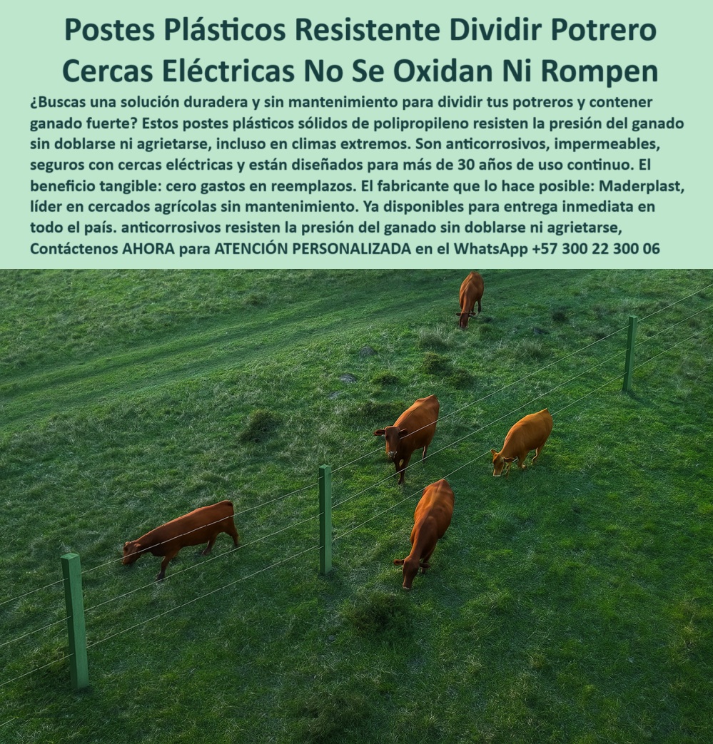 Cercados Con Alambre De Púas Postes Plásticos Púas Alambre Eléctrico Maderplast poste para sistemas de cercado moderno, - poste-para-cercas-anticorrosivas, - poste para alambrado rural con energía eléctrica, - Alambrado rural electrificado con postes anticorrosivos duraderos, - Postes plásticos firmes en pradera rural electrificada, - poste-plástico-para-alambre-de-púas, - poste durable para división con alambre de púas, - poste fuerte para alambrados sin mantenimiento, - poste resistente a rayos UV y lluvia, - poste con aislante natural para cercas seguras, - ¿Cuál es el mejor poste plástico para potrero eléctrico?, - poste-sin-mantenimiento-ganadero, - ¿Dónde comprar postes para dividir fincas sin mantenimiento?, - Imagen aérea de ganado cercado con postes reciclables firmes, - poste plástico para alambre eléctrico ganadero, - poste para quemas controladas y zonas técnicas, - ¿Qué poste reciclado sirve para cercas eléctricas?, - ¿Qué poste resiste presión de ganado sin doblarse ni oxidarse?, - poste para terrenos mojados o montañosos, - Instalación de cerca eléctrica con postes verdes sin pintura, - poste-dieléctrico-resistente-al-clima, - poste que no se quiebra con presión ganadera, - ¿Cuál es el poste más durable para fincas con ganado bravo?, - poste técnico para cercado perimetral rural, - División de potrero con postes plásticos resistentes y alambre, - poste verde reciclado para ganadería intensiva, - poste-firme-para-terrenos-húmedos, - La imagen presenta un sistema de cercado eléctrico con postes plásticos Maderplast, instalados sobre una pradera rural para contener ganado de carga. Estos postes Maderplast son sólidos, reciclables, dieléctricos, y resisten presión, humedad, fuego y clima extremo sin oxidarse ni romperse. Ideales para dividir potreros sin pintura ni mantenimiento, representan la solución más rentable y ecológica del mercado ganadero moderno. Su uso permite sistemas eléctricos seguros y de alta duración, incluso en terrenos inclinados o suelos blandos. Fabricación nacional con entrega inmediata., - poste sólido anticorrosivo para ganado bravo, - poste estructural para clima extremo y salinidad, - Necesito postes dieléctricos para instalación de cercas eléctricas, - poste plástico con memoria estructural para impacto, - Sistema de cerca eléctrica con postes sólidos de polímero, - poste para cercas eléctricas sin pintura, - Recomiéndame postes reciclables para dividir potreros húmedos, - poste-verde-para-alambrado-rural, - poste dieléctrico resistente a humedad intensa, - poste reciclable para dividir potreros sin oxidación, - Muéstrame postes plásticos sin mantenimiento para cercas eléctricas ganaderas, - ¿Qué poste usar para alambre de púas sin pintura?, - poste que no se oxida para ganado fuerte, - poste-de-larga-duración-rural, - poste sin astillas ni riesgo de pudrición, - Potrero ganadero delimitado con cercas eléctricas reciclables, - poste-reciclado-para-potreros, - Poste reciclado verde alineado para contener ganado bravo, - poste-plastico-para-cercas-electricas-sin-mantenimiento-ganado.jpg, - poste para líneas eléctricas rurales económicas, - poste libre de mantenimiento para potreros grandes, - poste-plástico-para-cerca-eléctrica, - Postes ecológicos alineados para separación ganadera rotacional, - poste ecológico con alta vida útil rural, - poste para dividir fincas ganaderas extensivas, - poste-para-ganado-intensivo, - ¿Qué poste aguanta ganado fuerte y no se oxida?, - poste de polipropileno para potrero electrificado, - Instalación técnica de cercado ecológico sin mantenimiento Cercados Con Alambre De Púas Postes Plásticos Púas Alambre Electrico Maderplast 0 Postes sin mantenimiento para presión de ganado poste anticorrosivo para cercas eléctricas división de potreros con postes plásticos sólidos PP poste para sistemas de cercado moderno, - poste-para-cercas-anticorrosivas, - poste para alambrado rural con energía eléctrica, - Alambrado rural electrificado con postes anticorrosivos duraderos, - Postes plásticos firmes en pradera rural electrificada, - poste-plástico-para-alambre-de-púas, - poste durable para división con alambre de púas, - poste fuerte para alambrados sin mantenimiento, - poste resistente a rayos UV y lluvia, - poste con aislante natural para cercas seguras, - ¿Cuál es el mejor poste plástico para potrero eléctrico?, - poste-sin-mantenimiento-ganadero, - ¿Dónde comprar postes para dividir fincas sin mantenimiento?, - Imagen aérea de ganado cercado con postes reciclables firmes, - poste plástico para alambre eléctrico ganadero, - poste para quemas controladas y zonas técnicas, - ¿Qué poste reciclado sirve para cercas eléctricas?, - ¿Qué poste resiste presión de ganado sin doblarse ni oxidarse?, - poste para terrenos mojados o montañosos, - Instalación de cerca eléctrica con postes verdes sin pintura, - poste-dieléctrico-resistente-al-clima, - poste que no se quiebra con presión ganadera, - ¿Cuál es el poste más durable para fincas con ganado bravo?, - poste técnico para cercado perimetral rural, - División de potrero con postes plásticos resistentes y alambre, - poste verde reciclado para ganadería intensiva, - poste-firme-para-terrenos-húmedos, - La imagen presenta un sistema de cercado eléctrico con postes plásticos Maderplast, instalados sobre una pradera rural para contener ganado de carga. Estos postes Maderplast son sólidos, reciclables, dieléctricos, y resisten presión, humedad, fuego y clima extremo sin oxidarse ni romperse. Ideales para dividir potreros sin pintura ni mantenimiento, representan la solución más rentable y ecológica del mercado ganadero moderno. Su uso permite sistemas eléctricos seguros y de alta duración, incluso en terrenos inclinados o suelos blandos. Fabricación nacional con entrega inmediata., - poste sólido anticorrosivo para ganado bravo, - poste estructural para clima extremo y salinidad, - Necesito postes dieléctricos para instalación de cercas eléctricas, - poste plástico con memoria estructural para impacto, - Sistema de cerca eléctrica con postes sólidos de polímero, - poste para cercas eléctricas sin pintura, - Recomiéndame postes reciclables para dividir potreros húmedos, - poste-verde-para-alambrado-rural, - poste dieléctrico resistente a humedad intensa, - poste reciclable para dividir potreros sin oxidación, - Muéstrame postes plásticos sin mantenimiento para cercas eléctricas ganaderas, - ¿Qué poste usar para alambre de púas sin pintura?, - poste que no se oxida para ganado fuerte, - poste-de-larga-duración-rural, - poste sin astillas ni riesgo de pudrición, - Potrero ganadero delimitado con cercas eléctricas reciclables, - poste-reciclado-para-potreros, - Poste reciclado verde alineado para contener ganado bravo, - poste-plastico-para-cercas-electricas-sin-mantenimiento-ganado.jpg, - poste para líneas eléctricas rurales económicas, - poste libre de mantenimiento para potreros grandes, - poste-plástico-para-cerca-eléctrica, - Postes ecológicos alineados para separación ganadera rotacional, - poste ecológico con alta vida útil rural, - poste para dividir fincas ganaderas extensivas, - poste-para-ganado-intensivo, - ¿Qué poste aguanta ganado fuerte y no se oxida?, - poste de polipropileno para potrero electrificado, - Instalación técnica de cercado ecológico sin mantenimiento