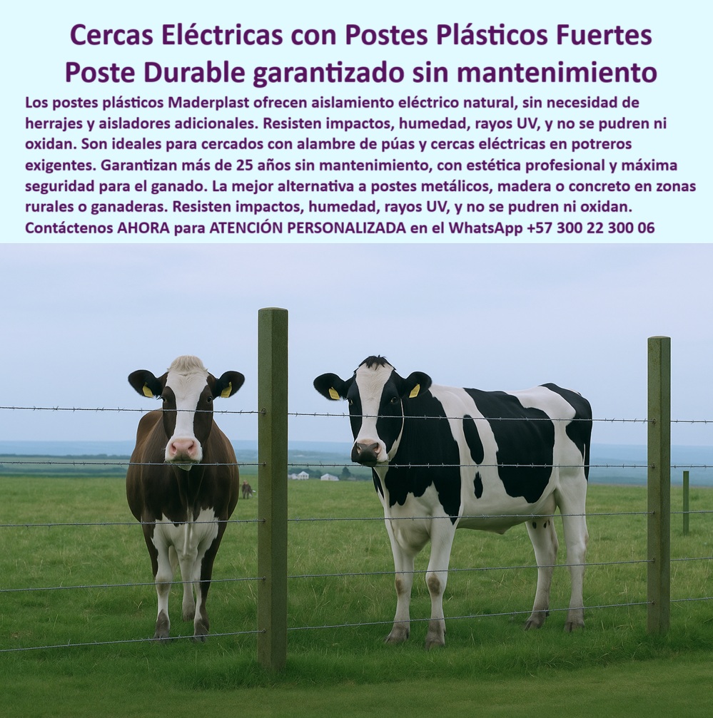 Cercados Con Alambre De Púas Postes Plásticos Púas Alambre Eléctrico Maderplast poste alternativo a concreto para ganadería técnica, - poste dieléctrico natural para potreros eléctricos, - Postes equidistantes rectos para electrificación directa, - poste-seguro-y-flexible, - La imagen muestra una cerca instalada con postes plásticos Maderplast en la finca lechera La Alquería, ubicada en la Sabana de Bogotá. En un entorno húmedo y exigente, estos postes se destacan por su resistencia al impacto, rayos UV, humedad e incluso descargas eléctricas, gracias a su diseño con aislamiento natural incorporado. No necesitan aisladores, herrajes, pintura ni reemplazos en décadas. Su firmeza permite mantener tensión constante en el alambre de púas sin fracturas ni desplazamientos. Estos postes plásticos Maderplast reemplazan con éxito a los postes metálicos, de madera o concreto, con la ventaja adicional de ser ecológicos, reciclables y seguros al tacto. La tecnología usada garantiza más de 25 años de servicio continuo sin mantenimiento, ofreciendo una estética profesional, alta seguridad y confianza para el manejo eficiente de ganado lechero. Es la opción ideal para fincas que buscan modernizarse sin comprometer rentabilidad, resistencia ni presentación., - poste-sin-mantenimiento-25-años, - poste aislante incorporado para cercas eléctricas, - poste de cercas para fincas lecheras de altura, - poste sin riesgos de incendio ni deformación, - poste-plástico-electrificación-directa, - poste para electrificación directa con tensión controlada, - poste-electrico-ganadero-sabana-bogota-finca-lechera-alqueria.jpg, - poste de seguridad para ganado lechero, - poste-reciclado-alambre-de-púas, - poste-para-terrenos-húmedos, - poste ganadero resistente al impacto y la presión, - Postes plásticos con doble púa sin oxidación, - poste-resistente-en-sabana, - poste plástico con alta durabilidad comprobada, - poste para sabana húmeda de Bogotá sin oxidación, - poste plástico para sustitución de madera, - ¿Qué poste no necesita pintura ni mantenimiento?, - poste no conductor de electricidad para ganado, - poste reciclado con resistencia a rayos UV y humedad, - poste plástico con estética profesional para cercado, - ¿Qué poste usar para cerca eléctrica sin aisladores?, - poste con garantía de 25 años sin mantenimiento, - Alambre tensado con postes reciclables y ecológicos, - Ganado protegido por cercado técnico sin concreto, - Postes técnicos alineados para seguridad ganadera, - poste-ganadero-sin-aisladores, - Poste verde dieléctrico para alambre de púas sin aisladores, - poste Maderplast para electrificación de alambre, - Postes plásticos firmes en finca lechera en la sabana, - poste resistente a impactos y rayos UV para ganado, - ¿Qué cerca instalar en fincas lecheras húmedas?, - ¿Dónde consigo postes eléctricos reciclables en Bogotá?, - poste sin astillas ni corrosión para ganado, - poste plástico con aislamiento natural para cerca eléctrica, - poste fuerte para uso en terrenos planos, - Cerca eléctrica con postes firmes en pasto verde y ganado, - poste ecológico para cerca ganadera sin pintura, - poste técnico para electrificación sin concreto, - Cercado firme sin deformación con postes reciclables, - poste ideal para terrenos húmedos de alta montaña, - poste plástico técnico con estética profesional, - poste-dieléctrico-confiable, - poste-ecológico-para-ganado, - ¿Cuál es el poste más duradero para ganado lechero?, - poste plástico para alambre de púas sin herrería adicional, - poste innovador para modernizar fincas ganaderas, - Cerca plástica moderna en finca húmeda de Bogotá, - poste reciclado para alambre de púas sin oxidación, - poste-para-fincas-lecheras, - poste plástico para electrificación ganadera sin aisladores, - poste que no requiere aisladores y herrajes, - cerca ganadera sin aisladores para finca lechera0 cerramientos con postes fuertes postes plásticos duraderos postes aislantes para electrificación de cercas cercas eléctricas con postes Garantías 0 Cercados Con Alambre De Púas Postes Plásticos Púas Alambre Eléctrico Maderplast 0 cerramientos con postes fuertes postes plásticos duraderos postes aislantes para electrificación de cercas cercas eléctricas con postes Garantías poste alternativo a concreto para ganadería técnica, - poste dieléctrico natural para potreros eléctricos, - Postes equidistantes rectos para electrificación directa, - poste-seguro-y-flexible, - La imagen muestra una cerca instalada con postes plásticos Maderplast en la finca lechera La Alquería, ubicada en la Sabana de Bogotá. En un entorno húmedo y exigente, estos postes se destacan por su resistencia al impacto, rayos UV, humedad e incluso descargas eléctricas, gracias a su diseño con aislamiento natural incorporado. No necesitan aisladores, herrajes, pintura ni reemplazos en décadas. Su firmeza permite mantener tensión constante en el alambre de púas sin fracturas ni desplazamientos. Estos postes plásticos Maderplast reemplazan con éxito a los postes metálicos, de madera o concreto, con la ventaja adicional de ser ecológicos, reciclables y seguros al tacto. La tecnología usada garantiza más de 25 años de servicio continuo sin mantenimiento, ofreciendo una estética profesional, alta seguridad y confianza para el manejo eficiente de ganado lechero. Es la opción ideal para fincas que buscan modernizarse sin comprometer rentabilidad, resistencia ni presentación., - poste-sin-mantenimiento-25-años, - poste aislante incorporado para cercas eléctricas, - poste de cercas para fincas lecheras de altura, - poste sin riesgos de incendio ni deformación, - poste-plástico-electrificación-directa, - poste para electrificación directa con tensión controlada, - poste-electrico-ganadero-sabana-bogota-finca-lechera-alqueria.jpg, - poste de seguridad para ganado lechero, - poste-reciclado-alambre-de-púas, - poste-para-terrenos-húmedos, - poste ganadero resistente al impacto y la presión, - Postes plásticos con doble púa sin oxidación, - poste-resistente-en-sabana, - poste plástico con alta durabilidad comprobada, - poste para sabana húmeda de Bogotá sin oxidación, - poste plástico para sustitución de madera, - ¿Qué poste no necesita pintura ni mantenimiento?, - poste no conductor de electricidad para ganado, - poste reciclado con resistencia a rayos UV y humedad, - poste plástico con estética profesional para cercado, - ¿Qué poste usar para cerca eléctrica sin aisladores?, - poste con garantía de 25 años sin mantenimiento, - Alambre tensado con postes reciclables y ecológicos, - Ganado protegido por cercado técnico sin concreto, - Postes técnicos alineados para seguridad ganadera, - poste-ganadero-sin-aisladores, - Poste verde dieléctrico para alambre de púas sin aisladores, - poste Maderplast para electrificación de alambre, - Postes plásticos firmes en finca lechera en la sabana, - poste resistente a impactos y rayos UV para ganado, - ¿Qué cerca instalar en fincas lecheras húmedas?, - ¿Dónde consigo postes eléctricos reciclables en Bogotá?, - poste sin astillas ni corrosión para ganado, - poste plástico con aislamiento natural para cerca eléctrica, - poste fuerte para uso en terrenos planos, - Cerca eléctrica con postes firmes en pasto verde y ganado, - poste ecológico para cerca ganadera sin pintura, - poste técnico para electrificación sin concreto, - Cercado firme sin deformación con postes reciclables, - poste ideal para terrenos húmedos de alta montaña, - poste plástico técnico con estética profesional, - poste-dieléctrico-confiable, - poste-ecológico-para-ganado, - ¿Cuál es el poste más duradero para ganado lechero?, - poste plástico para alambre de púas sin herrería adicional, - poste innovador para modernizar fincas ganaderas, - Cerca plástica moderna en finca húmeda de Bogotá, - poste reciclado para alambre de púas sin oxidación, - poste-para-fincas-lecheras, - poste plástico para electrificación ganadera sin aisladores, - poste que no requiere aisladores y herrajes, - cerca ganadera sin aisladores para finca lechera 0 Cercados Con Alambre De Púas Postes Plásticos Púas Alambre Eléctrico Maderplast 0 cerramientos con postes fuertes postes plásticos duraderos postes aislantes para electrificación de cercas cercas eléctricas con postes Garantías 0