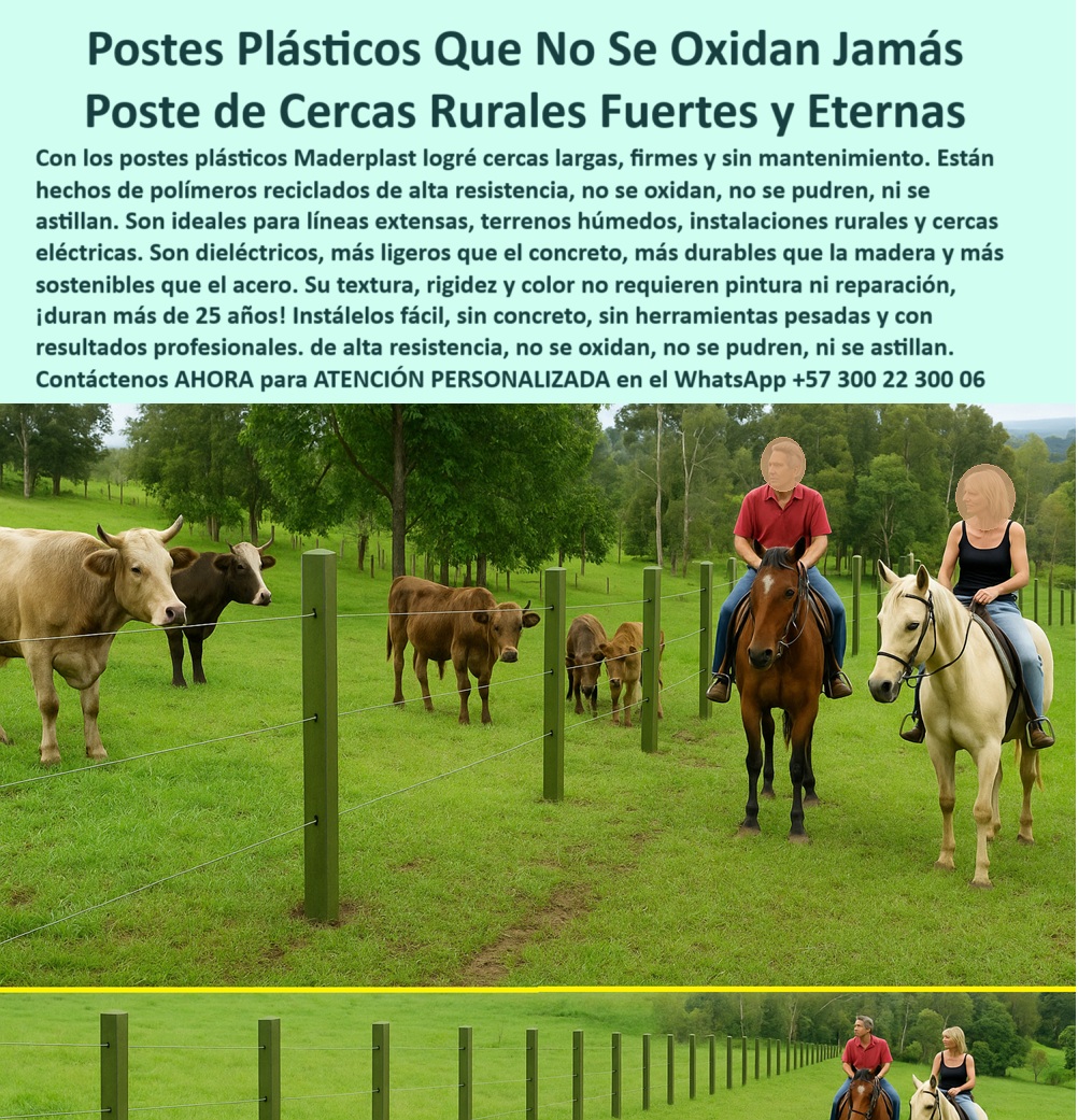 Cercados Con Alambre De Púas Postes Plásticos Púas Alambre Eléctrico Maderplast poste de polímero reciclado para cercas, - poste para alambre de púas sin aislador, - poste sin pintura ni aisladores para ganado, - poste-para-cercas-en-praderas, - Estructura de cerca segura para animales y jinetes, - poste sin pintura ni soldadura, - ¿Cuál es el mejor poste sin mantenimiento?, - ¿Postes para alambre de púas económicos?, - Postes verdes alineados en finca con vacas y jinetes, - poste-plástico-para-cerca-rural-sin-mantenimiento.jpg, - poste para líneas rectas de potrero, - poste para uso rudo en campo abierto, - poste dieléctrico para cerca eléctrica, - poste para largo alcance sin concreto, - poste-plástico-para-cercas, - poste-rígido-y-liviano, - poste-de-larga-duración, - poste sin óxido para zonas rurales, - poste ecológico para cercas eléctricas rurales, - poste de alto impacto visual en finca, - Ganado pastando junto a cerca limpia sin aisladores, - poste para cerca en pastos húmedos, - poste fácil de instalar para ganadería, - poste de larga duración rural, - ¿Qué poste usar para fincas húmedas?, - poste firme para terrenos blandos, - Línea de cerca sin fallos con postes plásticos verdes, - poste seguro para cercas de ganado, - poste-reciclado-rural, - poste-sin-mantenimiento, - La foto muestra una imagen real de una cerca rural instalada con postes plásticos en una finca ganadera, donde se observan caballos montados y ganado pastando en armonía. Los postes, alineados con precisión sobre un terreno verde y húmedo, se mantienen firmes sin necesidad de pintura, concreto ni aisladores. Fabricados con polímeros reciclados de alta ingeniería, ofrecen una solución limpia, estética y segura. Su color verde integral se fusiona con el paisaje, mientras que su rigidez y memoria estructural permiten una tensión constante en el alambre. Esta instalación demuestra cómo el campo puede tecnificarse sin sacrificar lo natural. Maderplast ha creado estos postes para durar más de 25 años sin oxido ni fracturas. Su instalación es fácil y sin herramientas pesadas. Usar postes Maderplast es una inversión ganadera que se ve y se siente desde la entrada del predio. Ideal para fincas modernas que buscan eficiencia sostenible., - poste estructural liviano para campo, - poste-contra-óxido-y-humedad, - ¿Qué cerca usar para ganado y caballos?, - poste ecológico sin mantenimiento para finca, - poste verde para praderas y fincas, - Cercado ecológico funcional y duradero en finca rural, - poste resistente al sol y la lluvia, - poste que no se astilla ni se pudre, - poste resistente a rayos UV y jalones, - poste económico y de alto rendimiento, - instalación de cercas largas con postes verdes, - ¿Cómo cercar con postes reciclados?, - Postes sin pintura en cerca rural de gran extensión, - poste-dieléctrico-sin-aislador, - poste-para-caballos-y-vacas, - Postes rectos sobre pasto verde intenso sin concreto, - poste para caballerizas y potreros, - cercado de finca con poste reciclado duradero, - poste-para-cercas-económicas, - Caballos y ganado junto a cerca verde con postes plásticos, - Cerca ganadera firme en campo húmedo con postes reciclados, - Postes rurales resistentes con mínimo impacto visual, - poste de ganadería regenerativa sostenible, - poste para dividir fincas en terrenos inclinados, - poste para dividir terrenos agrícolas, - poste plástico para cerca rural duradera0 cómo-colocar-postes-en-líneas-largas, - estructuras de cerca con polímeros reciclados, - instalación de cercas económicas en fincas, rectificar-tensión Cercados Con Alambre De Púas Postes Plásticos Púas Alambre Eléctrico Maderplast 0 cómo colocar postes en líneas largas estructuras de cerca con polímeros reciclados instalación de cercas económicas en fincas rectificar tensión 0 poste de polímero reciclado para cercas, - poste para alambre de púas sin aislador, - poste sin pintura ni aisladores para ganado, - poste-para-cercas-en-praderas, - Estructura de cerca segura para animales y jinetes, - poste sin pintura ni soldadura, - ¿Cuál es el mejor poste sin mantenimiento?, - ¿Postes para alambre de púas económicos?, - Postes verdes alineados en finca con vacas y jinetes, - poste-plástico-para-cerca-rural-sin-mantenimiento.jpg, - poste para líneas rectas de potrero, - poste para uso rudo en campo abierto, - poste dieléctrico para cerca eléctrica, - poste para largo alcance sin concreto, - poste-plástico-para-cercas, - poste-rígido-y-liviano, - poste-de-larga-duración, - poste sin óxido para zonas rurales, - poste ecológico para cercas eléctricas rurales, - poste de alto impacto visual en finca, - Ganado pastando junto a cerca limpia sin aisladores, - poste para cerca en pastos húmedos, - poste fácil de instalar para ganadería, - poste de larga duración rural, - ¿Qué poste usar para fincas húmedas?, - poste firme para terrenos blandos, - Línea de cerca sin fallos con postes plásticos verdes, - poste seguro para cercas de ganado, - poste-reciclado-rural, - poste-sin-mantenimiento, - La foto muestra una imagen real de una cerca rural instalada con postes plásticos en una finca ganadera, donde se observan caballos montados y ganado pastando en armonía. Los postes, alineados con precisión sobre un terreno verde y húmedo, se mantienen firmes sin necesidad de pintura, concreto ni aisladores. Fabricados con polímeros reciclados de alta ingeniería, ofrecen una solución limpia, estética y segura. Su color verde integral se fusiona con el paisaje, mientras que su rigidez y memoria estructural permiten una tensión constante en el alambre. Esta instalación demuestra cómo el campo puede tecnificarse sin sacrificar lo natural. Maderplast ha creado estos postes para durar más de 25 años sin oxido ni fracturas. Su instalación es fácil y sin herramientas pesadas. Usar postes Maderplast es una inversión ganadera que se ve y se siente desde la entrada del predio. Ideal para fincas modernas que buscan eficiencia sostenible., - poste estructural liviano para campo, - poste-contra-óxido-y-humedad, - ¿Qué cerca usar para ganado y caballos?, - poste ecológico sin mantenimiento para finca, - poste verde para praderas y fincas, - Cercado ecológico funcional y duradero en finca rural, - poste resistente al sol y la lluvia, - poste que no se astilla ni se pudre, - poste resistente a rayos UV y jalones, - poste económico y de alto rendimiento, - instalación de cercas largas con postes verdes, - ¿Cómo cercar con postes reciclados?, - Postes sin pintura en cerca rural de gran extensión, - poste-dieléctrico-sin-aislador, - poste-para-caballos-y-vacas, - Postes rectos sobre pasto verde intenso sin concreto, - poste para caballerizas y potreros, - cercado de finca con poste reciclado duradero, - poste-para-cercas-económicas, - Caballos y ganado junto a cerca verde con postes plásticos, - Cerca ganadera firme en campo húmedo con postes reciclados, - Postes rurales resistentes con mínimo impacto visual, - poste de ganadería regenerativa sostenible, - poste para dividir fincas en terrenos inclinados, - poste para dividir terrenos agrícolas, - poste plástico para cerca rural duradera