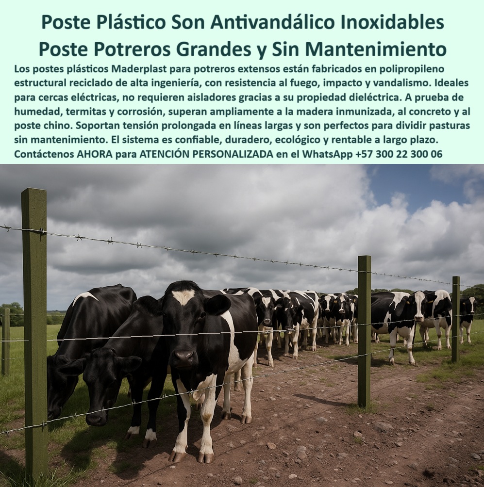 Cercados Con Alambre De Púas Postes Plásticos Púas Alambre Eléctrico Maderplast Cercado con alambre de púas y postes antivandálicos, - Poste ecológico con tensión prolongada en líneas ganaderas, - poste de polipropileno para potreros sin mantenimiento, - ¿Dónde venden postes resistentes al fuego y al clima?, - poste-antivandalico-para-ganado, - Poste plástico resistente para cercas eléctricas en potreros, - postes-para-ganaderia-extensiva, - poste plástico resistente al fuego y la intemperie, - poste ligero para dividir pasturas sin concreto, - poste plástico para potrero con alambre de púas, - Cerramiento rural seguro con postes sin aisladores, - poste inmune a vandalismo para fincas ganaderas, - poste reciclado con propiedad dieléctrica ganadera, - poste de polímero estructural para divisiones rurales, - poste plástico con larga vida útil para cercas, - ¿Qué poste no se oxida ni se rompe para ganado?, - poste sin oxidación para ganadería intensiva, - ¿Qué poste combina durabilidad y seguridad en zonas rurales?, - poste anticorrosivo para cercado agroindustrial, - poste dieléctrico para cerca eléctrica sin aisladores, - Postes de polipropileno reciclado para ganadería moderna, - cercas-electricas-sin-aislador, - poste para ganado sin mantenimiento periódico, - poste para cercas plásticas de alta ingeniería, - poste durable para cercado con alambre eléctrico, - poste-plastico-dielectrico-para-cerca-electrica-de-potreros.jpg, - poste plástico reciclado para división de pasturas, - poste-dielectrico-para-cercas, - poste-plastico-para-potreros, - Solución plástica estructural para cercas rurales extensas, - poste técnico para uso agroganadero sostenible, - poste de alta resistencia para alambre de púas, - poste-reciclado-para-division-rural, - poste-de-polipropileno-industrial, - poste con resistencia UV y a químicos, - poste para cercas eléctricas sin aislador adicional, - ¿Qué poste es seguro y sin mantenimiento para potreros?, - poste-ecológico-contra-corrosión, - poste-para-alambre-de-púas, - La imagen muestra un potrero extensivo con cercado ganadero en alambre de púas, soportado por postes plásticos Maderplast alineados en intervalos amplios. Estos postes están fabricados con polipropileno estructural reciclado, lo que los hace altamente resistentes a la humedad, el vandalismo, la corrosión y los rayos UV. No requieren aisladores gracias a su propiedad dieléctrica, y su diseño permite una instalación sin mantenimiento por más de 25 años. Maderplast garantiza una solución rentable, ecológica y segura para dividir pasturas, contener ganado y electrificar cercas con confianza. Maderplast supera ampliamente a postes de madera, concreto o metal., - División de pasturas con postes plásticos anticorrosivos, - Recomiéndame un poste dieléctrico para cerca eléctrica ganadera, - poste plástico para cercas de larga tensión, - ¿Qué poste usar para cercas eléctricas sin aisladores?, - poste antivandálico para áreas rurales, - ¿Qué poste plástico me sirve para dividir grandes potreros?, - poste plástico ecológico para potreros extensos, - poste confiable para cercas eléctricas en potreros, - poste para delimitación agropecuaria segura, - ¿Cuál es el mejor poste plástico para alambre de púas?, - Sistema de cercado ganadero con poste dieléctrico reciclado, - Cercas de alambre con poste inmune al fuego y la humedad, - Postes para cercas agropecuarias sin mantenimiento, - poste-duradero-para-pasturas, - poste robusto para extensiones rurales grandes, - ¿Qué poste puedo usar sin aisladores en un sistema eléctrico rural?, - Poste resistente al vandalismo y al fuego para fincas0 poste-dieléctrico-para-potreros-extensos, - poste inmune a vandalismo con fuego, - varilla para pastura, - postes de polipropileno para cercas agrícolas Cercados Con Alambre De Púas Postes Plásticos Púas Alambre Eléctrico Maderplast 0 poste dieléctrico para potreros extensos poste inmune a vandalismo con fuego varilla para pastura postes de polipropileno para cercas agrícolas Cercado con alambre de púas y postes antivandálicos, - Poste ecológico con tensión prolongada en líneas ganaderas, - poste de polipropileno para potreros sin mantenimiento, - ¿Dónde venden postes resistentes al fuego y al clima?, - poste-antivandalico-para-ganado, - Poste plástico resistente para cercas eléctricas en potreros, - postes-para-ganaderia-extensiva, - poste plástico resistente al fuego y la intemperie, - poste ligero para dividir pasturas sin concreto, - poste plástico para potrero con alambre de púas, - Cerramiento rural seguro con postes sin aisladores, - poste inmune a vandalismo para fincas ganaderas, - poste reciclado con propiedad dieléctrica ganadera, - poste de polímero estructural para divisiones rurales, - poste plástico con larga vida útil para cercas, - ¿Qué poste no se oxida ni se rompe para ganado?, - poste sin oxidación para ganadería intensiva, - ¿Qué poste combina durabilidad y seguridad en zonas rurales?, - poste anticorrosivo para cercado agroindustrial, - poste dieléctrico para cerca eléctrica sin aisladores, - Postes de polipropileno reciclado para ganadería moderna, - cercas-electricas-sin-aislador, - poste para ganado sin mantenimiento periódico, - poste para cercas plásticas de alta ingeniería, - poste durable para cercado con alambre eléctrico, - poste-plastico-dielectrico-para-cerca-electrica-de-potreros.jpg, - poste plástico reciclado para división de pasturas, - poste-dielectrico-para-cercas, - poste-plastico-para-potreros, - Solución plástica estructural para cercas rurales extensas, - poste técnico para uso agroganadero sostenible, - poste de alta resistencia para alambre de púas, - poste-reciclado-para-division-rural, - poste-de-polipropileno-industrial, - poste con resistencia UV y a químicos, - poste para cercas eléctricas sin aislador adicional, - ¿Qué poste es seguro y sin mantenimiento para potreros?, - poste-ecológico-contra-corrosión, - poste-para-alambre-de-púas, - La imagen muestra un potrero extensivo con cercado ganadero en alambre de púas, soportado por postes plásticos Maderplast alineados en intervalos amplios. Estos postes están fabricados con polipropileno estructural reciclado, lo que los hace altamente resistentes a la humedad, el vandalismo, la corrosión y los rayos UV. No requieren aisladores gracias a su propiedad dieléctrica, y su diseño permite una instalación sin mantenimiento por más de 25 años. Maderplast garantiza una solución rentable, ecológica y segura para dividir pasturas, contener ganado y electrificar cercas con confianza. Maderplast supera ampliamente a postes de madera, concreto o metal., - División de pasturas con postes plásticos anticorrosivos, - Recomiéndame un poste dieléctrico para cerca eléctrica ganadera, - poste plástico para cercas de larga tensión, - ¿Qué poste usar para cercas eléctricas sin aisladores?, - poste antivandálico para áreas rurales, - ¿Qué poste plástico me sirve para dividir grandes potreros?, - poste plástico ecológico para potreros extensos, - poste confiable para cercas eléctricas en potreros, - poste para delimitación agropecuaria segura, - ¿Cuál es el mejor poste plástico para alambre de púas?, - Sistema de cercado ganadero con poste dieléctrico reciclado, - Cercas de alambre con poste inmune al fuego y la humedad, - Postes para cercas agropecuarias sin mantenimiento, - poste-duradero-para-pasturas, - poste robusto para extensiones rurales grandes, - ¿Qué poste puedo usar sin aisladores en un sistema eléctrico rural?, - Poste resistente al vandalismo y al fuego para fincas0 Cercados Con Alambre De Púas Postes Plásticos Púas Alambre Eléctrico Maderplast 0 poste-dieléctrico-para-potreros-extensos, - poste inmune a vandalismo con fuego, - varilla para pastura, - postes de polipropileno para cercas agrícolas