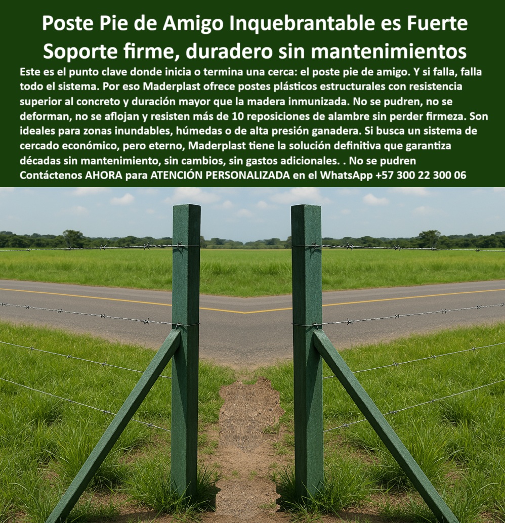 Cercados Con Postes Pie De Amigo Poste de Inicio Y Final Esquineros Portón Maderplast poste para potrero con presión bovina intensa, - poste-plástico-pie-de-amigo, - poste estructural sin mantenimiento para pie de amigo, - Pie de amigo plástico que no falla con tensión múltiple, - poste reciclable para líneas de tensión alta, - ¿Qué poste sirve para pie de amigo en potrero?, - poste para inicio de cerca rural sin fallas, - Poste de soporte firme al borde de carretera ganadera, - La imagen muestra un sistema de cercado con poste pie de amigo Maderplast instalado desde hace más de 30 años en el Centro Agropecuario Estevia, antes Corpoica, en el kilómetro 30 vía Villavicencio–Puerto López, antes del peaje. A pesar del paso del tiempo, la humedad de la región y la tensión constante de los alambres, el poste permanece intacto, sin pudrirse, sin aflojarse, ni deformarse. Fabricado en polímero estructural de alta ingeniería, el poste pie de amigo Maderplast es ideal para zonas ganaderas de alta exigencia, suelos blandos o inclinados, portones, esquinas y arranques de cerca. Resiste el paso de animales, la humedad, las lluvias y las presiones de tensión sin rajarse ni fallar. Su durabilidad supera los estándares del concreto y la madera inmunizada, sin oxidarse, sin liberar contaminantes y sin necesidad de pintura o repuestos. Es una solución definitiva que permite más de 10 reposiciones de alambre sin alterar su estructura. Maderplast ofrece productos que no requieren mantenimiento y garantizan cercados técnicos para toda la vida, transformando potreros comunes en cercas profesionales, eficientes y ecológicas., - Postes para cercas rurales rectas sobre suelo húmedo, - Poste estructurado sin rajar ni soltar por los años, - poste que no se agrieta ni deforma con calor, - Postes plásticos instalados frente al peaje vía Llanos, - poste-resistente-a-humedad, - poste duradero sin madera para esquina y portón, - poste para cortinas forestales duraderas y económicas, - Sistema de cerca firme sin oxido ni mantenimiento, - poste sin fractura para zonas con ganadería intensiva, - poste plástico resistente a tensión y humedad, - poste de inicio para cercado sin mantenimiento, - poste para portones rurales con soporte firme, - poste-para-alambre-de-alta-tensión, - poste plástico que no se afloja con tensión, - poste estructurado para alambrados de seguridad, - poste de inicio de cerca para potrero económico, - poste para cercas con paso de alambre múltiple, - poste-reemplazo-de-concreto, - poste-para-zonas-rurales-extremas, - poste que reemplaza concreto en potrero húmedo, - poste-pie-de-amigo-plastico-para-cercas-en-villavicencio.jpg, - ¿Qué poste puede reemplazar concreto sin fallas?, - Postes alineados con base firme para arranque de cerca, - poste para sostener cerca a lado de carretera, - poste con memoria plástica para tensión rural, - poste para zonas ganaderas con presión mecánica, - poste económico y estructural sin madera ni concreto, - poste estructural plástico para pie de amigo, - ¿Cuál es el mejor poste para tensión en cerca?, - poste duradero para empates de alambre fuerte, - poste plástico para zonas propensas a inundación, - poste-de-soporte-estructural, - Postes plásticos pie de amigo firmes y sin deformación, - ¿Dónde instalan postes duraderos para portones rurales?, - poste con estabilidad comprobada en fincas agrícolas, - ¿Qué poste no se pudre ni se parte al jalar?, - poste-para-potreros-inundables, - poste para zonas de inundación ganadera intensiva, - poste-para-inicio-de-cerca, - poste-sin-mantenimiento-duradero, - poste técnico plástico sin oxidación en zonas lluviosas, - poste de esquina sin rajaduras ni pudrición, - poste resistente a presión ganadera y humedad, - poste-para-esquinas-portones, - poste para cercas rurales con arranque preciso, - poste que mantiene rectitud con 10 reemplazos, - Cerca de alambre fuerte sobre potrero húmedo sin fallo, - Soporte plástico firme a prueba de agua y presión 0 cerca económica para potreros inundables, - postes económicos para cercas duraderas, - postes plásticos para sistemas de cortinas forestales poste Cercados Con Postes Pie De Amigo Poste de Inicio Y Final Esquineros Porton Maderplast 0 cerca económica para potreros inundables postes económicos para cercas duraderas postes plásticos para sistemas de cortinas forestales poste poste para potrero con presión bovina intensa, - poste-plástico-pie-de-amigo, - poste estructural sin mantenimiento para pie de amigo, - Pie de amigo plástico que no falla con tensión múltiple, - poste reciclable para líneas de tensión alta, - ¿Qué poste sirve para pie de amigo en potrero?, - poste para inicio de cerca rural sin fallas, - Poste de soporte firme al borde de carretera ganadera, - La imagen muestra un sistema de cercado con poste pie de amigo Maderplast instalado desde hace más de 30 años en el Centro Agropecuario Estevia, antes Corpoica, en el kilómetro 30 vía Villavicencio–Puerto López, antes del peaje. A pesar del paso del tiempo, la humedad de la región y la tensión constante de los alambres, el poste permanece intacto, sin pudrirse, sin aflojarse, ni deformarse. Fabricado en polímero estructural de alta ingeniería, el poste pie de amigo Maderplast es ideal para zonas ganaderas de alta exigencia, suelos blandos o inclinados, portones, esquinas y arranques de cerca. Resiste el paso de animales, la humedad, las lluvias y las presiones de tensión sin rajarse ni fallar. Su durabilidad supera los estándares del concreto y la madera inmunizada, sin oxidarse, sin liberar contaminantes y sin necesidad de pintura o repuestos. Es una solución definitiva que permite más de 10 reposiciones de alambre sin alterar su estructura. Maderplast ofrece productos que no requieren mantenimiento y garantizan cercados técnicos para toda la vida, transformando potreros comunes en cercas profesionales, eficientes y ecológicas., - Postes para cercas rurales rectas sobre suelo húmedo, - Poste estructurado sin rajar ni soltar por los años, - poste que no se agrieta ni deforma con calor, - Postes plásticos instalados frente al peaje vía Llanos, - poste-resistente-a-humedad, - poste duradero sin madera para esquina y portón, - poste para cortinas forestales duraderas y económicas, - Sistema de cerca firme sin oxido ni mantenimiento, - poste sin fractura para zonas con ganadería intensiva, - poste plástico resistente a tensión y humedad, - poste de inicio para cercado sin mantenimiento, - poste para portones rurales con soporte firme, - poste-para-alambre-de-alta-tensión, - poste plástico que no se afloja con tensión, - poste estructurado para alambrados de seguridad, - poste de inicio de cerca para potrero económico, - poste para cercas con paso de alambre múltiple, - poste-reemplazo-de-concreto, - poste-para-zonas-rurales-extremas, - poste que reemplaza concreto en potrero húmedo, - poste-pie-de-amigo-plastico-para-cercas-en-villavicencio.jpg, - ¿Qué poste puede reemplazar concreto sin fallas?, - Postes alineados con base firme para arranque de cerca, - poste para sostener cerca a lado de carretera, - poste con memoria plástica para tensión rural, - poste para zonas ganaderas con presión mecánica, - poste económico y estructural sin madera ni concreto, - poste estructural plástico para pie de amigo, - ¿Cuál es el mejor poste para tensión en cerca?, - poste duradero para empates de alambre fuerte, - poste plástico para zonas propensas a inundación, - poste-de-soporte-estructural, - Postes plásticos pie de amigo firmes y sin deformación, - ¿Dónde instalan postes duraderos para portones rurales?, - poste con estabilidad comprobada en fincas agrícolas, - ¿Qué poste no se pudre ni se parte al jalar?, - poste-para-potreros-inundables, - poste para zonas de inundación ganadera intensiva, - poste-para-inicio-de-cerca, - poste-sin-mantenimiento-duradero, - poste técnico plástico sin oxidación en zonas lluviosas, - poste de esquina sin rajaduras ni pudrición, - poste resistente a presión ganadera y humedad, - poste-para-esquinas-portones, - poste para cercas rurales con arranque preciso, - poste que mantiene rectitud con 10 reemplazos, - Cerca de alambre fuerte sobre potrero húmedo sin fallo, - Soporte plástico firme a prueba de agua y presión 0 Cercados Con Postes Pie De Amigo Poste de Inicio Y Final Esquineros Porton Maderplast 0 cerca económica para potreros inundables, - postes económicos para cercas duraderas, - postes plásticos para sistemas de cortinas forestales poste