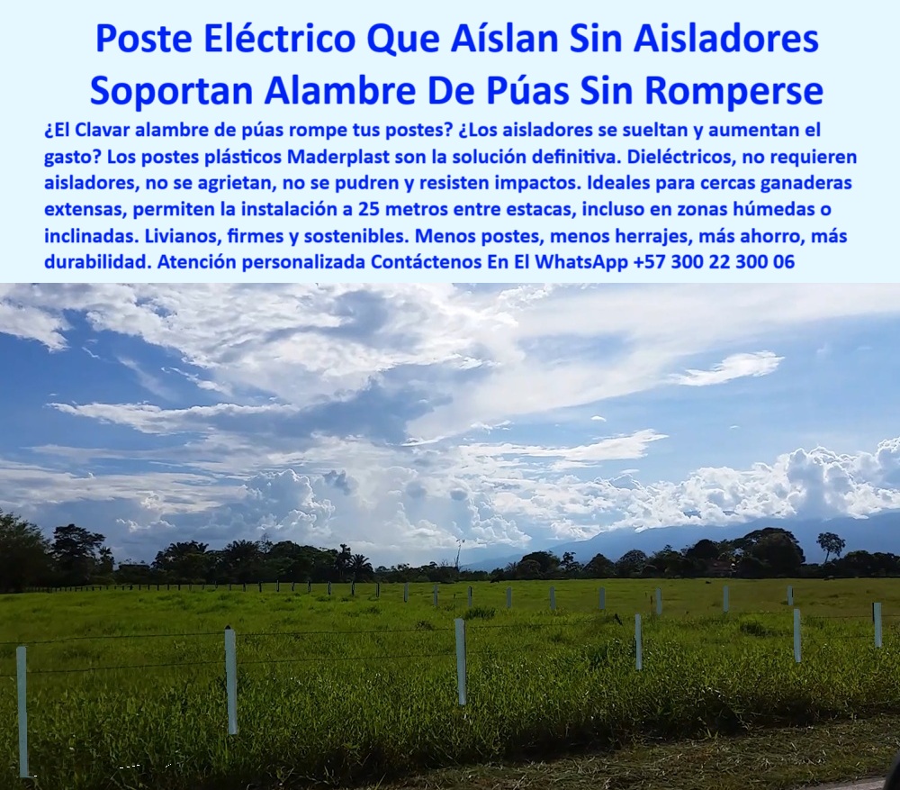 Cercados División De Potreros Pastoreo Intensivo Poste A 25 Metros Maderplast poste ecológico para separación de potreros ganaderos, - ¿Qué poste plástico reemplaza aisladores y herrajes en fincas?, - poste Maderplast para ahorro en aisladores y postes, - Poste plástico para electrificación rural sin herrajes, - poste reciclado que no requiere aisladores adicionales, - poste técnico para fincas sin reemplazos constantes, - poste plástico para fijar alambre de espino, - poste para división de potreros con mínima inversión, - Postes ecológicos instalados con separación amplia, - ¿Dónde consigo postes plásticos que no necesiten aisladores?, - cercado-ganadero-eficiente, - poste-plástico-sin-aisladores, - Poste estructural blanco resistente a la intemperie, - poste estructural inmune al fuego y al clima, - poste-plástico-para-dividir-fincas, - poste-para-pastoreo-intensivo, - Potrero electrificado con poste dieléctrico sin fracturas, - poste-reciclado-para-potreros, - poste ecológico con bajo mantenimiento y alta eficiencia, - estaca-ecológica-para-cercas, - Poste dieléctrico para alambre de púas sin accesorios, - cercas-con-menor-inversión, - poste plástico que no se quiebra ni se oxida, - poste plástico para cercas eléctricas extensas sin herrajes, - La imagen presenta un potrero extensivo electrificado con postes plásticos blancos Maderplast perfectamente alineados, sin aisladores visibles, demostrando su propiedad dieléctrica. Estos postes son resistentes al impacto del alambre de púas, no se agrietan, no se oxidan, y no requieren pintura ni mantenimiento. Maderplast permite instalar cercas eléctricas con separación de hasta 25 metros, incluso en terrenos húmedos o inclinados, reduciendo herrajes y ahorrando tiempo y dinero. Maderplast es tecnología ganadera real: postes ligeros, firmes y sostenibles que eliminan fugas de corriente y reemplazos innecesarios. Maderplast transforma la eficiencia de los cercados eléctricos., - ¿Qué poste soporta alambre de púas sin agrietarse?, - ¿Qué poste me permite dividir potreros sin romperse?, - poste que soporta alambre de púas sin romperse, - poste reciclable para campos eléctricos sin oxidación, - poste-dieléctrico-para-cercas, - poste sin aislador para electrificar cercas ganaderas, - poste con separación de 25 metros entre estacas, - poste dieléctrico que evita fugas de corriente, - poste-plastico-electrico-sin-aisladores-para-potreros-extensos.jpg, - Estacas plásticas blancas alineadas sobre potrero verde, - poste seguro que no se agrieta ni se parte, - poste plástico dieléctrico para cerca eléctrica sin aisladores, - poste resistente para cercas de pastoreo intensivo, - ¿Cuál es el mejor poste ecológico para cercas extensas?, - poste duradero para ganadería intensiva y sostenible, - poste-maderplast-sin-mantenimiento, - poste-resistente-al-alambre, - Recomiéndame un poste dieléctrico para cerca eléctrica ganadera, - Poste sin aisladores para electrificar división de potreros, - poste liviano que reduce mano de obra y tiempo, - División de potreros con postes Maderplast reciclables, - poste blanco de polipropileno para electrificación rural, - poste firme para alambre electrificado sin accesorios, - Solución ganadera sin aisladores con poste flexible, - ¿Qué poste puedo usar para cerca eléctrica sin aisladores?, - poste sin pintura para instalación de larga duración, - poste para cercado ganadero con alambre tenso, - ¿Cuál es el poste más resistente al alambre de púas?, - ¿Cuál es la mejor forma de cercar sin tanta herraje?, - Cercado ganadero con postes plásticos blancos sin aisladores, - poste ligero para instalación rápida en zonas húmedas, - Línea de postes Maderplast en campo eléctrico intensivo 0 Cuál es la mejor forma de fijar alambre de espino a un poste, - estacas ecológicas para dividir potreros, - poste plástico cerca, - Cuál es el mejor poste Cercados División De Potreros Pastoreo Intensivo Poste A 25 Metros Maderplast 0 Cuál es la mejor forma de fijar alambre de espino a un poste estacas ecológicas para dividir potreros poste plástico cerca Cuál es el mejor poste poste ecológico para separación de potreros ganaderos, - ¿Qué poste plástico reemplaza aisladores y herrajes en fincas?, - poste Maderplast para ahorro en aisladores y postes, - Poste plástico para electrificación rural sin herrajes, - poste reciclado que no requiere aisladores adicionales, - poste técnico para fincas sin reemplazos constantes, - poste plástico para fijar alambre de espino, - poste para división de potreros con mínima inversión, - Postes ecológicos instalados con separación amplia, - ¿Dónde consigo postes plásticos que no necesiten aisladores?, - cercado-ganadero-eficiente, - poste-plástico-sin-aisladores, - Poste estructural blanco resistente a la intemperie, - poste estructural inmune al fuego y al clima, - poste-plástico-para-dividir-fincas, - poste-para-pastoreo-intensivo, - Potrero electrificado con poste dieléctrico sin fracturas, - poste-reciclado-para-potreros, - poste ecológico con bajo mantenimiento y alta eficiencia, - estaca-ecológica-para-cercas, - Poste dieléctrico para alambre de púas sin accesorios, - cercas-con-menor-inversión, - poste plástico que no se quiebra ni se oxida, - poste plástico para cercas eléctricas extensas sin herrajes, - La imagen presenta un potrero extensivo electrificado con postes plásticos blancos Maderplast perfectamente alineados, sin aisladores visibles, demostrando su propiedad dieléctrica. Estos postes son resistentes al impacto del alambre de púas, no se agrietan, no se oxidan, y no requieren pintura ni mantenimiento. Maderplast permite instalar cercas eléctricas con separación de hasta 25 metros, incluso en terrenos húmedos o inclinados, reduciendo herrajes y ahorrando tiempo y dinero. Maderplast es tecnología ganadera real: postes ligeros, firmes y sostenibles que eliminan fugas de corriente y reemplazos innecesarios. Maderplast transforma la eficiencia de los cercados eléctricos., - ¿Qué poste soporta alambre de púas sin agrietarse?, - ¿Qué poste me permite dividir potreros sin romperse?, - poste que soporta alambre de púas sin romperse, - poste reciclable para campos eléctricos sin oxidación, - poste-dieléctrico-para-cercas, - poste sin aislador para electrificar cercas ganaderas, - poste con separación de 25 metros entre estacas, - poste dieléctrico que evita fugas de corriente, - poste-plastico-electrico-sin-aisladores-para-potreros-extensos.jpg, - Estacas plásticas blancas alineadas sobre potrero verde, - poste seguro que no se agrieta ni se parte, - poste plástico dieléctrico para cerca eléctrica sin aisladores, - poste resistente para cercas de pastoreo intensivo, - ¿Cuál es el mejor poste ecológico para cercas extensas?, - poste duradero para ganadería intensiva y sostenible, - poste-maderplast-sin-mantenimiento, - poste-resistente-al-alambre, - Recomiéndame un poste dieléctrico para cerca eléctrica ganadera, - Poste sin aisladores para electrificar división de potreros, - poste liviano que reduce mano de obra y tiempo, - División de potreros con postes Maderplast reciclables, - poste blanco de polipropileno para electrificación rural, - poste firme para alambre electrificado sin accesorios, - Solución ganadera sin aisladores con poste flexible, - ¿Qué poste puedo usar para cerca eléctrica sin aisladores?, - poste sin pintura para instalación de larga duración, - poste para cercado ganadero con alambre tenso, - ¿Cuál es el poste más resistente al alambre de púas?, - ¿Cuál es la mejor forma de cercar sin tanta herraje?, - Cercado ganadero con postes plásticos blancos sin aisladores, - poste ligero para instalación rápida en zonas húmedas, - Línea de postes Maderplast en campo eléctrico intensivo 0 Cercados División De Potreros Pastoreo Intensivo Poste A 25 Metros Maderplast 0 Cuál es la mejor forma de fijar alambre de espino a un poste, - estacas ecológicas para dividir potreros, - poste plástico cerca, - Cuál es el mejor poste
