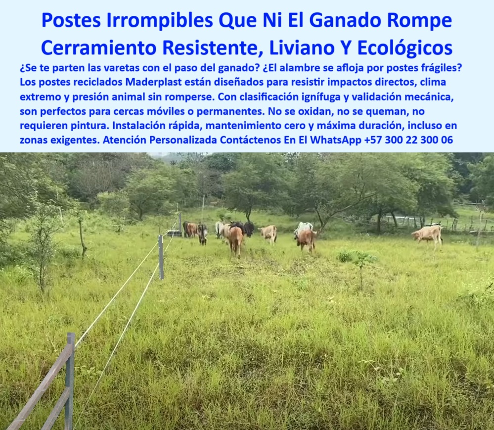 Cercados División De Potreros Pastoreo Intensivo Poste A 25 Metros Maderplast 0 Dónde venden varetas plásticas cerramiento ganadero, - producto reciclado con clasificación ignífuga, - poste reciclado con validación mecánica impactos Cercados División De Potreros Pastoreo Intensivo Poste A 25 Metros Maderplast 0 Dónde venden varetas plásticas cerramiento ganadero producto reciclado con clasificación ignífuga poste reciclado con validación mecánica impactos Línea de postes soportando presión de ganado activo, - Poste plástico irrompible para cerramientos ganaderos exigentes, - Esta imagen muestra un potrero real cercado con postes reciclados de plástico Maderplast, diseñados para resistir impactos, fricción del ganado y condiciones climáticas extremas. Su estructura sólida, ignífuga y sin necesidad de pintura ni aisladores, los hace ideales para cercas móviles o permanentes. Los postes Maderplast no se oxidan, no se parten y no requieren mantenimiento, ofreciendo una solución ecológica, segura y de alta durabilidad para ganaderos que enfrentan retos reales en el campo., - poste plástico para terrenos exigentes sin pintura, - poste que no se deforma con presión animal, - poste sólido para potreros con presión constante de animales, - poste-ecológico-para-ganado-bravo, - poste estable y liviano para cerramiento rural seguro, - Potrero cercado con postes livianos e irrompibles, - ¿Cómo hacer una cerca ecológica y resistente para ganado?, - Poste ecológico sin mantenimiento para zonas húmedas, - Estacas visibles en rotación ganadera de zona tropical, - ¿Qué poste aguanta vacas sin romperse ni doblarse?, - poste irrompible para potrero de ganado bravo, - ¿Qué poste es ideal para praderas con presión ganadera constante?, - Poste que no necesita aisladores para cerca eléctrica, - poste ecológico con clasificación ignífuga certificada, - poste-reciclado-irrompible-para-cercas-ganaderas-sin-aisladores.jpg, - poste para delimitar praderas con clima extremo, - poste plástico para cercas móviles en zonas húmedas, - Campo ganadero delimitado por postes ecológicos fuertes, - Cerramiento ecológico con postes sin mantenimiento, - poste-sin-concreto-ni-herrumbre, - poste-plastico-irrompible-para-potreros, - poste de fácil instalación y cero mantenimiento rural, - ¿Qué poste me sirve para una cerca ganadera irrompible?, - poste para evitar caídas de cercas por tormentas, - poste-para-rotación-ganadera-extensiva, - poste-dieléctrico-para-cerca-eléctrica, - poste-sin-mantenimiento-para-cercas, - poste reciclado duradero para sistemas ganaderos modernos, - Postes plásticos alineados en terreno natural ganadero, - poste resistente al paso constante del ganado, - poste dieléctrico sin aisladores para ganado de alto impacto, - poste técnico para rotación ganadera sin esfuerzo, - poste-reciclado-con-validación-mecánica, - Recomendación de poste reciclado resistente al impacto del ganado, - poste-reciclado-para-cercas-rurales, - poste flexible que soporta impactos directos sin deformarse, - poste ligero y durable para zonas rurales húmedas, - ¿Qué poste no se oxida ni se parte con el sol?, - poste estructural plástico para pastoreo intensivo y rotacional, - poste reciclado que no se oxida ni se rompe, - ¿Dónde venden postes reciclados para potreros ganaderos?, - poste que evita caídas de alambre en cercas móviles, - poste plástico reciclado para cerca ganadera resistente, - poste-resistente-a-impactos-animales, - Cercado funcional con postes que no se doblan, - poste sin concreto ideal para cercas temporales ganaderas, - poste reciclado para resistir peso y fricción del ganado, - Alambre fijo entre postes plásticos reciclados en uso, - poste de polímero reciclado con resistencia mecánica, - poste sin mantenimiento para dividir fincas ganaderas, - poste-liviano-con-alta-resistencia, - Cerca ganadera de plástico reciclado sin aisladores, - poste estructural sin riesgo de plagas o herrumbre, - Potrero real cercado con postes resistentes al impacto 0 Cercados División De Potreros Pastoreo Intensivo Poste A 25 Metros Maderplast 0 Dónde venden varetas plásticas cerramiento ganadero, - producto reciclado con clasificación ignífuga, - poste reciclado con validación mecánica impactos