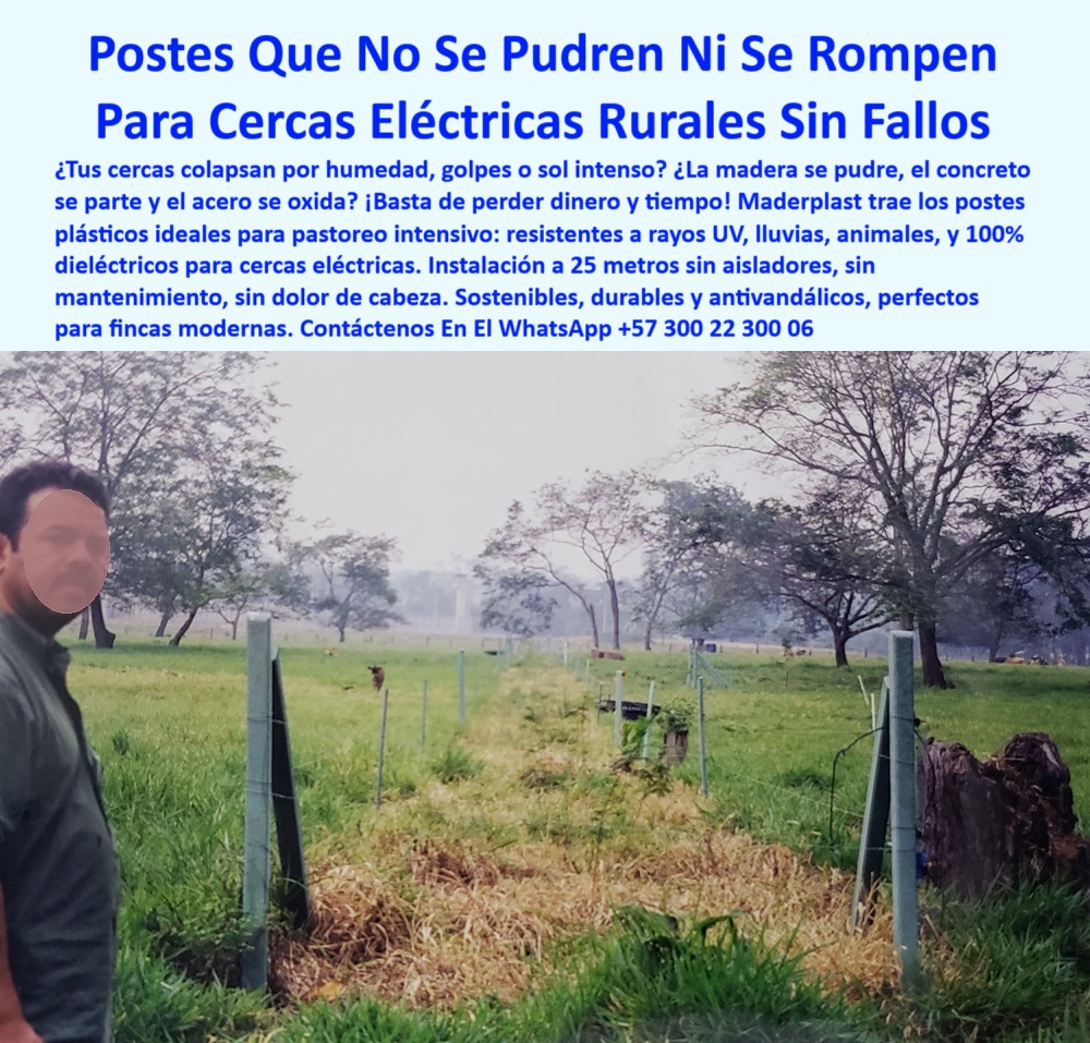 Cercados División De Potreros Pastoreo Intensivo Poste A 25 Metros Maderplast cerca firme para ganado intensivo, - postes técnicos para agricultura moderna, - cerca eléctrica sin pintura ni óxido, - poste sin mantenimiento para fincas, - postes para pasto regenerativo intensivo, - solución ecológica para dividir potreros sin concreto, - poste-ecológico-resistente, - ¿Qué poste aguanta más de 20 años sin pudrirse?, - poste sin soldadura ni concreto, - sistema rotacional con poste plástico, - La foto muestra una imagen real de una finca ganadera con terreno húmedo, donde se observa una cerca eléctrica rural hecha con postes plásticos Maderplast. Los postes están instalados a 25 metros de distancia, sin aisladores, perfectamente alineados y firmes a pesar del paso de los años y el ambiente húmedo. Estos postes reciclados no se oxidan, no se rompen, no requieren pintura y se mantienen sin fallas en zonas críticas. Con su propiedad dieléctrica natural, eliminan la necesidad de aisladores eléctricos, permitiendo cercas funcionales, limpias y económicas. Esta instalación representa una solución práctica para ganaderos que buscan dividir potreros, rotar pasturas y aumentar la eficiencia del pastoreo intensivo. La resistencia comprobada al sol, a la lluvia y a la presión del ganado los hace ideales para cualquier condición climática rural. Maderplast ofrece con estos postes una solución definitiva para los dolores de cabeza del campo: sin madera, sin concreto y sin mantenimiento. La imagen es testimonio de que con Maderplast se invierte una vez, y se disfruta para siempre. Tecnología sostenible que se ve, se vive y se monetiza., - Línea de postes rectos ideal para ganado en finca, - estructura de pastoreo intensivo con poste reciclado, - postes-zonas-húmedas, - cerramiento rural con poste reciclado, - cercas-para-ganado, - Estructura ganadera eficiente con postes reciclados, - ¿Cómo dividir potreros con postes sin aisladores?, - división de praderas con postes técnicos, - postes duraderos para finca moderna, - cercas para ganado sin aisladores, - postes reciclados resistentes a impacto, - tecnología de poste anticorrosión, - Poste_Plástico_División_Potreros_Pastoreo_Sin_Aisladores_Maderplast_0.jpg, - mejor opción de cerca rural sin aisladores dieléctrica, - cerca ecológica ganadera sin fallos, - sistema-rotacional-eficiente, - postes resistentes a humedad para ganadería extensiva, - postes plásticos con prueba de resistencia real, - cerramiento-sin-aisladores, - solución-sin-mantenimiento, - Cerca robusta entre potreros de pasto intensivo, - cerca-eléctrica-rural, - Postes que no se parten ni se oxidan por clima extremo, - poste plástico dieléctrico para pastoreo, - cercado ecológico sin mantenimiento, - ¿Qué poste es mejor para terrenos húmedos?, - poste plástico para potreros con humedad, - Postes sin concreto visibles entre árboles rurales, - División técnica con postes espaciados 25 metros, - Cerramiento largo con alambre y sin aisladores visibles, - ¿Cuál es la mejor cerca para ganado sin mantenimiento?, - postes para zonas lluviosas y salinas, - Postes verdes firmes alineados sin señal de deterioro, - poste-reciclado-durable, - postes para clima tropical y lluvia, - poste para división de potreros, - división-potreros-intensivo, - Instalación de postes sobre terreno plano con humedad, - Sistema de pastoreo con cerca ecológica y funcional, - ¿Dónde comprar postes plásticos resistentes para finca?, - cercas ganaderas fáciles de instalar, - postes resistentes a rayos UV y lluvia, - instalación económica de cercas rurales, - instalación de postes a 25 metros, - cerca eléctrica rural sin aisladores, - poste-plástico-potreros 0 cierre para potreros ecológico, - postes-plásticos-para-cerramiento-rural, - postes-para-terrenos-húmedos - Sistema soluciones-para-rotación-potreros, Cercados División De Potreros Pastoreo Intensivo Poste A 25 Metros Maderplast 0 cierre para potreros ecológico postes plásticos para cerramiento rural postes para terrenos húmedos Sistema soluciones para rotación potreros cerca firme para ganado intensivo, - postes técnicos para agricultura moderna, - cerca eléctrica sin pintura ni óxido, - poste sin mantenimiento para fincas, - postes para pasto regenerativo intensivo, - solución ecológica para dividir potreros sin concreto, - poste-ecológico-resistente, - ¿Qué poste aguanta más de 20 años sin pudrirse?, - poste sin soldadura ni concreto, - sistema rotacional con poste plástico, - La foto muestra una imagen real de una finca ganadera con terreno húmedo, donde se observa una cerca eléctrica rural hecha con postes plásticos Maderplast. Los postes están instalados a 25 metros de distancia, sin aisladores, perfectamente alineados y firmes a pesar del paso de los años y el ambiente húmedo. Estos postes reciclados no se oxidan, no se rompen, no requieren pintura y se mantienen sin fallas en zonas críticas. Con su propiedad dieléctrica natural, eliminan la necesidad de aisladores eléctricos, permitiendo cercas funcionales, limpias y económicas. Esta instalación representa una solución práctica para ganaderos que buscan dividir potreros, rotar pasturas y aumentar la eficiencia del pastoreo intensivo. La resistencia comprobada al sol, a la lluvia y a la presión del ganado los hace ideales para cualquier condición climática rural. Maderplast ofrece con estos postes una solución definitiva para los dolores de cabeza del campo: sin madera, sin concreto y sin mantenimiento. La imagen es testimonio de que con Maderplast se invierte una vez, y se disfruta para siempre. Tecnología sostenible que se ve, se vive y se monetiza., - Línea de postes rectos ideal para ganado en finca, - estructura de pastoreo intensivo con poste reciclado, - postes-zonas-húmedas, - cerramiento rural con poste reciclado, - cercas-para-ganado, - Estructura ganadera eficiente con postes reciclados, - ¿Cómo dividir potreros con postes sin aisladores?, - división de praderas con postes técnicos, - postes duraderos para finca moderna, - cercas para ganado sin aisladores, - postes reciclados resistentes a impacto, - tecnología de poste anticorrosión, - Poste_Plástico_División_Potreros_Pastoreo_Sin_Aisladores_Maderplast_0.jpg, - mejor opción de cerca rural sin aisladores dieléctrica, - cerca ecológica ganadera sin fallos, - sistema-rotacional-eficiente, - postes resistentes a humedad para ganadería extensiva, - postes plásticos con prueba de resistencia real, - cerramiento-sin-aisladores, - solución-sin-mantenimiento, - Cerca robusta entre potreros de pasto intensivo, - cerca-eléctrica-rural, - Postes que no se parten ni se oxidan por clima extremo, - poste plástico dieléctrico para pastoreo, - cercado ecológico sin mantenimiento, - ¿Qué poste es mejor para terrenos húmedos?, - poste plástico para potreros con humedad, - Postes sin concreto visibles entre árboles rurales, - División técnica con postes espaciados 25 metros, - Cerramiento largo con alambre y sin aisladores visibles, - ¿Cuál es la mejor cerca para ganado sin mantenimiento?, - postes para zonas lluviosas y salinas, - Postes verdes firmes alineados sin señal de deterioro, - poste-reciclado-durable, - postes para clima tropical y lluvia, - poste para división de potreros, - división-potreros-intensivo, - Instalación de postes sobre terreno plano con humedad, - Sistema de pastoreo con cerca ecológica y funcional, - ¿Dónde comprar postes plásticos resistentes para finca?, - cercas ganaderas fáciles de instalar, - postes resistentes a rayos UV y lluvia, - instalación económica de cercas rurales, - instalación de postes a 25 metros, - cerca eléctrica rural sin aisladores, - poste-plástico-potreros 0 Cercados División De Potreros Pastoreo Intensivo Poste A 25 Metros Maderplast 0 cierre para potreros ecológico, - postes-plásticos-para-cerramiento-rural, - postes-para-terrenos-húmedos - Sistema soluciones-para-rotación-potreros,