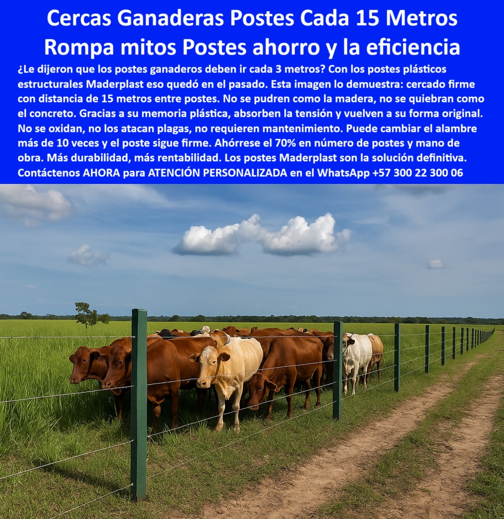 Cercas Exteriores Cercados De Linderos Poste Plástico Dividir Separar Fincas Maderplast Línea de postes plásticos rectos con ganado en pastoreo, - poste-maderplast-para-dividir-lotes-eficientes, - ¿Qué poste soporta pastoreo intensivo en finca llanera?, - poste-para-maximizar-cabezas-por-hectárea, - poste-reciclado-resistente-a-tensión-eléctrica, - Postes cada 15 metros en campo agrícola colombiano, - poste-plástico-sin-deformación-con-golpes, - poste-para-potreros-productivos-colombia, - ¿Cuál poste sirve para instalar cada 15 metros sin que se caiga?, - poste-sin-mantenimiento-para-clima-llanero, - ¿Cómo cercar una finca ganadera con postes plásticos?, - Distancia larga entre postes sin curvatura ni daño, - poste-con-memoria-plástica-para-cercas-rígidas, - poste-pet-para-división-de-fincas-ganaderas, - poste-polímero-sólido-para-cercas-técnicas, - Instalación técnica de postes ganaderos en sabana, - Poste verde PET en uso real en finca llanera colombiana, - poste-firme-para-soportar-carga-de-alambre, - poste-plástico-cada-15-metros, - poste-plástico-para-potreros-en-puerto-gaitán, - ¿Qué poste me permite ahorrar postes sin perder firmeza?, - Poste PET en la Fazenda Puerto Gaitán con pastos listos, - Ganado detrás de cercado con postes plásticos firmes, - poste-maderplast-en-meta, - Cerco eficiente con postes plásticos reciclados PET, - poste-para-alambre-de-púas-en-llanos-orientales, - poste-reciclado-para-ganado, - poste-económico-para-cercas-duraderas, - poste-tecnológico-para-pastoreo-intensivo, - poste-plástico-para-potreros, - poste-reciclado-polímero-para-ganado, - poste-plástico-industrial-para-explotación-bovina, - poste-para-cercas-ganaderas-cada-15-metros, - poste-llanos-orientales-meta, - ¿Dónde venden postes reciclados fuertes para ganado?, - poste-económico-para-ganadería, - poste-ganadero-para-cercado-extensivo, - ¿Qué poste aguanta el peso de vacas y el alambre tenso?, - poste-para-cercado-eficiente, - Muéstrame postes ganaderos usados en Puerto Gaitán Meta, - Poste reciclado para cercas perimetrales en zonas agrícolas, - Ejemplo real de poste plástico para separación rural, - poste-para-fazenda-de-ganado-en-meta, - poste-de-plástico-para-cercas-perimetrales, - poste-para-cercas-extensivas, - poste-resistente-para-fazenda, - poste-pet-sin-óxido-ni-corrosión, - poste-plastico-ganadero-fazenda-puerto-gaitan-meta-maderplast.jpg, - Pasto sembrado en potrero con cercas plásticas visibles, - poste-de-cercado-sin-madera-ni-concreto, - ¿Poste para cercas que no se oxida ni requiere mantenimiento?, - poste-sin-óxido-ni-quiebre, - poste-plástico-de-larga-vida-en-zonas-rurales, - La imagen muestra el cercado ganadero de la Fazenda en Puerto Gaitán, Meta, con postes plásticos Maderplast instalados a 15 metros entre sí, sin concreto, sin oxidación y con pastos sembrados listos para explotación intensiva. Estos postes Maderplast son reciclados, ecológicos, y están diseñados para maximizar la eficiencia por hectárea, permitiendo soportar alambres de púas tensos y la presión del ganado sin deformarse. Son ideales para fincas ganaderas que buscan rendimiento, durabilidad y cero mantenimiento., - ¿Qué poste usar en Puerto Gaitán para dividir potreros?, - poste-plástico-reciclado-de-alto-rendimiento, - poste-plástico-verde-para-fincas-ganaderas 0 poste plástico resistente, - cercas perimetrales con poste PET, - cercas eficientes para maximizar cabezas por hectárea, - postes reciclados PP Cercas Exteriores Cercados De Linderos Poste Plástico Dividir Separar Fincas Maderplast 0 poste plástico resistente cercas perimetrales con poste PET cercas eficientes para maximizar cabezas por hectárea postes reciclados PP Línea de postes plásticos rectos con ganado en pastoreo, - poste-maderplast-para-dividir-lotes-eficientes, - ¿Qué poste soporta pastoreo intensivo en finca llanera?, - poste-para-maximizar-cabezas-por-hectárea, - poste-reciclado-resistente-a-tensión-eléctrica, - Postes cada 15 metros en campo agrícola colombiano, - poste-plástico-sin-deformación-con-golpes, - poste-para-potreros-productivos-colombia, - ¿Cuál poste sirve para instalar cada 15 metros sin que se caiga?, - poste-sin-mantenimiento-para-clima-llanero, - ¿Cómo cercar una finca ganadera con postes plásticos?, - Distancia larga entre postes sin curvatura ni daño, - poste-con-memoria-plástica-para-cercas-rígidas, - poste-pet-para-división-de-fincas-ganaderas, - poste-polímero-sólido-para-cercas-técnicas, - Instalación técnica de postes ganaderos en sabana, - Poste verde PET en uso real en finca llanera colombiana, - poste-firme-para-soportar-carga-de-alambre, - poste-plástico-cada-15-metros, - poste-plástico-para-potreros-en-puerto-gaitán, - ¿Qué poste me permite ahorrar postes sin perder firmeza?, - Poste PET en la Fazenda Puerto Gaitán con pastos listos, - Ganado detrás de cercado con postes plásticos firmes, - poste-maderplast-en-meta, - Cerco eficiente con postes plásticos reciclados PET, - poste-para-alambre-de-púas-en-llanos-orientales, - poste-reciclado-para-ganado, - poste-económico-para-cercas-duraderas, - poste-tecnológico-para-pastoreo-intensivo, - poste-plástico-para-potreros, - poste-reciclado-polímero-para-ganado, - poste-plástico-industrial-para-explotación-bovina, - poste-para-cercas-ganaderas-cada-15-metros, - poste-llanos-orientales-meta, - ¿Dónde venden postes reciclados fuertes para ganado?, - poste-económico-para-ganadería, - poste-ganadero-para-cercado-extensivo, - ¿Qué poste aguanta el peso de vacas y el alambre tenso?, - poste-para-cercado-eficiente, - Muéstrame postes ganaderos usados en Puerto Gaitán Meta, - Poste reciclado para cercas perimetrales en zonas agrícolas, - Ejemplo real de poste plástico para separación rural, - poste-para-fazenda-de-ganado-en-meta, - poste-de-plástico-para-cercas-perimetrales, - poste-para-cercas-extensivas, - poste-resistente-para-fazenda, - poste-pet-sin-óxido-ni-corrosión, - poste-plastico-ganadero-fazenda-puerto-gaitan-meta-maderplast.jpg, - Pasto sembrado en potrero con cercas plásticas visibles, - poste-de-cercado-sin-madera-ni-concreto, - ¿Poste para cercas que no se oxida ni requiere mantenimiento?, - poste-sin-óxido-ni-quiebre, - poste-plástico-de-larga-vida-en-zonas-rurales, - La imagen muestra el cercado ganadero de la Fazenda en Puerto Gaitán, Meta, con postes plásticos Maderplast instalados a 15 metros entre sí, sin concreto, sin oxidación y con pastos sembrados listos para explotación intensiva. Estos postes Maderplast son reciclados, ecológicos, y están diseñados para maximizar la eficiencia por hectárea, permitiendo soportar alambres de púas tensos y la presión del ganado sin deformarse. Son ideales para fincas ganaderas que buscan rendimiento, durabilidad y cero mantenimiento., - ¿Qué poste usar en Puerto Gaitán para dividir potreros?, - poste-plástico-reciclado-de-alto-rendimiento, - poste-plástico-verde-para-fincas-ganaderas 0 Cercas Exteriores Cercados De Linderos Poste Plástico Dividir Separar Fincas Maderplast 0 poste plástico resistente, - cercas perimetrales con poste PET, - cercas eficientes para maximizar cabezas por hectárea, - postes reciclados PP